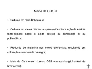Meios de Cultura
• Culturas em meio Sabouraud;
• Culturas em meios diferenciais para evidenciar a ação da enzima
fenol-oxidase sobre o ácido caféico ou compostos di ou
polifenólicos;
• Produção de melanina nos meios diferencias, resultando em
coloração amarronzada ou negra;
• Meio de Christensen (Uréia), CGB (canavanina-glicina-azul de
bromotimol).
 