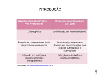 INTRODUÇÃO
Disponível em: http://crescendoemcultura.blogspot.com.br
 