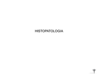 HISTOPATOLOGIA
 