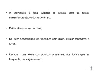 • A prevenção é feita evitando o contato com as fontes
transmissoras/portadoras do fungo;
• Evitar alimentar os pombos;
• Se tiver necessidade de trabalhar com aves, utilizar máscaras e
luvas;
• Lavagem das fezes dos pombos presentes, nos locais que se
frequenta, com água e cloro.
 