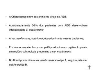 • A Criptococose é um dos primeiros sinais da AIDS;
• Aproximadamente 5-6% dos pacientes com AIDS desenvolvem
infecção pode C. neoformans;
• A var. neoformans, sorotipo A, é predominante nesses pacientes;
• Em imunocompetentes, a var. gattii predomina em regiões tropicais,
em regiões subtropicais predomina a var. neoformans;
• No Brasil predomina a var. neoformans sorotipo A, seguido pela var.
gattii sorotipo B.
 