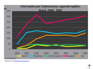 Disponível em: http://www.visa.goias.gov.br
 