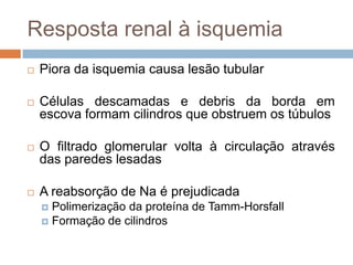 Resposta renal à isquemia
   Piora da isquemia causa lesão tubular

   Células descamadas e debris da borda em
    escova formam cilindros que obstruem os túbulos

   O filtrado glomerular volta à circulação através
    das paredes lesadas

   A reabsorção de Na é prejudicada
     Polimerização da proteína de Tamm-Horsfall
     Formação de cilindros
 