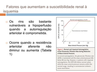 Fatores que aumentam a suscetibilidade renal à
isquemia

    Os     rins    são  bastante
     vulneráveis a hipoperfusão
     quando a autorregulação
     arteriolar é comprometida.

    Ocorre quando a resistência
     arteriolar  aferente   não
     diminui ou aumenta (Tabela
     1)
 
