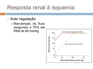 Resposta renal à isquemia
   Auto regulação
       Manutenção do fluxo
        sanguíneo e TFG até
        PAM de 80 mmHg
 