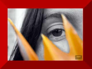 A Lei de Responsabilidade Fiscal será aos poucos desmoralizada por medidas atenuantes. Os gastos públicos aumentarão pois, como afirmam, 'as despesas de custeio não diminuirão para não prejudicar o funcionamento da máquina pública'. Nossa maior doença - o Estado canceroso - será ignorada. 