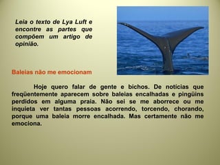 Baleias não me emocionam
Hoje quero falar de gente e bichos. De notícias que
freqüentemente aparecem sobre baleias encalhadas e pingüins
perdidos em alguma praia. Não sei se me aborrece ou me
inquieta ver tantas pessoas acorrendo, torcendo, chorando,
porque uma baleia morre encalhada. Mas certamente não me
emociona.
Leia o texto de Lya Luft e
encontre as partes que
compõem um artigo de
opinião.
 