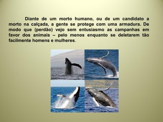 Diante de um morto humano, ou de um candidato a
morto na calçada, a gente se protege com uma armadura. De
modo que (perdão) vejo sem entusiasmo as campanhas em
favor dos animais – pelo menos enquanto se deletarem tão
facilmente homens e mulheres.
 