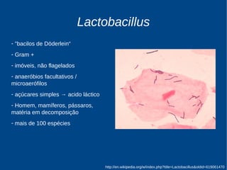 Lactobacillus 
- "bacilos de Döderlein“ 
- Gram + 
- imóveis, não flagelados 
- anaeróbios facultativos / 
microaerófilos 
- açúcares simples → acido láctico 
- Homem, mamíferos, pássaros, 
matéria em decomposição 
- mais de 100 espécies 
http://en.wikipedia.org/w/index.php?title=Lactobacillus&oldid=619061470 
 