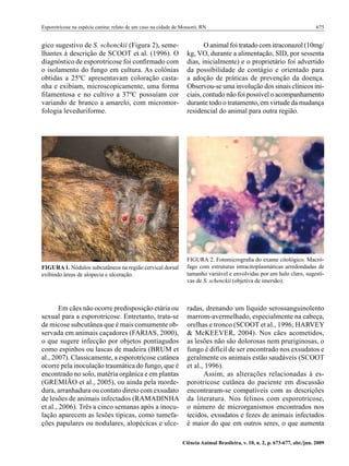 Esporotricose na espécie canina: relato de um caso na cidade de Mossoró, RN 	                                                 675


gico sugestivo de S. schenckii (Figura 2), seme-                         O animal foi tratado com itraconazol (10mg/
lhantes à descrição de SCOOT et al. (1996). O                     kg, VO, durante a alimentação, SID, por sessenta
diagnóstico de esporotricose foi confirmado com                   dias, inicialmente) e o proprietário foi advertido
o isolamento do fungo em cultura. As colônias                     da possibilidade de contágio e orientado para
obtidas a 25ºC apresentavam coloração casta-                      a adoção de práticas de prevenção da doença.
nha e exibiam, microscopicamente, uma forma                       Observou-se uma involução dos sinais clínicos ini-
filamentosa e no cultivo a 37ºC possuíam cor                      ciais, contudo não foi possível o acompanhamento
variando de branco a amarelo, com micromor-                       durante todo o tratamento, em virtude da mudança
fologia leveduriforme.                                            residencial do animal para outra região.




                                                                  FIGURA 2. Fotomicrografia do exame citológico. Macró-
FIGURA 1. Nódulos subcutâneos na região cervical dorsal           fago com estruturas intracitoplasmáticas arredondadas de
exibindo áreas de alopecia e ulceração.                           tamanho variável e envolvidas por um halo claro, sugesti-
                                                                  vas de S. schenckii (objetiva de imersão).



        Em cães não ocorre predisposição etária ou                radas, drenando um líquido serossanguinolento
sexual para a esporotricose. Entretanto, trata-se                 marrom-avermelhado, especialmente na cabeça,
de micose subcutânea que é mais comumente ob-                     orelhas e tronco (SCOOT et al., 1996; HARVEY
servada em animais caçadores (FARIAS, 2000),                      & McKEEVER, 2004). Nos cães acometidos,
o que sugere infecção por objetos pontiagudos                     as lesões não são dolorosas nem pruriginosas, o
como espinhos ou lascas de madeira (BRUM et                       fungo é difícil de ser encontrado nos exsudatos e
al., 2007). Classicamente, a esporotricose cutânea                geralmente os animais estão saudáveis (SCOOT
ocorre pela inoculação traumática do fungo, que é                 et al., 1996).
encontrado no solo, matéria orgânica e em plantas                        Assim, as alterações relacionadas à es-
(GREMIÃO et al., 2005), ou ainda pela morde-                      porotricose cutânea do paciente em discussão
dura, arranhadura ou contato direto com exsudato                  encontraram-se compatíveis com as descrições
de lesões de animais infectados (RAMADINHA                        da literatura. Nos felinos com esporotricose,
et al., 2006). Três a cinco semanas após a inocu-                 o número de microrganismos encontrados nos
lação aparecem as lesões típicas, como tumefa-                    tecidos, exsudatos e fezes de animais infectados
ções papulares ou nodulares, alopécicas e ulce-                   é maior do que em outros seres, o que aumenta

                                                                Ciência Animal Brasileira, v. 10, n. 2, p. 673-677, abr./jun. 2009
 