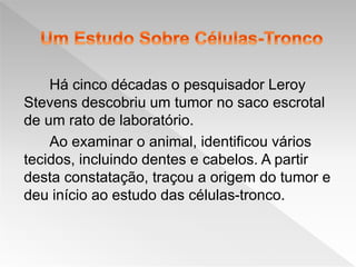 Há cinco décadas o pesquisador Leroy
Stevens descobriu um tumor no saco escrotal
de um rato de laboratório.
Ao examinar o animal, identificou vários
tecidos, incluindo dentes e cabelos. A partir
desta constatação, traçou a origem do tumor e
deu início ao estudo das células-tronco.
 