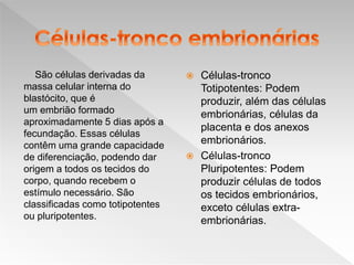 São células derivadas da
massa celular interna do
blastócito, que é
um embrião formado
aproximadamente 5 dias após a
fecundação. Essas células
contêm uma grande capacidade
de diferenciação, podendo dar
origem a todos os tecidos do
corpo, quando recebem o
estímulo necessário. São
classificadas como totipotentes
ou pluripotentes.
 Células-tronco
Totipotentes: Podem
produzir, além das células
embrionárias, células da
placenta e dos anexos
embrionários.
 Células-tronco
Pluripotentes: Podem
produzir células de todos
os tecidos embrionários,
exceto células extra-
embrionárias.
 