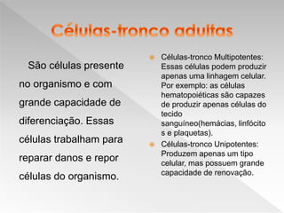 São células presente
no organismo e com
grande capacidade de
diferenciação. Essas
células trabalham para
reparar danos e repor
células do organismo.
 Células-tronco Multipotentes:
Essas células podem produzir
apenas uma linhagem celular.
Por exemplo: as células
hematopoiéticas são capazes
de produzir apenas células do
tecido
sanguíneo(hemácias, linfócito
s e plaquetas).
 Células-tronco Unipotentes:
Produzem apenas um tipo
celular, mas possuem grande
capacidade de renovação.
 