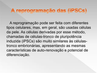 A reprogramação pode ser feita com diferentes
tipos celulares, mas, em geral, são usadas células
da pele. As células derivadas por esse método,
chamadas de células-tronco de pluripotência
induzida (iPSCs) são muito similares às células-
tronco embrionárias, apresentando as mesmas
características de auto-renovação e potencial de
diferenciação.
 