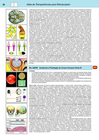 98 Atlas de Transparências para Retroprojetor 
Crescimento do feto no útero - Feto maduro no útero, apresentação cefálica normal - Início do nascimento, Entrada da 
bolsa amniótica no canal de parto. - Os cromossomos como responsáveis pelo fator hereditário - Oogênese, esperma-togênese, 
fertilização e 1ªs clivagens em animais - Fertilização e maturação das divisões no Ascaris - Fertilização de 
óvulo de ouriço-do-mar - Ouriço do mar, desenvolvimento (Psammechinus miliaris) - Desenvolvimento embrionário do 
sistema nervoso central de anfioxo - Desenvolvimento embrionário do sistema nervoso central de rã - Embrião de 
galinha, 48 horas, mostrando o tubo neural e corda - Formação do coração humano, desenho - Desenvolvimento do 
coração nos vertebrados - Desenvolvimento dos pulmões nos vertebrados - Desenvolvimento do olho humano, quatro 
estágios Os tecidos nervosos - Sistema nervoso humano, inteiro - Células nervosas motoras da substância cinzenta 
de medula espinhal - Fibras nervosas, s.t. de axônios e camadas da medula - Várias formas de neurônios humanos - 
Diagrama de um neurônio - Tipos de neurônios humanos - Fibras nervosas meduladas mostrando nódulos de Ranvier 
O sistema nervoso - A evolução do sistema nervoso nos vermes - O sistema nervoso da minhoca - Concentração de 
gânglios nos insetos - Cabeça de gafanhoto, s.l. Posição do crânio - Forma do corpo e sistema nervoso de artrópodes 
- Sistema nervoso de marisco de água doce - Sistema nervoso de caramujo terrestre (Helix pomatia) - Sistema nervo-so 
de estrela-do-mar - Desenvolvimento da medula espinhal de rã e do homem - Vértebra humana com visão superior 
e lateral de três vértebras com discos intervertebrais - Cérebro de vertebrados (tubarão peixes ósseos, anfíbios rép-teis, 
aves e mamíferos), vista dorsal - Cérebro de vertebrados, secção sagital - Sistema nervoso central humano, vista 
lateral - Medula espinhal humana no canal espinhal, vista lateral - Medula espinhal humana e medula oblongata - 
Comparação da massa cerebral e da medula espinhal de anfioxo, rã, coelho, gato, macaco e humano - Nervos crania-nos 
de sapo e ovelha - Cérebro humano, vista ventral com nervos cranianos - Proporção entre cérebro e cabeça nos 
vertebrados - Proporção entre cérebro e cabeça nos mamíferos O cordão espinhal humano - Posição da medula 
espinhal no canal espinhal - Cordão espinhal de mamífero, s.t. - Cordão espinhal com raiz e ramificações dos nervos 
espinhais, diagrama - Arco reflexo simples, diagrama - Pólio: síndrome da substância cinzenta ventral - Tabes: sífilis 
terciária: síndrome da substância branca dorsal - Esclerose do trato piramidal - Secção completa da medula espinhal: 
Paraplegia O cérebro humano. Transmissão de informações - O cérebro humano, vista lateral (modelo) - O cérebro 
humano, secção sagital (modelo) - O cérebro humano, secção frontal - Estrutura hierárquica do cérebro, segmentação 
- Repouso e potencial de ação - Impulso sensorial e condução em potenciais de ação - Intensidade de estímulos e 
frequência de impulsos - Propagação do potencial de ação - Estrutura fina dos nódulos de Ranvier - Diagrama da 
célula nervosa do cérebro - Sinapses excitatória e inibitórias - Sinapse, figura espacial - Transmissão sináptica, diagra-ma 
- O tronco encefálico vista ventral e dorsal - O suprimento de sangue do cérebro - O sistema vascular sanguíneo, 
vista lateral - Lesão causada por acidente de mergulho - Lesão causada por hemorragia (derrame) - Córtex cerebral, 
s.t. mostrando células piramidais e suas conexões - Lobos e áreas do hemisfério esquerdo - Áreas e tratos do cérebro 
- Cerebelo, visto de vários lados, secção sagital - Córtex cerebelar e conexões neuronais, diagrama - Trato de conexão 
entre cérebro e cerebelo, esquema. O sistema nervoso autônomo - Efeito da atropina no olho - Inervação do músculo 
da íris. Antagonismo dos sistemas simpático e parassimpático - Efeito antagônico em glândulas e músculos involuntá-rios 
- A localização do cordão espinhal, nervos espinhais e gânglio simpatético II em relação à coluna vertebral - 
Substâncias transmissoras e inibidoras das sinapses e placas motoras terminais nos sistemas nervosos somático, 
simpatético e parasimpatético - Tratos motores e sensitivos do sistema nervoso autônomo - Regulação da temperatura 
do corpo. 
No. 8203P Anatomia e Fisiologia do Corpo Humano Parte III 
Conteúdo: 
• 27 Transparências tamanho 22 x 28 cm, compreendendo 75 figuras, na maior parte com diversas figuras compo-nentes 
(figuras anatômicas, fotomicro- e macrografias, fotografias da natureza, fotografias humanas, micrografias 
de elétron, fotografias de raio X, desenhos, diagramas, tabelas, cenários, dados de teste e resultados). As figuras 
coloridas foram preparadas por ilustradores de universidade especializados neste campo. 
• Folhas de trabalho com desenhos esquemáticos e respectivos textos explicativos. Os educadores podem sacar 
cópias destas folhas e utiliza-las para trabalhos em sala de aula ou para testes. 
• Manual com comentários detalhados spara o profesor. Tudo em um resistente arquivo plástico com mecanismo de 
anel para acondicionamento. 
Olho e visão - Alcance da luz visível no espectro eletromagnético - O olho humano - Retina humana, detalhe de s.t. - 
Retina humana, diagrama - Retina, s.t. estrutura detalhada - Músculos orbitais do globo ocular, vista lateral - Caminhos 
da visão,quiasma óptico, figura esquemática - Retina vista por oftalmoscópio - Formação de imagem de um olho 
normal. O olho como uma câmera - Acomodação para visão à distância e de perto, reflexo da luz na pupila - Imagem 
vista através de óculos „normais“ e para astigmatismo - Turbidez patológica das lentes (catarata) - Defeitos de forma-ção 
de imagem, miopia e hipermetropia - Formação de imagem por córnes astigmata - Testes para cegueira de cores. 
Deficiência para vermelho-verde e fraqueza do azul - Ilusões de óptica por informações ambíguas - Ilusão de óptica 
causada por influência das áreas circundantes - Discordância de interpretação racional e percepção óptica - Triângulo 
Tricromático. Visão a cores - Sensibilidade espectral de cones e bastonetes Ouvido e o mecanismo auditivo, senso 
de equilíbrio - A formação de ondas sonoras - Anatomia do ouvido humano - Ouvido médio e ouvido interno - Órgão 
de Corti, figura esquematizada - Movimento da membrana de Reissner e basilar - Alargamento da membrana basilar - 
Formação de ondas no labirinto membranoso - Deslocamento do labirinto membranoso - Amplitude padrão da vibra-ção 
de alta e baixa frequência - Detecção da direção do som - Diagrama das principais vias auditivas - Relação entre 
os dois canais semicirculares - Função do sistema vestibular. Percepção sensorial: Olfato, paladar, tato, percepção 
de temperatura e movimento - Cavidade nasal e faringiana, corrente de ar da respiração - Concha nasal de homem 
e veado - Membrana mucosa olfativa e respiratória, s.t. - Membrana mucosa olfativa, s.t. de vista detalhada - Língua de 
coelho, s.t.de papila foliata - Língua de coelho, s.t. de papila foliata com botões gustativos - Pele da palma da mão, 
mostrando epiderme cornificada, zona germinativa e glândulas sudoríparas, diagrama - Couro cabeludo humano, 
secção vertical mostrando s.l. de folículos capilares, glândulas sebáceas e epiderme - Pele humana com receptores de 
tato, sensação de pressão e térmica - Pelo de tato, s.l. através da pele da boca de mamífero - Pêlo da cavidade de 
camundongo, s.t. - Receptores de calor de Ruffini - Corpúsculo de Krause, receptor de frio - Corpúsculo de Meissner 
do dedo humano - Dorso da mão com pontos de recepção de calor e frio - Diferenças de sensibilidade causadas por 
estimulação por toque - Proprioceptores: fuso do músculo de aparato do tendão 
Hormônios e sistema hormonal - As glândulas humanas de hormônios - A glândula tireóide humana, situs - Glându-las 
exócrinas e endócrinas, diagrama - Glândula tiróide mostrando epitélio e colóide - Aceleração do desenvolvimento 
de girino pela tiroxina - Efeito da terapia com tiroxina em uma criança - Cretinismo causado por insuficiência da tireóide 
- Relações entre iodo e bócio - As glândulas parótidas, situs - O pâncreas, situs - Pâncreas mostrando ilhotas de 
Langerhans - Regulação do nível de açúcar no sangue por células A e B - Ilhotas de Langerhans, diagrama - Controle 
de nível de açúcar no sangue pela insulina e glucagon - Rim humano e glândula adrenal - Glândula adrenal, s.t. através 
do córtex e medula - Células intersticiais de Leydig, s.t. - Corpo lúteo s.t. - Aves castradas, efeito da castração em galo 
e galinha - Caracteres sexuais secundários em humanos - Processos durante o ciclo menstrual - A pílula anticoncep-cional, 
contracepção hormonal - Relações entre glândulas endócrinas, diagrama - Localização de glândula pituitária e 
pineal - Timo de pessoa jovem e adulta. 
 