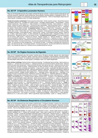 Atlas de Transparências para Retroprojetor 99 
No. 8211P O Aparelho Locomotor Humano 
Atlas com 30 Transparências para retro projetor contendo 87 figuras coloridas, a maioria incluindo várias figuras com-ponentes 
(desenhos, diagramas, figuras anatômicas, fotomicrografia e fotomacrografias, e fotografias de raio-X . Em 
resistente arquivo plástico com mecanismo de anel para acondicionamento - Texto de interpretação (disponíveis em 
várias línguas). Compilação e texto: Prof. Walter Mergenthaler 
Tecidos de conexão e sustentação. Tecido conjuntivo embrionário - Tecido conjuntivo areolar - Tecido fibroso branco 
- Cartilagem hialina de rã - Cartilagem da costela humana - Cartilagem amarela elástica - Fibrocartilagem - Células 
ósseas e canalículos - Tíbia humana, s.t. - Osso compacto, s.t. de sistema de lamelas - Osso compacto, s.l. canais de 
Havers - Sistema de Havers, detalhe de s.t. - Estrutura do osso, esquemático - Dedo de embrião humano, s.l. - Dedo de 
embrião humano, começo de ossificação - Desenvolvimento do osso, s.l. - Desenvolvimento do osso, s.t.. - Osteoblas-tos, 
detalhe - Medula óssea vermelha. - O esqueleto humano. O esqueleto, visão frontal - O esqueleto, visão dorsal - 
O esqueleto e suas partes funcionais - Tipos de juntas - Junta dos dedos, s.l. - Coluna vertebral, vértebras - Vértebra 
lombar, sacro, cóccix - Crânio, Atlas, axis - Tórax e cintura escapular - Construção de um osso longo - Ossos do braço, 
supinação e pronação - A articulação do joelho - Ossos da mão - A pélvis - A articulação do joelho, menisco - Ossos do 
pé - O crânio, visão frontal e lateral - O crânio dissecado em seus diferentes ossos - Fotografia de Raio X de um 
deslocamento - fotografia de Raio X de uma fratura no osso. - O sistema muscular humano. A musculatura esquelé-tica 
de humano, visão frontal e - Estrutura do músculo - Músculo estriado, s.t. - Músculo estriado, s.l. - Fibras do 
músculo esquelético, detalhe da s.l. - fibras do músculo esquelético, detalhe da s.t. - Capilares no músculo - Inervação 
sensorial e motora do músculo - Placas terminais de nervo motor - Fuso muscular- Os músculos da cabeça e pescoço, 
visão frontal e lateral - Os músculos do tronco - Os músculos superficiais das costas - Os músculos mais profundos das 
costas - Os músculos do ombro (antagonismo) - Os músculos do braço - A pronação e supinação dos músculos do 
braço - Os músculos da mão - Os músculos da pélvis - Os músculos da perna - Os músculos extensores e flexores da 
perna - Os músculos da canela e pé - Exemplo de uma complexa eficiência muscular 
No. 8212P Os Órgãos Humanos da Digestão 
Atlas com 30 Transparências para retro projetor contendo aprox. 88 figuras coloridas, algumas com várias figuras 
componentes (desenhos, diagramas, tabelas, esquemas, figuras de paisagens, fotomicrografia e fotomacrografias, 
dados e resultados de testes) - Em resistente arquivo plástico com mecanismo de anel para acondicionamento - Texto 
de interpretação (disponíveis em várias línguas). Compilação e texto: Prof. Walter Mergenthaler. 
Boca, faringe e estômago. Dentes de leite e dentes permanentes - Os diferentes tipos de dentes - Dente incisivo e a 
gengiva, s.l.. - Gengiva com raiz do dente, s.t. - Cabeça de embrião com primórdio de dente, secção frontal - Desenvol-vimento 
do dente: saco dental jovem - Desenvolvimento de dente: saco dental mais velho - Desenvolvimento do dente: 
saco dental com primórdio de dente - Desenvolvimento do dente: primórdio do dente, parte superior com coroa - 
Desenvolvimento do dente: ampliação para detalhes - Língua humana, secção - Localização das glândulas salivares 
na cabeça - Parte das glândulas salivares - Glândula submandibular, visão geral - Glândula submandibular, detalhe de 
ácino - estrutura da glândula salivar, figura esquemática - Glândula sublingual - Glândula parótida - Esôfago humano, 
s.t. pequeno aumento - Esôfago humano, detalhes de s.t. - Estômago humano, visão geral de s.l. - Estômago, s.l de 
camada muscular e membrana mucosa - Membrana mucosa do estômago. s.t. - Glândulas gástricas do estômago. - 
Intestino. Localização das víceras abdominais no homem - intestino delgado de criança, vista inteira de s.t. - Intestino 
delgado, vista detalhada de s.t. - Duodeno humano, pequeno aumento de s.l. - Duodeno, s.l.com glândulas de Brunner 
- Duodeno, s.l de vilosidades criptas e glândulas - Jejuno humano, pequeno aumento de s.l. - Jejuno, s.l.de vilosidade 
intestinal - Epitélio do intestino, células mucosas - Dobra intestinal com veias injetadas - s.t. de intestino delgado com 
veias - Vilosidades Intestinais, veias, vista superficial - Estrutura detalhada de vilosidade, figuras esquemáticas - Intes-tino 
grosso (colo) de homem, s.l. - Glândulas tubulares do colo, s.l. - Glândulas tubulares do colo, s.t. - Fígado e 
pâncreas. Fígado e pâncreas, vista geral - Fígado de porco, s.t. - Lóbulo do fígado, estrutura glandular, figura esque-mática 
- Trabécula de células do fígado - Lóbulo do fígado, sistemas vasculares - Capilares do fígado - O sistema 
venoso do fígado - Fígado de porco, s.t. para detalhamento - Lóbulo do fígado, s.t. da estrutura das células - Lóbulo do 
fígado, s.t. de dutos biliares injetados - Lóbulo do fígado, s.t. de veias injetadas - Triângulo de Glisson - Células do 
fígado com glicogênio corado - Pâncreas humano, s.t. - O sistema excretor humano. Os órgãos urinários humanos - 
O Rim, s.l., figura esquemática - Rim de feto humano, s.l. sagital. - As veias do rim, figura esquemática - Rim humano, 
pequeno aumento de s.l. - Rim humano, s.t. de córtex - Corpúsculos de Malpighi - Córtex de Rim, s.l. veias injetadas - 
Medula do rim, s.l. tubo renal e coletor - Nefron e glomérulos, figura esquemática - Ureter, s.t. - Bexiga urinária, s.t. 
No. 8213P Os Sistemas Respiratório e Circulatório Humano 
Atlas com 42 Transparências para retro projetor contendo aprox. 110 figuras coloridas, a maioria com várias figuras 
componentes (desenhos, diagramas, figuras anatômicas, fotomicrografia e fotomacrografias, fotografias humanas, 
micrografia eletrônica, fotografias de raio-X) - Em resistente arquivo plástico com mecanismo de anel para acondicio-namento 
- Texto de interpretação (disponíveis em várias línguas). Compilação e texto OStR Michael Duenckmann 
O sistema respiratório humano. Os órgãos do sistema respiratório humano - Secção sagital através da cabeça e 
pescoço, passagens de ar - Cabeça com cavidades nasais - Septo nasal e palato duro de homem - Deglutição e 
respiração - A laringe - Função das cartilagens aritenóides, glote e cordas vocais - Traquéia humana, s.l. - Epitélio ciliar 
de traquéia, detalhe - Células do epitélio ciliar, micrografia eletrônica - Posição dos pulmões - Revestimento interno do 
tórax - Raio X de tórax, posição durante a inspiração e expiração - Tórax mostrando inspiração e expiração, s.l. - 
Função dos músculos intercostais - Estrutura detalhada do pulmão - Tecido pulmonar humano - Pulmão humano, s.t. 
de bronquíolos e alvéolos - Pulmão, injetado para mostrar veias - A parede do alvéolo, micrografia eletrônica - Pulmão, 
s.t. com coloração para fibras elásticas - Comparação de ar inspirado expirado - Diagrama de trocas gasosas nos 
alvéolos - Volume de ar respirado, diagrama - Conexão entre trabalho e respiração - Pulmão de salamandra, s.t.. - 
Pulmão de rã, s.t. - Pulmão de lagarto, s.t. - Aumento da superfície respiratória de vários vertebrados - Influência da 
frequência respiratória - Posição e função dos corpos carótidos - Regulação da respiração, diagrama - Sistema de 
feedback na regulação da respiração - tuberculose miliar em pulmão humano s.t. - Deposição de poeira em pulmão 
humano - Concentração de poeira em diferentes cidades - Absorção de monóxido de carbono e oxigênio pela hemo-globina 
- A catástrofe da poluição do ar de Londres - O sistema circulatório humano: sangue e órgãos linfáticos. 
Cilindros com sangue precipitado e coagulado - Composição do sangue - Esfregaço de sangue humano, vista geral - 
Esfregaço de sangue humano, detalhe dos corpúsculos do sangue - Forma e tamanho de um eritrócito - Pressão de 
 