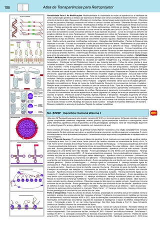 106 Atlas de Transparências para Retroprojetor 
Variabilidade Parte I: As Modificações. Modificabilidade é a habilidade de mudar de aparência ou a habilidade de 
toda a composição genética (o idiotipo) ser expressa no fenótipo sob várias condições de desenvolvimento. - Desenvol-vimento 
de dente de leão (Taraxacum officinale) em montanhas e terras baixas (experimentos de Bonnier) - Diferentes 
formas de pacoveira (Plantago) crescendo em trilhas no campo e bordas da floresta - Diferentes formas de pinheiro 
crescendo isolados ou dentro da floresta - Modificações de folhas em um galho - Modificações de folhas de árvore de 
ginkgo - Plantas genciana de vários níveis do mar - Efeitos estimulantes e inibitórios em plantas - Tabela de binômios 
e triangulo de Pascal - Distribuição binomial ou curva normal da variação para (a+b)4 e (a+b)10 - Curva de variação 
para raios da nadadeira caudal e escamas laterais em duas espécies de peixes - Curva de variação da tamanho de 
progênie idêntica de um único Paramaecium - Seleção fracassada em cultura de Paramaecia - Impressão digital de 
gêmeos idênticos - Inanição e a forma do chifre - em ovelhas da mesma idade - Comprimento do intestino de girino 
dependendo do tipo de alimento - Velocidade de crescimento de peixe (”liguado”) dependendo da densidade populaci-onal 
- Abelha rainha e operárias, modificações nutricionais - Alterações das Modificações : Plantas de Dipsacus bias-trépsicas 
e normais - Formas de primavera e verão da borboleta Araschnia levana - Resfriamento de pupa afeta a 
coloração da asa da borboleta - Mudanças de temperatura modifica cor e tamanho de vespa - Temperatura e luz 
modificam a cor das flores de petúnia - Modificação de coelho russo pela temperatura - Formas transitórias entre 
folhas submersas e flutuantes - Folhas de hera inglesa jovens e velhas - Mudança de sexo dependendo do comprimen-to 
do corpo de anelídeo marinho - Determinação fenotípica de sexo no verme Bonellia - Transplante de tecido de sapo 
para girino de salamandra - Vesícula musgosa de rosa - vesículas de pinheiro produzidas por pulgões. - Variabilidade 
Parte II: As Mutações. Mudanças súbitas em animais e plantas que mais tarde provam ser hereditárias são chamadas 
mutações. Elas podem ser espontâneas ou causadas por agentes mutagênicos, e.g. radiação, produtos químicos, 
temperatura. - Celidonea normal (Chelidonium majus) e seu mutante laciniado - Folhas de várias plantas e seus 
mutantes laciniados - Carneiro selvagem e mutante com perna curta - Peixe dourados seu mutante - Carpa selvagem 
e seus mutantes - Forma e esqueleto de uma mão humana normal e uma com braquidactilia - Mariposa selvagem 
(Biston betularia) e seu mutante carbonaria. Cores protetoras - melanismo industrial de Biston betularia na Grã Breta-nha 
- Mutante sem cauda de gato doméstico - Besouro com pernas duplicadas - Biastrepse em Dipsacus e fasciação 
em árvore ( Japanese spindle) - Plantas de milho normais e mutantes ”cegos para gravidade” - Boca-de-leão normal 
(Antirrhinum majus) e seu mutante cupuliforme - Fator de mutação em boca-de-leão. Forma e cor de flores. Alelos 
múltiplos - Redução progressiva das asas de mosca de fruta Drosophila. Alelos múltiplos - Cor da pelagem de porqui-nhos 
da índia (preto, marrom e branco). Alelos múltiplos - Diagrama mostrando vários tipos de mutações gênicas - 
Mutação cromossômica em fêmea de mosca de fruta Drosophila. Conjunto de cromossomos normais e mutados - 
Relação entre cromossomos mutados e tamanho do olho de moscas da fruta - Tipos de mutações cromossômicas - 
Inversão de segmento de cromossomo em Drosophila. Alça de inversão durante o pareamento cromossômico - muta-ções 
cromossômicas em duas variedades de ervilhas. Cariogramas e paramento cromossômico durante meiose - 
Conjunto de cromossomos de células epidérmicas e padrão pigmentar da cabeça de larvas de salamandra haplóide, 
diplóide, e triplóide - Plantas de Solanum haplóide, diplóide, triplóide, e tetraplóide - Mutações do genoma em Droso-phila 
- forma da folha de Matthiola devido a vários cromossomos excedentes - Crescimento normal do broto folha 
variegada de Sansevieria nobilis. Prova de desenvolvimento de uma quimera e de mutação somática - Efeito mutagê-nico 
de ácido nitroso no DNA. Mudança de bases do ácido nucléico - Seleção de mutantes defeituosos em bactéria - 
Bloqueio metabólico e acúmulo de produtos. Traçado de cadeias metabólicas 
No. 8226P Genética Humana Volume I 
Atlas com 32 Transparências para retro projetor, tamanho 22 X 28 cm, contendo aprox. 94 figuras coloridas, com várias 
figuras componentes (desenhos, diagramas, tabelas, gráficos, figuras anatômicas, fotomicro- e macrografias, micro-grafia 
eletrônica, aparência clínica de pacientes, árvores genealógicas, cariótipos). Texto de interpretação disponível 
em várias línguas. Em arquivo plástico resistente com mecanismo de anel. 
Novos avanços em todos os campos da genética humana fizeram necessária uma edição completamente revisada 
deste assunto. Os dois volumes que cobrem a genética humana incorporam os últimos avanços na pesquisa. O novo e 
brilhante material visual é altamente informativo. Os detalhados textos explicativos complementam as necessidades do 
ensino moderno. 
Parte 1. Tipos de herança. O conhecimento básico da genética formal, ilustrada com exemplos da genética médica. 
Compilação e texto: Prof. Dr. med. Klaus Zerres (Instituto de Genética Humana da universidade de Bonn) e Prof. Dr. 
med. Tiemo Grimm (Instituto de Genética Humana da universidade de Würzburg). - A. Herança autossômica dominante 
- Herança autossômica dominante - Aparência clínica de neurofibromatose, fibromas múltiplos - Idem, manchas café 
com leite - Árvore genealógica de uma família com neurofibromatose - Aparência clínica de mão rachada - Árvore 
genealógica de uma família com mão rachada - Árvore genealógica de uma família com acondroplasia - Herança 
codominante (grupos sanguíneos AB0 ) - B. Herança autossômica recessiva - Herança autossômica recessiva - Proba-bilidade 
dos pais de um indivíduo homozigoto serem heterozigoto - Aparência clínica do albinismo - Albinismo em 
animais - Árvore genealógica de uma família com albinismo - A decomposição da fenilalanina - Árvore genealógica de 
uma família com fenilcetonúria (pseudodominância) - Árvore genealógica de uma família com surdo-mudez (heteroge-neidade 
genética) - Efeitos da heterozigose - C. Herança ligada ao cromossomo X - Herança recessiva ligada ao 
cromossomo X - Placa de cor para testar daltonismo verde-vermelho - Árvore genealógica de una família com daltonis-mo 
verde-vermelho - Aparência clínica de distrofia muscular Duchenne - Estrutura do gene da distrofia muscular - 
Exemplos de mudanças nas deleções no cromossomo da distrofia - Árvore genealógica de famílias com distrofia 
muscular - Aparência clínica da hemofilia - Hemofilia A na aristocracia européia - Herança dominante ligada ao cro-mossomo 
X - Aparência clínica de incontinência pigmentar (síndrome de Bloch-Sulzberger) - Árvore genealógica de 
uma família com incontinência pigmentar - D. Herança multifatorial - Herança multifatorial (efeito do valor limite) - 
Riscos de recorrência da herança multifatorial - Aparência clínica de lábio leporino e palato rachado - lábio leporino e 
palato rachado devido a faixas amnióticas - Diferentes causas do lábio leporino e palato rachado - Aparência clínica da 
síndrome de van der Woude - Árvore genealógica de uma família com síndrome de van der Woude - Aparência clínica 
de defeitos do tubo neural, spina bifida - Idem anencéfalo - Aparência clínica de pé disforme - Idem de psoríase - 
Exemplo de estenose pilórica ilustrando o chamado “Efeito Carter” - E. Herança mitocôndria - Herança miticondrial - 
Árvore genealógica de uma família com atrofia ótica de Leber 
Parte 2. Citogenética. Tipos de culturas de células humanas, preparação da cromatina sexual em estados normal e 
patológico, análise dos corpúsculos de Barr, baquetas e fatores F. Análise de cromossomos em metáfase por técnicas 
de bandeamento, incluindo métodos NOR- e SCE, tipos de aberrações cromossômicas e conseqüências fenotípicas. 
Aberrações cromossômicas secundárias seguidas de exposição à clastógenos e reparo de defeitos. Citogenética tu-moral. 
- Compilação e texto: Dr. rer. nat. Ulrike Gamerdinger, Dipl.-Biol. Katja Weiske e Prof. Dr. Gesa Schwanitz 
(Instituto de Genética Humana da universidade de Bonn). 
A. Culturas de células - Cultura de linfócitos - Cultura de tecidos - Clones em cultura de tecido - Atividade mitótica em 
cultura de tecido - B. Cromatina sexual - Corpúsculos de Barr em células do bulbo piloso - Baquetas em granulócito 
maduro segmentado - Dois corpúsculos de Barr; cariótipo 47,XXX - Fatores F em linfócitos humanos - Dois fatores F; 
cariótipo 47,XYY - C. Coloração cromossômica e técnicas de bandeamento - Coloração uniforme - Padrão de bande-amento 
GTG - Padrão de bandeamento QFQ - Padrão de bandeamento RBA - Padrão de bandeamento C - SCE (troca 
 