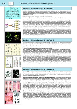108 Atlas de Transparências para Retroprojetor 
No. 8228P Origem e Evolução da Vida Parte I 
Atlas com 24 Transparências para retro projetor contendo aprox. 60 figuras coloridas, com várias figuras componentes 
(desenhos, diagramas, tabelas, figuras anatômicas, fotomicro- e macrografias, fósseis, dados e resultados de testes). 
Texto de interpretação disponível em várias línguas - Em arquivo plástico resistente com mecanismo de anel. Compi-lação 
e texto: Dr. B. Zucht 
Evolução estrelar, química e orgânica. Formação dos procariontes. 
Nomenclatura - Eventos e épocas - Origem de corpos celestiais - Origem do sistema solar - Surgimento de elementos 
químicos leves - Surgimento de elementos pesados - Paisagem em tempos pré históricos - Paisagem pré histórica 
como uma “panela química” - Aparato de MILLER - Estrutura de esferas primárias - Lista de autores - Formação 
abiótica de aminoácidos - idem oligopeptídeos - idem polipeptídeos (proteinóides) - idem bases púricas e pirimídicas - 
idem bio-moléculas - Policondensação simulada de aminoácidos a proteinóides I: lava aquecida - Idem II: derretimento 
- idem III: reação de condensação - Idem IV: remoção de polimerizados - Microesferas proteinóides abióticas - Metabo-lismo 
simples de coacervados - Formação da dupla camada de lipídeos - Formação de seqüências mais longas de 
ácidos nucléicos - Formação e decomposição de polinucleotídeos - Agregados de polinucleotídeos - Agregados de 
polinucleotídeo específicos - Rede de reação catalítica de moléculas de proteína - Evolução de ácidos nucléicos - 
Hiper ciclo de acordo com EIGEN - Protobióticos de proteínas ao acaso - Propagação hipotética de protobióticos - 
Estágios hipotéticos da reprodução de protobióticos - Processos metabólicos iniciais de eubióticos - Formas de vida 
básica de eubióticos - Estágios evolutivos do metabolismo I: do início aos protobióticos - idem II: dos protobióticos aos 
procariótas - idem III: Protobióticos fermentadores, fotossintetizantes - Processos metabólicos da célula - Evidências 
pré-cambrianas de vida - Itabitita - Microfósseis pré-cambrianos I - idem II - Estromatólitos de cianofíceas do pré-cambriano 
- Recifes de estromatólitos de algas do museu de Leningrado - Organismos atuais simples I: cianobactérias 
- do. II: Bactéria - Caminho evolutivo da vida, diagrama 
No. 8229P Origem e Evolução da vida Parte II 
Atlas com 24 Transparências para retro projetor contendo aprox. 45 figuras coloridas, com várias figuras componentes 
(desenhos, diagramas,figuras anatômicas, fotomicro- e macrografias, ciclos de vida, paisagens, fósseis, dados e resul-tados 
de testes). - Texto de interpretação disponível em várias línguas - Em arquivo plástico resistente com mecanismo 
de anel. Compilação e texto: Dr. Bernd Zucht 
A evolução biológica dos procariontes aos reinos animal e vegetal. 
Teoria da geração espontânea - Gênese cristã - Origem dos cinco filos de organismos - Teoria da endosimbiose - 
Endosimbiose bacterial em Amoeba - Desenvolvimento de flagelados eucitos a algas - Formas coloniais de organis-mos 
unicelulares - Desenvolvimento de formas aquáticas a terrestres - Reconstrução de Rhynia - Linhas evolutivas de 
plantas com esporos - A teoria teloma - Filogenia de folhas - Posições do esporângio depois da teoria teloma I - idem 
II - A teoria estelar - Fóssil actinostélico - Psilotum, uma samambaia atual arcaica - Selaginella, um musgo-samambaia 
- Ginkgo, folhas - Dicyema (Mesozoa) - Teoria Gastraea segundo HAECKEL - Teoria Notoneuralia e gastroneuralia 
segundo HEIDER - Teoria do celoma segundo REMANE - Árvore filogenética de deuterostômios - Desenvolvimento da 
cavidade abdominal - Evolução dos cordados I: de animais vermiformes a lanceolados - Amphioxus, Branchiostoma - 
Evolução dos cordados II: vertebrados - Ramificações na evolução dos vertebrados - Variedade morfológica: cefalópo-des 
- Dinossauros: Ornithischia e Saurischia - Relações filogenéticas entre dinossauros - Comparação do número de 
espécies de animais - Eras geológicas - Tabela de formações - Período Cambriano: cena da paisagem com animais e 
plantas típicas - Período Siluriano: idem - Período Devoniano: idem - Período Carbonífero: idem - Período Permiano: 
idem - Período Triássico: idem - Período Jurássico: idem - Período Cretáceo: idem - Período Terciário: idem - Período 
Quaternário: idem. 
No. 8230P Origem e Evolução da Vida Parte III 
Atlas com 30 Transparências para retro projetor contendo aprox. 60 figuras coloridas, com várias figuras componentes 
(desenhos, diagramas, figuras anatômicas, fotomicro- e macrografias,ciclos de vida, cenas da paisagem, fósseis, da-dos 
e resultados de testes). - Texto de interpretação disponível em várias línguas - Em arquivo plástico resistente com 
mecanismo de anel. Compilação e texto: Dr. B. Zucht 
Bases, mecanismos e caminhos da evolução dos Reinos animal e vegetal. Caminhos da evolução - Homologias 
morfológicas I: estruturas celulares - idem. II: Construção de planos - idem III: Notocorda e vértebras - idem IV: cérebro 
de vertebrados - Homologias no metabolismo I: trifosfato de adenosina (ATP) - idem II: fotossíntese e quimiossíntese - 
Homologias em funções vitais: Mitose - Troncos de árvores petrificadas (Arizona) - Límulo petrificado (Xiphosura) - 
Animais de ligação extintos: Ichthyostega e Archaeopteryx - Archaeopteryx: Reconstrução e fóssil - Fósseis vivos: 
Límulo (Limulus) - Fósseis vivos de animais e plantas - Paralelismo na evolução de animais africanos e sul americanos 
- Náuplio (larva) - Estágios embrionários de classes de vertebrados - Lei da Biogenética segundo HAECKEL - Rudi-mentos 
pélvicos de uma baleia - Casco irregular de um cavalo (atavismo) - Filogenia do padrão de comportamento de 
patos - Relação bioquímica de serum albumins - Teoria das catástrofes segundo CUVIER - As teorias Lamarckista e 
Darwinista - Modificação: Curvas de variação - Crescimento desigual de dente de leão, seleção fracassada em para-mécio 
- Modificação e mutação - Efeitos mutagênicos e mutabilidade - Tipos de mutação - Freqüência de mutação 
gênica (“hot spots”) - Efeito mutagênico do ácido nitroso no DNA - Recombinação em periquitos - Alopoliploidia do trigo 
- Tipos de seleção - Seleção natural e seleção pelo homem - Aparência críptica e coloração de aviso - Seleção rápida 
por pré-adaptação. Melanismo industrial - Seleção extrema - Isolamento. A teoria da deriva continental - Isolamento 
geográfico e ecológico - Isolamento durante a reprodução de rãs - Divisão de espécies por separação - Velocidade da 
evolução. Fluxo gênico - Radiação adaptiva de marsupiais e mamíferos - Teoria da evolução por síntese. Paisagem 
genética - Evolução transespecífica - Desenvolvimento das formas I: Melhoramento - idem II: Gigantismo - idem III: 
Hipertelia em um besouro - Linhas espirais da ontogenia - História evolutiva do cavalo - Relação estrutural do citocro-mo 
C - Musgo (Briófitas). Ciclo de vida - Samambaia (Pteridófita). Ciclo de vida - Pinheiro (Gimnosperma). Ciclo de 
vida - A evolução das línguas 
 