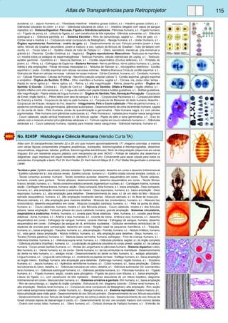 Atlas de Transparências para Retroprojetor 115 
duodenal, s.l. - Jejuno Humano, s.l. - Vilosidade Intestinal - Intestino grosso (cólon), s.t. - Intestino grosso (cólon), s.l. - 
Glândulas tubulares do cólon, s.l. e s.t. - Glândulas tubulares do cólon, s.t. - intestino delgado com vasos de sangue 
injetados, s.t. - Sistema Digestivo: Pâncreas, Fígado e Glândulas salivares - Pâncreas humano, s.t. - Fígado humano, 
s.t. - Fígado de porco, s.t. - Lóbulo do fígado, s.t. com canalículos de bile injetados - Glândula submaxilar, s.t. - Glândula 
sublingual s.t. - Glândula parótida, s.t. - Sistema Excretor - Rins de camundongo, sagital s.l. - Rins de gato, s.t. - 
Córtex renal e medula s.l. - Corpúsculo renal (corpúsculo de Malpighian), - Bexiga humana, s.t. - Ureter Humano, s.t. - 
Órgãos reprodutores: Femininos - ovário de gato, s.t. - Desenvolvimento do ovo: Folículo primário jovem e mais 
velho, folículo de Graafian secundário, jovem e maduro, e ovo, ruptura de folículo de Graafian - Tubo de falópio com 
oocito, s.t. - Corpo lúteo s.t. - Epitélio ciliado de tubo de Falópio s.t. - Útero, secretório, menstrual, pós-menstrual e 
grávido s.t. - Placenta - Cordão Umbilical, s.t. - Vagina s.t. - Órgãos reprodutores: Masculinos - Testículos de mamífero, 
s.t. mostra todos os estágios de espermatogênese - Testículo Humano, células intersticiais de Leydig, s.t. - Testículo, 
epitélio germinal - Epidídimo s.t. - Vesícula Seminal, s.t. - Cordão espermático (Ductus deferens), s.t. - Próstata de 
jovem, s.t. - Pênis, s.t. - Esfregaço de Esperma - Sistema Nervoso - Nervo periférico, nervo ciático humano, s.t., baixa, 
média e alta ampliações - Fibras nervosas meduladas s.l. - Nódulos de Ranvier, s.l., micrográfico eletrônico - Cordão 
espinhal s.t. prata - Cordão espinhal com células nervosas motoras - Matéria Branca e Cinza de cordão espinhal, s.t. - 
Grânulos de Nissl em células nervosas - células nervosas motoras - Córtex Cerebral, humano, s.t. - Cerebelo, humano, 
s.t. - Células Piramidais - Células de Purkinje - Neurônio pseudo-unipolar (célula T) - Cordão espinhal, gânglio espinhal 
e simpático - Órgãos do Sentido: O Olho - Olho, mamífero e humano, sagital s.l. - Córnea, iris, corpo ciliar, lentes - 
Papila do nervo óptico s.l. - Nervo óptico, s.t. - Retina, s.t. alta magnificação - Retina, desenho gráfico - Órgãos do 
Sentido: O Ouvido - Cóclea s.l. - Órgão de Corti s.l. - Órgãos do Sentido: Olfato e Paladar - região olfativa, s.t. - 
Epitélio olfativo com cílio sensorial, s.t. - Língua de coelho com papila foliata e botões gustativos, s.t. - Botões gustativos, 
alta magnificação - Papila valada de língua humana s.t. - Órgãos do Sentido: Tato, Sensação Percepção - Corpúsculo 
de Eimer, órgão táctil s.l. - Pêlos táteis com seio de sangue, s.t. e s.l. - Corpúsculos Pacinianos s.t. - Corpúsculos táteis 
de Grandry e Herbst - Corpúsculo de tato na pele humana, s.t. - Corpúsculo de Meissner do dedo humano, desenho - 
Corpúsculo de Krause, receptor do frio, desenho - Integumento, Pele e Couro cabeludo - Pele da palma humana, s.l. 
epiderme cornificada, zona germinativa, glândulas sudoríparas - Desenvolvimento de unha de embrião humano, sagital 
s.l. da ponta do dedo - Pele Humana, zonas de queratinização e germinativa - Pele Humana negra, s.t. com células 
pigmentadas - Pele Humana com glândulas sudoríparas, s.t. - Pele Humana s.l. injetada para mostrar vasos sanguíneos 
- Couro cabeludo, seção vertical mostrando s.l. de folículo capilar - Papila do pêlo e zona germinativa, s.t. - Eixo do 
cabelo com o músculo arrector pili e glândulas sebáceas s.l. - Folículo capilar em couro cabeludo humano s.t. - Glândulas 
sebáceas s.t. - Couro cabeludo humano, injetado para mostrar vasos sanguíneos - Glândula mamária, humana s.t. 
No. 8245P Histologia e Ciência Humana (Versão Curta TA) 
Atlas com 30 transparências (tamaño 22 x 28 cm) que incluem aproximadamente 171 imagens coloridas, a maioria 
com várias figuras componentes (imagens anatômicas, ilustrações, fotomicrografias e fotomacrografias, desenhos 
esquemáticos, diagramas, tabelas, gráficos, fotomicrografias electrônicas). Texto de interpretação (disponível em várias 
línguas). Em um resistente arquivo plástico com mecanismo de anel. NOVO – Folhas de trabalho dos desenhos e 
diagramas. Jogo impresso em papel resistente, (tamaño 21 x 29 cm). Conveniente para sacar cópias para todos os 
estudantes. Compilação e texto: Prof. Dr. Kurt Fiedler, Dr. Karl-Heinrich Meyer B.S., Prof. Walter Mergenthaler e Johannes 
Lieder. 
Tecidos e pele: Epitélio escamado, células isoladas - Epitélio escamado, desenho em cores e desenho tridimensional 
- Epitélio cuboidal em s.l. dos túbulos renais - Epitélio colunar, humano s.t. - Epitélio ciliado colunar simples, oviduto, s.t. 
- Tecido conectivo aureolar, humano - Tecido conectivo aureolar, desenho esquemático em cores - Tecido adiposo, 
humano, corado para gordura - Tecido adiposo, desenvolvimento, desenho esquemático em cores - Tecido fibroso 
branco, tendão, humano, s.l. - Tecido conectivo elástico amarelo (ligamentum nuchae), s.t. - Cartilagem hialina, humana, 
seção - Cartilagem fibrosa branca, humana, seção - Osso compacto, tíbia humana, s.t., baixa ampliação - Osso compacto, 
humano, s.t., alta ampliação mostrando o sistema de Havers - Osso esponjoso, humano, s.t., baixa ampliação - Osso 
esponjoso, humano, s.t., alta ampliação para detalhes - Desenvolvimento do osso, s.l. de um dedo do feto - Músculo 
estriado (esquelético), humano, s.l., alta ampliação mostrando estrias - Músculo estriado, s.t. do feixe de músculos - 
Músculo estriado, s.t., alta ampliação para maiores detalhes - Músculo liso (involuntário), humano, s.l. - Músculo liso 
(involuntário), desenho esquemático em cores - Músculo (coração) cardíaco, humano, s.l. - Pele da ponta do dedo, 
humano, s.l. - Couro cabeludo, humano, mostra s.l. dos folículos pilosos - Couro cabeludo, mostra s.t. dos folículos 
pilosos, baixa ampliação - Folículos pilosos do couro cabeludo humano, grande ampliação - Sistemas circulatório, 
respiratório e endócrino: Artéria, humana, s.t. corada para fibras elásticas - Veia, humana, s.t., corada para fibras 
elásticas - Aorta, humana, s.t. - Artéria e veia, humanas, s.t., corante de rotina - Artéria e veia, humanas, s.t., desenho 
esquemático em cores - Esfregaço de sangue, humano, corante Giemsa - Esfregaço de sangue, humano, desenho 
esquemático em cores - Esfregaço de sangue de rã, eritrócitos nucleados - Glóbulos vermelhos (eritrócitos) de 12 
espécies de animais para comparação, desenho em cores - Região nasal de pequenos mamíferos, s.t. - Traquéia, 
humana, s.t., baixa ampliação - Traquéia, humana, s.t., alta ampliação - Pulmão, humano, s.t. - Nódulo linfático, humano, 
s.t., vista geral, baixa ampliação - Nódulo linfático, humano, s.t., alta ampliação para detalhes - Baço, humano, s.t. - 
Tonsila (Tonsila palatina), humana, s.t. - Medula óssea vermelha, humana, esfregaço - Timo de criança, humano, s.t. - 
Glândula tireóide, humana, s.t. - Glândula supra-renal, humana, s.t. - Glândula pituitária, sagital, s.l. do órgão completo 
- Glândula pituitária (hipófise), humana, s.t. - Localização da glândula pituitária no corpo pineal, sagital, s.l. da cabeça 
humana - Corpo pineal (epífise) humana, s.t. - Ilhotas de Langerhans no pâncreas humano - Sistema digestivo: Lábio, 
feto humano, s.t. - Dente humano, s.t. da coroa - Dente humano, s.t. da raiz embutida na mandíbula - Desenvolvimento 
do dente no feto humano, s.l., estágio inicial - Desenvolvimento do dente no feto humano, s.l., estágio adiantado - 
Língua humana, s.t. - Língua de camundongo, s.l., mostrando as papilas córneas - Esôfago humano, s.t., baixa ampliação 
do órgão inteiro - Esôfago humano, alta ampliação para detalhes - Estômago humano, região fúndica, s.t. - Duodeno 
humano, s.t. - Jejuno humano, s.t. - Apêndice vermiforme humano, s.t. - Cólon humano, s.t., baixa ampliação - Glându-las 
tubulares do cólon, detalhe, s.l. - Glândulas tubulares do cólon, detalhe, s.t. - Glândula submaxilar (Gl. submandibu-laris) 
humana, s.t. - Glândula sublingual humana, s.t. - Glândula parótida humana, s.t. - Pâncreas humano, s.t. - Fígado 
humano, s.t. - Fígado humano, seção, corado para glicogênio - Fígado de porco com lóbulos, s.t., baixa ampliação - 
Lóbulo do fígado, s.t., com canalículos de bile injetados - Sistemas vasculares de um lóbulo hepático, diagrama 
tridimensional em cores - Vesícula biliar humana, s.t. - Sistemas urinários e genitais: Rim humano, s.l., baixa ampliação 
- Rim de camundongo, s.l. sagital do órgão completo - Estrutura do rim, diagrama colorido - Córtex renal humano, s.l.. 
alta ampliação - Medula renal humana, s.l. - Corpúsculo renal (corpúsculo de Malpighian), alta ampliação - Rim, seção 
com vasos sangüíneos injetados - Ureter humano, s.t. - Bexiga humana, s.t. - Sistema reprodutor: Ovário maduro, s.t., 
baixa ampliação para visão geral - Desenvolvimento do ovo: folículo primário - Desenvolvimento do ovo; folículo secundário 
- Desenvolvimento do ovo: folículo de Graaf com germe de colina e célula do ovo - Desenvolvimento do ovo: folículo de 
Graaf rompido depois de descarregar o oocito, s.l. - Desenvolvimento do ovo: ovo ovulado maduro com corona radiata 
- Ovário com corpo lúteo, humano, s.t. - Útero humano, s.t. - Oviduto (trompa de Falópio) humano, s.t. - Embrião de 
 