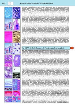 116 Atlas de Transparências para Retroprojetor 
camundongo, s.l. sagital do espécime inteiro - Embrião de camundongo, s.l. sagital com cabeça - Embrião de camun-dongo, 
s.t. da região torácica - Placenta humana, s.t. - Estrutura e funcionamento da placenta; diagrama - Cordão 
umbilical humano, s.t. - Vagina humana, s.t. - Glândula mamária humana, s.t. - Testículos de humano adulto, estágio 
maduro, s.t. - Testículo, s.t., corado para mostrar todos os estágios de espermatogênese, alta ampliação - Células 
intersticiais do Leydig no testículo humano, s.t. - Testículo, epidídimo, espermatogênese; diagrama em cores - Epidídi-mo 
humano, s.t. - Esfregaço de esperma de touro - Pênis, s.t. - Vesícula seminal, s.t. - Próstata de homem jovem, s.t. 
- Cordão espermático (Ductus deferens) humano, s.t. - Sistema nervoso e órgãos sensoriais: Córtex cerebral huma-no, 
s.t., corante de rotina, Córtex cerebral humano, s.t., prateado para as células piramidais - Cerebelo humano, s.t., 
corante de rotina - Cerebelo humano, s.t., prateado para as células de Purkinje - Cérebro humano, vista ventral com 
nervos cranianos - Cérebro do camundongo, s.l. do órgão todo - Cordão espinhal humano e medula oblongada. Vistas 
lateral e dorsal com nervos espinhais, vista ventral sem os nervos - Tronco cerebral com nervos cranianos, vistas 
ventral e dorsal - Vértebras humanas. Vistas superior e lateral de três vértebras com discos intervertebrais - Sistema 
nervoso central, vista lateral. Posicionamento da dura sac no canal espinhal - Cordão espinhal, s.t. com corante de 
rotina - Cordão espinhal, s.t., corado com prata - Matéria cinzenta do cordão espinal, s.t., mostrando corpos das 
células nervosas - Matéria branca do cordão espinhal, s.t., mostrando fibras nervosas - Porção do cordão espinhal com 
raízes, gânglios e ramificações dos nervos espinhais, diagrama tridimensional - Gânglio simpático humano, s.t. - Neu-rônio 
pseudounipolar (célula T) do gânglio espinhal - Nervo periférico, nervo ciático humano, s.t., baixa ampliação - 
Nervo periférico, feixe do nervo ciático, s.t., média ampliação - Nervo periférico, fibras nervosas, s.t., alta ampliação, 
bainhas medulares e axônicas - Nervo periférico, material obtido do material fixado com ácido ósmico com nódulos de 
Ranvier - Nervo óptico humano, s.t. - Células do nervo motor, esfregaço do cordão espinhal de boi mostrando as 
células nervosas e seus apêndices - Vários formatos de neurônios humanos, 5 figuras - Corpo da célula nervosa do 
cérebro com dendritos, axônio e sinapses. Diagrama Sinapse, pintura - Terminais do nervo motor, músculo corado com 
cloreto de ouro, mostrando as lâminas terminais motoras - Lâminas terminais motoras (junção neuromuscular), diagra-ma, 
2 figuras - Olho humano. Globo ocular, músculos do olho, pálpebra, seção sagital - Olho, parte anterior, com íris, 
corpo ciliar, córnea, s.l. - Olho parte posterior, com retina e entrada do nervo óptico, s.l. - Retina do olho, s.t., para todos 
os detalhes - Retina humana, conexões sinápticas principais, desenho diagramático em cores - Córnea do olho huma-no, 
s.t. - Pálpebra de gato, s.t. mostrando a glândula de Meibomian - Cóclea (ouvido interno) de preá, s.l., mostrando 
o órgão de Corti - Morfologia do ouvido humano. Concha auditiva, canal auditivo externo, ouvido médio, ouvido interno 
- Órgão de Corti, diagrama espacial de duas cores - Região olfativa do nariz do coelho, s.t. - Epitélio olfativo com cílios 
sensoriais, s.t., vista detalhada - Língua de coelho com papila foliata mostrando abundantes pontos gustativos, s.t. - 
Papila foliata, s.t., vista detalhada dos pontos gustativos, alta ampliação - Papila Vallate da língua humana, s.t., vista 
detalhada - Pêlos táteis com seio de sangue, s.l. - Pêlos táteis com seio de sangue, s.t. - Corpúsculos táteis na pele 
humana, s.t. - Corpúsculos de Grandry em s.t. do bico do pato - Corpúsculos Pacinianos no mesentério ou pâncreas - 
Corpúsculo de Meissner do dedo humano - Corpúsculo de Krause, receptor do frio. 
No. 8237P Zoologia (Estrutura de Vertebrados e Invertebrados) 
Nova edição comprensiva e revisada. Construção e anatomia microscópica dos principais representantes de filos e 
classes animais. Atlas com 26 transparências (tamaño 22 x 28 cm) que incluem aproximadamente 165 imagens coloridas, 
a maioria com várias figuras componentes (imagens anatômicas, ilustrações, fotomicrografias e fotomacrografias, 
fotografias de animais, desenhos esquemáticos, diagramas, tabelas, gráficos, fotomicrografias electrônicas). Texto de 
interpretação (disponível em várias línguas). Em um resistente arquivo plástico com mecanismo de anel. Compilação e 
texto: OStD Dr. Karl-Heinrich Meyer B.S e Johannes Lieder. 
Protozoários: Amoeba proteus, u.i.- Amoeba proteus, desenho em cores mostrando aspecto, cisto, alimentação, 
reprodução - Radiolaria, espécies misturadas - Foraminífera, espécies misturadas - Euglena, um flagelado verde comum, 
u.i.- Euglena, aspecto, divisão, conjugação e formação de cistos, reprodução sexual. Desenho em cores - Ceratium, 
dinoflagelada, formas marinhas diferentes, u.i.- Trypanosoma gambiense, causando doença do sono, esfregaço de 
sangue - Trypanosoma gambiense, aspecto e divisão, desenho em cores - Plasmodium falciparum, malária maligna 
terçã, esfregaço de sangue - Plasmodium berghei, parasita do sangue de roedores, esfregaço com estágios assexuado 
e sexuado - Eimeria stiedae, causando coccidiose em coelho, seção do fígado - Paramaecium, macro e micro núcleos 
corados - Paramaecium, ciliado comum, anatomia, desenho em cores - Paramaecium em fissão binária. Forma simples 
de reprodução. Núcleos e protoplasma corados em cores diferentes - Paramaecium em conjugação. Uma união temporária 
de dois indivíduos durando enquanto há troca de material nuclear - Vorticella, um ciliado epidérmico, u.i.- Poríferos e 
celenterados: Sycon, esponja marinha do tipo sycon, s.t. - Esponja do tipo sycon, s.t. esquemática, desenho em cores 
- Spongilla, esponja de água doce, s.t. - Spongilla, esponja de água doce, gêmula (corpos de inverno), u.i.- Euspongia, 
esponja comercial, esqueleto macerado - Espículas de esponja, slide alternativo de espécies mistas - Hydra com 
broto, pólipo de água doce, espécime estendido para estudo do corpo todo, u.i.- Hydra, anatomia e reprodução, desenho 
em cores - Hydra, s.t., diferentes tipos de nematocistos, desenho gráfico em cores - Hydra, s.l. de um espécime com 
alimento na cavidade gastrovascular - Obélia hidróide, colônia de pólipos vegetativos e reprodutivos - Obélia medusa, 
água-viva, u.i.- Pólipo e medusa (Obélia), ciclo vital e desenvolvimento - Actínia (Metridium), anêmona do mar, s.l. e s.t. 
de espécime jovem - Aurélia, ephyra, u.i.- Vermes: Planária, s.t. do corpo - Planária, u.i.de espécime inteiro. Plano 
geral do corpo de um verme chato, cabeça com olhos, trato intestinal, faringe - Fascíola hepática (Distomum hepati-cum), 
lâmina de fígado de bovino, lâmina plana - Fascíola hepática, s.t. do corpo - Fascíola hepática (pedaço de fígado 
bovino), sistema digestivo, sistema reprodutivo, sistema excretor, sistema nervoso - Taenia, solitária, proglótide madu-ra 
para mostrar o útero ramificado cheio de ovos, u.i.- Taenia, solitária, proglótide com todos os órgãos, desenho 
gráfico em cores - Taenia, solitária, s.t. da proglótide em diferentes estágios - Moniezia, verme achatado, escólex com 
proglótide imatura, u.i.- Echinococcus granulosus, escólexes do cisto, u.i.- Echinococcus granulosus, parasita de cães 
(também daninho ao homem), espécime adulto com escólex e proglótide, u.i.- Ascaris lumbricoides, s.t. de adulto 
macho na região das gônadas - Ascaris lumbricoides, s.t. de adulto fêmea na região das gônadas - Ascaris, s.t., 
desenho esquemático em cores - Enterobius vermicularis (Oxiúro), u.i.- Trichinella spiralis, seção de músculo infetado 
com larvas enquistadas - Trichinella spiralis, músculo afetado, peça achatada e u.i.para mostrar integralmente as 
larvas enquistadas - Trichinella spiralis, larvas no músculo, desenho em cores - Nereis, s.t. do corpo para estudo geral 
- Hirudo medicinalis, sanguessuga, s.t. - Lumbricus, minhoca, s.t. do corpo atrás do clitelo para estudo geral - Lumbri-cus, 
minhoca, s.t. esquemática, desenho em cores - Lumbricus, região das vesículas seminais, s.t. - Lumbricus, termi-nal 
anterior incluindo boca, esôfago, corações, gônadas, ventre, etc., s.t. - Lumbricus, sistema reprodutor, desenho em 
cores - Lumbricus, sistemas digestivo e circulatório, desenho em cores - Crustáceos e aracnídeos: Daphnia, mosca 
da água, u.i.- Cyclops, copépodes, unidade integral, Cyclops, larva unidade integral, Daphnia e Cyclops, pequenos 
crustáceos, anatomia, desenho em cores - Artémia salina, camarão de água salgada, estágios de desenvolvimento, 
u.i.- Astacus, lagostim, brânquias, s.t. - Astacus, ovário, s.t. com espermatogênese - Aranha, espécime jovem inteiro, 
u.i.- Aranha, perna com serrilhas, u.i.- Aranha, u.i.em alta ampliação para mostrar as serrilhas - Aranha, fiandeira, u.i.- 
Aranha, fiandeira, desenho gráfico em cores - Aranha, s.l. sagital do abdômen com pulmão traqueal - Escorpião, s.l. 
sagital de um espécime jovem - Escorpião, seção da glândula venenosa - Escorpião, inteiro, espécime jovem em 
u.i.para todos os detalhes - Ixodes sp. grosso, u.i.de espécime adulto - Dermanyssus gallinae, ácaro de galinha, u.i.- 
Varroa, ácaro parasita de abelhas, u.i.- Tyroglyphus farinae, ácaro dos alimentos, u.i. Insetos e artrópodes: Musca 
 