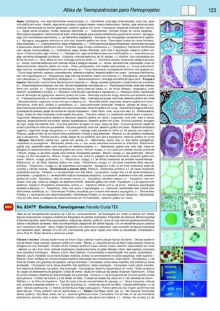 Atlas de Transparências para Retroprojetor 123 
Algas: Oscillatoria, uma alga filamentosa verde-azulada, u.i.- Oscillatoria, uma alga verde-azulada, ciclo vital, dese-nho 
gráfico em cores - Nostoc, alga verde-azulada, unidade integral, mostra heterocistos - Nostoc, alga verde-azulada, 
colônias filamentosas na bainha gelatinosa, desenho gráfico em cores - Gloecapsa, pequenas colônias sem bainha, 
u.i.- Algas verde-azuladas, muitas espécies diferentes, u.i.- Diatomáceas, conchas limpas de várias espécies - 
Pleurosigma angulatum, diatomáceas de teste, alta ampliação para mostrar detalhes da superfície da concha - Spirogyra, 
alga com cloroplastos espiralados, u.i.de filamentos vegetativos - Spirogyra, em conjugação escalariforme e zigotos, 
u.i.- Spirogyra, conjugados, estrutura e ciclo vital, desenho gráfico em cores - Desmideos mistos de vários formatos, 
slide espalhado, u.i.- Chlamydomonas, algas biflageladas, u.i.- Chlamydomonas,algas biflageladas, reprodução sexuada 
e assexuada, desenho gráfico em cores - Chrorella, algas verdes unicelulares, u.i.- Cladophora, filamentos ramificados 
com células multinucleadas, u.i.- Cladophora, algas verdes filiformes, ciclo vital e reprodução, desenho gráfico em 
cores - Enteromorpha, alga marinha, u.i.- Oedogonium, alga verde filamentosa sem ramificações, u.i.- Haematococcus, 
alga vermelha biflagelada unicelular - Eudorina, colônias esféricas de 32 células, u.i.-Ulothrix, com cloroplastos em 
forma de cinto, u.i.- Ulva, alface do mar, uma alga marinha verde, u.i.- Vaucheria sessilis, mostrando estágios sexuais, 
u.i.- Volvox, colônias esféricas com colônias-filhas e estágios sexuais, u.i.- Volvox, estrutura fina, reprodução, curso do 
desenvolvimento, desenho gráfico em cores - Chara, planta-pedra, com órgãos reprodutores, u.i.- Fucus vesiculosus, 
alga marinha, conceptáculo masculino com anteras, s.t. - Fucus vesiculosus, conceptáculo feminino com oogônia, s.t. 
- Fucus (alga marrom), aspecto, conceptáculos, anteras e oogônia, desenho gráfico em cores - Laminaria Saccharina, 
talo com esporângios, s.t. - Polysiphonia, alga marinha vermelha, macho com anteras, u.i.- Polysiphonia, planta fêmea 
com cistocarpos, u.i.- Polysiphonia, tetrásporos, u.i.- Batrachospermum, uma alga vermelha de água doce - Fungos e 
liquens: Stemonitis, mofo da lama, filamentos com esporos, u.i.- Albugo candida (quitópode), crosta branca de crucíferas, 
s.t. - Plasmodiophora brassicae, raiz reta, células hospedeiras com esporos, s.t. - Plasmopara viticola, mofo das videiras, 
folha com conídia, s.t. - Sychytium endobioticum, sarna preta da batata, s.t. de tecido infetado - Aspergillus, mofo 
marrom, conidióforas e conídia, u.i.- Rhizopus, mofo do pão, esporângio e zigosporos, u.i.- Rhizopus (mofo), reprodução 
sexual, formação de zigosporos, desenho gráfico em cores - Claviceps purpurea, fungo, estroma com peritécio e asci, 
s.l. - Claviceps purpurea, s.t. do escleródio mostrando hifas - Claviceps purpurea, ciclo vital, desenho gráfico em cores 
- Morchella edulis, cogumelo, corpo com asci e esporos, s.t. - Morchella edulis, cogumelo, desenho gráfico em cores - 
Penicillium, mofo azul, micélio e conidióforos, u.i.- Saccharomyces cerevisiae, levedura, células de botos, u.i.- 
Saccharomyces (levedura), reprodução sexuada e assexuada, desenho gráfico em cores - Sclerotinia fructigena (Monilia), 
putrefação da ameixa, seção da conídia em tecido hospedeiro - Tuber rufum, trufa, corpo com asci, s.t. - Boletus edulis, 
fungo, seção do píleo mostrando corte sagital dos poros - Coprinos, tampa, s.t. mostrando basídio típico e esporos - 
Cogumelos (Basydomicetes), aspecto e estrutura, desenho gráfico em cores - Cogumelo, ciclo vital, mais e menos 
esporos, desenvolvimento do micélio, basídio basidiósporos, desenho gráfico em cores - Puccinia graminis, ferrugem 
do trigo, seção da uredinia telia - Puccinia graminis, ferrugem do trigo, seção da telia - Puccinia graminis, seção de 
ecídia e picnídia em folha de uva silvestre - Puccinia graminis, ciclo vital, desenho gráfico em cores - Psalliota campestris 
(agárico), cogumelo, fungo das guelras, s.t. do píleo - Ustilago zeae, parasita do milho, s.t. de pústula com esporos - 
Physcia, seção do talo de um líquen típico mostrando o fungo e alga embutida - Physcia, s.l. de apotécio mostrando 
asci e ascósporos - Physcia (líquen), seção sagital de um apotécio com asci e ascósporos, desenho gráfico em cores 
- Musgos: Marchantia, planta viva, cúpula com gemas, s.l. - Marchantia, planta viva, s.l. dos ramos arquegônios 
mostrando os arquegônios - Marchantia, planta viva, s.l. dos ramos anterídios mostrando os anterídios - Marchantia, 
planta viva, esporófito jovem com esporos em desenvolvimento, s.l. - Marchantia, planta viva, ciclo vital, todos os 
estágios de desenvolvimento, desenho gráfico em cores - Mnium, musgo, s.t. do caule com estelas centrais primitivas 
- Mnium, musgo, u.i.de folha corada para mostrar cloroplastos grandes - Mnium, musgo, s.l. dos anterídios - Mnium, 
musgo, s.l. dos arquegônios - Mnium, musgo, ciclo vital, todos os estágios de desenvolvimento, desenho gráfico em 
cores - Mnium, musgo, protonema, u.i.- Polytrichum, musgo, s.t. de folhas mostrando as lamelas fotossintéticas - 
Polytrichum. s.t. de folha, desenho gráfico em cores - Polytrichum, musgo, s.t. de caule mostrando feixe vascular 
primitivo - Polytrichum, musgo, s.l. de esporófitos com esporos - Sphagnum, trufa, u.i.de folha mostrando anéis de 
clorofila e células hialinas - Samambaias e plantas afins: Psilotum, samambaia primitiva, s.t. de caule mostrando 
protostelas exarcas - Psilotum, s.t. de esporângio com três lobos - Lycopodium, musgo reto, s.t. de caule mostrando a 
actinostelo - Lycopodium, s.t. de esporofilo maduro mostrando isosporos - Lycopodium, anatomia e ciclo vital, desenho 
gráfico em cores - Equisetum, rabo-de-cavalo, rizoma, s.t. - Equisetum, estróbilo maduro, s.l. - Equisetum, rabo-de-cavalo, 
ciclo vital, todos os estágios do desenvolvimento, desenho gráfico em cores - Equisetum, u.i.de esporos com 
elatérios - Aspidium (Dryopteris), samambaia, rizoma, s.t. - Aspidium, folhas com s.l. de soros - Aspidium, esporângios 
isolados e esporos, u.i.- Polypodium, folha com soros e esporângios, u.i.- Osmunda, samambaia real, rizoma com 
sifonostelas ectoflóicas, s.t. - Samambaia Protálio, escolhida para mostrar arterídeos e arquegônia, u.i.- Samambaia 
Protálio, s.l. de anterídio com espermatozóides - Samambaia Protálio, s.l. do arquegônio com célula ovo - Samambaia, 
ciclo de vida, todos os estágios do desenvolvimento em 19 ilustrações , desenho gráfico em cores. 
No. 8247P Botânica, Fanerógamas (Versão Curta TD) 
Atlas de 20 transparências tamanho 22 x 28 cm, compreendendo 142 ilustrações em cores a maioria com várias 
figuras componentes (imagens anatômicas, fotografias de plantas, ilustrações, fotografias da natureza, fotomicrografias 
e fotomacrografias, desenhos esquemáticos, diagramas, tabelas, gráficos, ciclos de vida, fotomicrografias electrônicas, 
dados e resultados de testes). Texto de interpretação (disponível em várias línguas). Em um resistente arquivo plástico 
com mecanismo de anel. - Novo: Folhas de trabalho com desenhos e diagramas. Jogo completo de figuras impressas 
em resistente papel, (tamaño 21 x 29 cm). Conveniente para sacar cópias para todos os estudantes. Compilação e 
texto: Prof. Dr. Dieter Gerlach e Johannes Lieder 
Células e tecidos: Células epidérmicas de Allium Cepa (cebola) mostra células típicas da planta - Células epidérmi-cas 
de Allium Cepa (cebola), desenho gráfico em cores - Mitose: s.l. da ponta da raiz da Allim Cepa (cebola), todos os 
estágios em uma ilustração - Divisão celular (mitose) da Allium Cepa, cebola, 8 ases, desenho esquemático em cores 
- Meiose, s.t. de Lilium (lírio), anteras mostrando o desenvolvimento do pólen Meiose: Lilium, fase zigótica, cromosso-mos 
pareados homólogos - Meiose: Lilium, fase diplótica. Concentração e espiralização dos pares, quiasmática - 
Meiose: Lilium, metáfase da primeira divisão meiótica, arranjo os cromossomos no plano equatorial, visão superior - 
Meiose: Lilium, anáfase da primeira divisão meiótica. Separação dos cromossomos, visão lateral - Cloroplastos, u.i.da 
folha da Elodea com grandes cloroplastos, campo iluminado - Cloroplasto numa célula mesófila, foto eletrônica, baixa 
ampliação - Cloroplasto numa célula mesófila, foto eletrônica, média ampliação - Cloroplasto numa célula mesófila, 
foto eletrônica detalhada nos grãos, alta ampliação - Cloroplastos, desenho esquemático em cores - Grãos de aleuro-na, 
seção do endosperma do gergelim, Grãos de amido, seção do tubérculo da batata (Solanum Tuberosum) - Grãos 
de amido isolados, detalhes de alta ampliação, luz polarizada - Gordura, s.t. de endosperma da Corylus (avelã) corada 
para gordura - Cristais de inulina, s.t. da batata de dália - Cristais de oxalato de cálcio em u.i.de camadas de Allium - 
Ráfides, s.t. de folha de Impatiens - Topo do caule e tecido meristemático do aspargo, s.l. - Vasos traqueais, reticula-dos, 
anulares e espirais isolados, u.i.- Células da cortiça, s.t., córtex da casca do carvalho - Células petrificadas, s.t. da 
pêra - Células parênquima, s.t. medula da Sambucus Niger (sabugueiro) - Ponta e pêlos da raiz, origem epidérmica dos 
pêlos da raiz - Pinus, pinheiro, raiz de planta idosa, s.t. - Raízes: Zea Mays, milho, raiz, s.t., raiz típica de monocotile-dônea, 
poliarco - Zea Mays, milho, raiz, s.t., desenho gráfico em cores - Convallaria, lírio do vale, s.t. de raiz mostrando 
endoderme, periciclo, líber e lenho - Dendrobium, orquídea, raiz aérea com velame, s.t. - Smilax, flor do lodo, s.t. de 
 