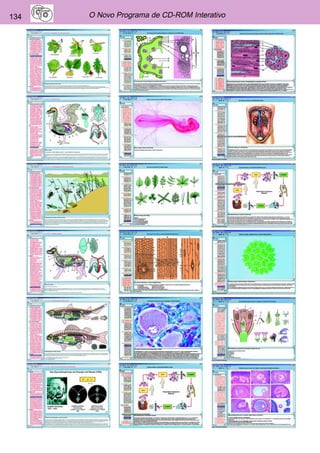 134 O Novo Programa de CD-ROM Interativo 
 