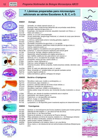 12 Programa Multimedial de Biología Microscópica ABCD MEDIEN 
SYSTEM 
7. Lâminas preparadas para microscópio 
adicionais as séries Escolares A, B, C, e D. 
850E01 Zoologia 
Pr422e Vorticella, um ciliado colonial comum, u.i. 
Pr440f Protozoa mista, muitas formas diferentes são encontradas nesta lâmina 
Po121d Spongilla, esponja de água doce, s.t. 
Po128c Euspongia, uma esponja comercial, esqueleto macerado com fibras, u.i. 
Co112f Hidra com bulbos u.i.* 
Co2193e Actinia, s.t. e s.l em uma preparação 
An124d Hirudo medicinalis, sangue-suga medicinal, s.t. através do corpo para demons-trar 
estruturas gerais 
An144e Lumbricus, extremidade anterior including gônadas, sagital s.l. 
An143c Lumbricus, clitelo s.t. 
Ro211e Plumatella, briozoários de agua doce, u.i. ou secção 
Cr120c Pequenos crustáceos, espécimes mistas de plâncton de água doce u.i. 
Ar111e Aranha, espécime jovem, u.i. 
Ar127e Aranha, sagital s.l. do abdôme com poro genital e ovário 
Mo1515e Caramujo, s.l. típica de pequeno espécime para estudo geral 
In119d Formica sp., formiga, cabeça e partes da boca u.i. 
In211b Melolontha, antena lamelada com órgãos sensoriais u.i. 
In215b Apis mellifica, abelha de mel, pata anterior com escova u.i. 
In255e Testículo, em s.t. de abdomen de zangão, Apis mellifica 
In311d Drosophila, mosca da fruta, macho adulto u.i. 
Pi160c Cyprinus, carpa, brânquias s.t. 
Pi162c Cyprinus, carpa esfregaço de sangue 
Pi175f Escamas de peixe lâmina composta, mostra escamas ciclóide, ctenóide e pla-cóide, 
u.i. 
Am234c Rana, rã, pele com glândulas da pele, s.l. vertical 
Am212c Rana, rã pulmão s.t., simples bolsa com grande cavidade central 
Re213c Lacerta, lagarto pulmão s.t. 
Av111c Gallus domesticus, galinha, esfregaço de sangue 
850E02 Bactéria e Criptógamas 
Ba161e Penicillium, bolor azul, micélio e conidiospóros, u.i. 
Ag117c Chroococcus, alga unicelular u.i. 
Ag174d Eudorina, colônias esféricas de trinta e duas células u.i. 
Fu131d Rhizopus, formação de zigosporos u.i. 
Fu161c Penicillium, bolor azul, micélio e conidiospóros, u.i. 
Fu227c Boletus edulis, fungo com poros, sec. horizontal. de píleo mostrando c.s. de po-ros 
Li104d Physcia, sec. através do apotécio mostrando asco e espóros 
Br112d Marchantia, com cúpula e gema, s.l. 
Br123d Polytrichum, s.l. de esporófito com espóros 
Br125e Mnium, musgo, s.l. de anterídeos 
Br126e Mnium, s.l. de arquegônio 
Pt113e Lycopodium, s.l. de esporófito jovem mostrando espóros em desenvolvimento 
850E03 Fanerógamas 
As133d Gordura, s.t. de endosperma de Corylus (aveleira) corada para mostrar gordura 
As134c Glândula de óleo lisigeno, s. t. de casca do fruto de Citrus 
As136d Ácido tânico, s.t. de casca de Rosa 
As146d Reserva de celulose, s.t. de semente de Phoenix (tâmara) 
As1491b Pêlos estrelados em forma de escama, isolados e u. i. de Elaeangus (oliveira) 
As149b Pêlos de folhas ramificadas, isolados de Verbascum (verbasco) 
As1525d Vasos anular e espiral, isolados e u.i. 
As202e Raízes herbáceas e de madeira, duas s.t. em uma lâmina 
As251d Alnus, mieiro, s. t. de nódulos de raiz com actinomicetes simbióticas (Streptomyces 
aini) 
Co2193e 
An124d 
An144e 
Ro211e 
Ar111e 
Ar127e 
In211b 
In255e 
Pi175f 
Am234c 
Am212c 
Ba161e 
Fu227c 
Li104d 
Br112d 
Br126e 
Pt113e 
As133d 
As134c 
As146d 
As149b 
As1525d 
 