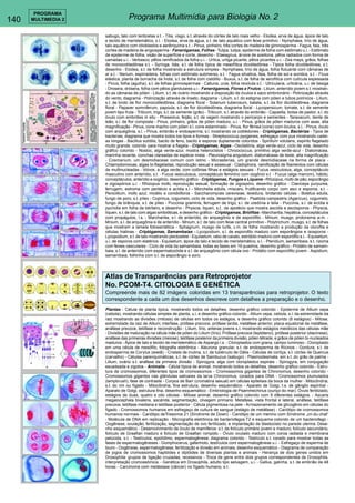 140 
PROGRAMA 
MULTIMEDIA 2 Programa Multimídia para Biologia No. 2 
sabugo, talo com lenticelas s.t. - Tilia, visgo, s.t. através do córtex de talo mais velho - Elodea, erva de água, ápice de talo 
e tecido de meristemático, s.l. - Elodea, erva de água, s.t. de talo aquático com feixe primitivo - Nymphaea, lírio de água, 
talo aquático com idioblastos e aerênquima s.t. - Pinus, pinheiro, três cortes de madeira de gimnosperma - Fagus, faia, três 
cortes de madeira de angiosperma - Fanerógamas, Folhas - Tulipa, tulipa, epiderme de folha com estômato u.i. - Estômato 
de epiderme de folha, visão de superfície e corte, desenho - Elaeagnus, árvore de azeitona, pêlos radiados com forma de 
camadas u.i. - Verbasco, pêlos ramificados da folha u.i. - Urtica, urtiga picante, pêlos picantes u.i. - Zea mays, grãos, folhas 
de monocotiledônea s.t. - Syringa, lilás, s.t. de folha típica de mesofítica dicotiledônea - Típica folha dicotiledônea, s.t. 
desenho - Elodea, s.t. de folha mostrando a estrutura simples - Nymphaea, lírio de água, folha flutuante com câmaras de 
ar s.t. - Nerium, espirradeira, folhas com estômato submerso, s.t. - Fagus silvatica, faia, folha de sol e sombra, s.t. - Ficus 
elástica, planta de borracha da Índia, s.t. de folha com cistólito - Buxus, s.t. de folha de xerofítica com cutícula espessada 
- Pinus, folha (agulha), s.t. de folhas gimnospermas - Calluna, urze, folha revoluta s.t. - Utricularia, urticária, u.i. de bexiga 
- Drosera, drósera, folha com pêlos glandulares u.i - Fanerógamos, Flores e Frutos - Lilium, anterídio jovem s.t. mostran-do 
as câmaras de pólen - Lilium, s.t. de ovário mostrando a disposição de óvulos e saco embrionário - Polinização através 
do vento, diagrama - Polinização através de inseto, diagrama - Lilium, s.l. do estigma com pólen e tubos polínicos - Lilium, 
s.t. de broto de flor monocotiledônea, diagrama floral - Solanum tuberosum, batata, s.t. da flor dicotiledônea, diagrama 
floral - Papaver somniferum, papoula, s.t. de flor dicotiledônea, diagrama floral - Lycopersicum, tomate, s.t. de semente 
jovem tipo fruta - Triticum, trigo, s.t. da semente (grão) - Triticum, s.l. através do embrião - Capsella, bolsa de pastor, s.l. do 
óvulo com embriões in situ - Phaseolus, feijão, s.t. de vagem mostrando o pericarpo e sementes - Taraxacum, dente de 
leão, s.l. de flor composta - Pinus, pinheiro, grãos de pólen maduro, u.i. - Pinus, grãos de pólen maduros com asas, alta 
magnificação - Pinus, cone macho com pólen s.l. cone estaminado - Pinus, flor fêmea (cone) com óvulos, s.l. - Pinus, óvulo 
com arquegônia, s.l. - Pinus, embrião e endosperma, s.l. mostrando os cotilédones - Criptógamas, Bactérias - Tipos de 
bacterias, diagrama que mostra todos los tipos e formas - Streptococcus pyogenes, esfregaço com pus mostrando cadei-as 
longas - Bacillus subtilis, bacilo de feno, bacilo e esporos duplamente coloridos - Spirillum volutans, espirilo flagelado 
muito grande, colorido para mostrar a flagela - Criptógamas, Algas - Oscilatória, alga verde-azul, ciclo de vida, desenho 
gráfico colorido - Nostoc, alga verde-azul, mostra heterocistos - Chroococcus, primitivo alga verde-azul - Diatomácea, 
marinha recente, conchas clareadas de espécie mista - Pleurosigma angulatum, diatomáceas de teste, alta magnificação 
- Cosmarium, um desmidiaceae comum com istmo - Micrasterias, um grande desmidiaceae na forma de placa - 
Chlamydomonas, algas bi-flageladas, reprodução sexual e assexual - Cladophora, ramificação de filamentos com células 
de multinucleadas - Volvox, a alga verde, com colônias filhas e estágios sexuais - Fucus vesiculosus, alga, conceptáculo 
masculino com anterídio, s.t. - Fucus vesiculosus, conceptáculo feminino com oogônio s.t. - Fucus (alga marrom), hábito, 
conceptáculos, anterídio e oogônio, desenho gráfico - Criptógamas, Fungos e Líquens - Rhizopus, mofo de pão, esporângio 
e zigospórios u.i. - Rhizopus mofo, reprodução sexual, formação de zigospóro, desenho gráfico - Claviceps purpurea, 
ferrugem, estroma com peritécio e acídia s.l - Morchella edulis, míscaro, frutificando corpo com asci e esporos, s.t. - 
Penicillium, mofo azul, micélio e conidióforos - Saccharomyces cerevisiae, levedura, brotando células - Boletus edulis, 
fungo de poro, s.t. píleo - Coprinus, cogumelo, ciclo de vida, desenho gráfico - Psalliota campestris (Agaricus), cogumelo, 
fungo de brânquia, s.t. de píleo - Puccinia graminis, ferrugem de trigo, s.l. de uredínia e telia - Puccinia, s.l. de ecídia e 
pycnidia em folha de bérbero, e desenho - Physcia, liquen, s.t.. de apotécio que mostra ascídia e ascósporos - Physcia, 
líquen, s.t. de talo com algas simbióticas, e desenho gráfico - Criptógamas, Briófitas - Marchantia, hepática, conceptáculos 
com propágulos, l.s. - Marchantia, s.l. de anterídio, de arquegônio e de esporófito - Mnium, musgo, protonema w.m. - 
Mnium, s.l. de arquegônia e de anterídio - Mnium, s.t. de talo com feixe central primitivo - Polytrichum, musgo, s.t. de folhas 
que mostram a lamela fotossintética - Sphagnum, musgo de turfa, c.m. de folha mostrando a produção da clorofila e 
células hialinas - Criptógamas, Samambaias - Lycopodium, s.l. de esporofilo maduro com esporângios e isosporos - 
Lycopodium, s.t. de talo mostrando plectostele - Equisetum, rabo de cavalo, estróbilo maduro com esporófilo s.l. - Equisetum, 
u.i. de esporos com elatérios - Equisetum, ápice de talo e tecido de meristemático, s.l. - Pteridium, samambaia, s.t. rizoma 
com feixes vasculares - Ciclo de vida da samambaia, todas as fases em 19 quadros, desenho gráfico - Protálio de samam-baia, 
s.l. de anterídio com espermatozóide e s.l. de arquegônio com célula ovo - Protálio com esporófito jovem - Aspidium, 
samambaia, folhinha com s.l. de esporângio e soro. 
Atlas de Transparências para Retroprojetor 
No. PCOM-T4. CITOLOGIA E GENÉTICA 
Compreende mais de 82 imágens coloridas em 13 transparências para retroprojetor. O texto 
correspondente a cada um dos desenhos descreve com detalhes a preparação e o desenho. 
Plantas - Célula de planta típica, mostrando todos os detalhes, desenho gráfico colorido - Epiderme de Allium cepa 
(cebola), mostrando células simples de planta, u.i. e desenho gráfico colorido - Allium cepa, cebola, s.l. da extremidade da 
raiz mostrando as divisões (mitosis) de células em todos os estágios, e desenho gráfico colorido (8 estágios) - Mitose, 
extremidade da raiz de Allium; interfase, prófase precoce, prófase tardia, metáfase anterior, placa equatorial da metáfase, 
anáfase precoce, telófase e reconstrução - Lilium, lírio, anteras jovens s.t. mostrando estágios meióticos das células mãe 
- Divisões de maturação na célula mãe de pólen do Lilium (lírio). Prófase precoce (leptóteno), prófase posterior (diacinese), 
anáfase das primeiras divisões (meiose), telófase posterior da primeira divisão, pólen tétrade, e grãos de pólen bi-nucleados 
maduros - Ápice de talo e tecido de meristemático de Aspargo l.s. - Cloroplastos com grana, campo luminoso - Cloroplasto 
em uma célula de mesófilo, fotografia eletrônica - Aleurona granular, s.t. de endosperma de Rícinos - Gordura, s.t. de 
endosperma de Corylus (avelã) - Cristais de Inulina, s.t. de tubérculo de Dália - Células de cortiça, s.t. córtex de Quercus 
(carvalho) - Células parenquimáticas, s.t. de córtex de Sambucus (sabugo) - Plasmodesmata, em s.t. do grão de palma - 
Lilium, ovário s.t. anáfase da primeira divisão - Spirogyra, alga com cloroplastos espirais - Spirogyra, em conjugação 
escadeada e zigotos - Animalia - Célula típica de animal, mostrando todos os detalhes, desenho gráfico colorido - Estru-tura 
de cromossomos, diferentes tipos de cromossomos - Cromossomos gigantes de Chironomus, desenho colorido - 
Cromossomos gigantes nas glândulas salivares da larva Chironomus, corados para DNA - Cromossomos plumulados 
(lampbrush), fase de contraste - Corpos de Barr (cromatina sexual) em células epiteliais da boca da mulher - Mitocôndria, 
s.t. do rim ou fígado - Mitocôndria, fina estrutura, desenho esquemático - Aparato de Golgi, t.s. de gânglio espinhal - 
Aparato de Golgi, estrutura fina, desenho esquemático - Embriologia de Psammechinus (ouriço do mar). Óvulo fertilizado, 
estágios de duas, quatro e oito células - Mitose animal, desenho gráfico colorido com 9 diferentes estágios. - Ascaris 
megalocephala bivalens, ascáride, segmentação, clivagem primario. Metafase, vista frontal e lateral, anáfase, telófase 
precoce, telófase mediana e telófase posterior - Célula pigmentosa na pele - Armazenamento de glicogênio em células do 
fígado - Cromossomos humanos em esfregaço de cultura de sangue (estágio de metáfase) - Cariótipo de cromossomos 
humanos normais - Cariótipo deTrissomia 21 (Síndrome de Down) - Cariótipo de um menino com Síndrome „cri-du-chat“ 
- Molécula de DNA em replicação - Micrografía eletrônica de bacteriofagos T2 e esquema colorido de um bacteriofago - 
Oogênese, ovulação, fertilização, segmentação de ovo fertilizado, e implantação de blastocisto no parede uterina. Dese-nho 
esquemático - Desenvolvimento de óvulo de mamíferos: s.t. de folículo primário jovem e maduro, folículo secundário, 
folículo de Graafian maduro e folículo de Graafian rompido - Óvulo ovulado maduro com coroa radiada e membrana 
pelúcida, s.t. - Testículos, epidídimo, espermatogênese; diagrama colorido - Testículo s.t. corado para mostrar todas as 
fases de espermatogêneses - Gomphocerus, gafanhoto, testículos com espermatogênese u.i. - Esfregaço de esperma de 
touro - Oogênese, espermatogênese, fertilização e divisão em animais, desenho esquemático - Diagrama de comparação 
de jogos de cromossomos haplóides e diplóides de diversas plantas e animais - Herança de dois genes unidos em 
Drosophila: grupos de ligação cruzadas, recessivos - Troca de gene entre dois grupos correspondentes de Drosophila, 
interpretação cromossômica. - Genética em Drosophila, adulto tipo selvagem, u.i. - Gallus, galinha, s.t. de embrião de 48 
horas - Carcinoma com metástase (câncer) no fígado humano, s.t. 
 