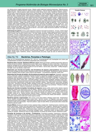 161 
PROGRAMA 
Programa Multimídia de Biologia Microscópica No. 3 MULTIMEDIA 3 
nal, células animal e vegetal claramente visíveis - Blástula, seção longitudinal mostrando blastocoela - Gástrula precoce, 
seção longitudinal, mostrando blatocola, intestino primitivo, blastoporo - Gástrula adiantada, seção longitudinal, mostrando 
ligação de gema - Nêurula precoce, seção transversal mostra lâmina neural, corda, mesoderme ,intestino primitivo - 
Neurula média, volutas neurais ficam mais próximas, unidade integral - Neurula adiantada, volutas neurais quase fechadas, 
unidade integral - Neurula adiantada, seção transversal mostra tubo neural, unidade integral - Estágio precoce da cauda, 
fenda dos olhos e expansão óptica, vista de pequena ampliação, unidade integral - Estágio médio da cauda, primórdios 
das guelras - Estágio embrionário da cauda, seção transversal mostra somatopleura e esplancnopleura - Estágio embrionário 
da cauda, seção longitudinal sagital, com cérebro, tubo neural, notocorda, trato digestivo, coração - Estágio embrionário 
da cauda, seção longitudinal parasagital, mostra segmentos primitivos - Estágio Hatching do embrião, seção transversal 
da cabeça mostrando cérebro e olhos - Estágio Hatching do embrião, seção transversal do coração mostrando endocárdio, 
miocárdio e pericárdio - Estágio Hatching do embrião, seção transversal da região do abdomên - Larva recentemente 
incubada, seção longitudinal sagital, com cérebro, tubo neural, notocorda, trato digestivo, coração, sucção oral - Larva 
recentemente incubada, seção longitudinal parasagital, mostrando pronefos primordiais, duto de Wolff - Girino jovem, 
seção transversal da cabeça. Cérebro, olhos e fenda oral - Girino jovem, seção transversal da região das guelras, com 
guelra, coração, medula oblongada, primórdios do labirinto - Girino jovem, seção transversal do abdômen, com estômago, 
intestino, fígado, mesonefros e nefrostomas 
Embriologia da galinha: 6 horas, seção longitudinal mostrando a formação do entoderme - 18 horas, unidade integral 
mostrando sulco primitivo, nódulo primitivo e primórdio da notocorda - 24 horas, unidade integral mostrando sulco primitivo, 
nódulo primitivo, sete somitos e lâmina neural - 24 horas, seção transversal, mostrando lâmina neural, notocorda e 
mesoderma - 28 horas, unidade integral dez somitos, primórdios de coração e olhos, notocorda - 36 horas, seção transver-sal 
da região posterior do abdomên mostra fenda neural, notocorda e mesoderma - 36 horas, seção transversal da região 
anterior do abdômen mostra tubo neural, notocorda, mesoderme formando miotoma e esplancnotoma - 36 horas, seção 
transversal da região do coração mostra primórdios do coração com miocárdio e endocárdio - 40 horas, unidade integral, 
quinze somitos, coração, primórdios do cérebro - 45 horas, seção longitudinal, mostra nódulo primitivo, formação de 
mesoderma e somitos, coração e cérebro - 48 horas, seção transversal, abdômen, miotoma, nefrotoma e esplancnotoma 
- 50 horas, unidade integral mostra coração, primórdios de coração e olhos, vesículas auditivas e cavidade oral - 3 dias, 
unidade integral sistema vascular sangüíneo injetado: Coração, vasos da guelra, aorta, sistema venoso, vasos 
estraembriônicos - 3 dias, seção transversal da região posterior do abdomên, mostrando cavidades celômicas, nefrotoma, 
duto de Wolff, dobras amnióticas - 3 dias, seção transversal da região da cabeça. Primórdios do cérebro e olhos, arcos 
branquiais com vasos - 4 dias, seção transversal da região anterior do abdômen, pronefros, duto de Wolff - 4 dias, seção 
transversal da região do coração, primórdio de asas e vértebras - 5 dias, unidade integral mostrando a formação da 
cabeça, grandes olhos, início dos membros, arcos branquiais, alantóides - 8 dias, seção longitudinal com primórdio de 
órgãos, coração, fígado, metanefros, cérebro - Desenvolvimento das penas, seção das asas em diferentes fases de 
desenvolvimento 
Atlas No. TG Bactérias, Parasitas e Patologia 
Atlas de 32 transparências tamanho 22 x 28 cm, compreendendo 223 ilustrações em cores que 
complementam as séries G de lâminas preparadas para microscópio 
Bactérias úteis e nocivas - Bactérias esféricas, cocos: Nisseria gonorhoeae, causadora da gonorréia, diplococos 
corados com azul de metileno - Staphylococcus aureus, órgão do pus, esfregaço de cultura, corado Gram - Streptococcus 
pyogenes, esfregaço de pus mostrando gendes cadeias, corado Gram - Streptococcus lactis, organismos do soro do leite, 
esfregaço de cultura mostrando cadeias coradas com azul de metileno - Sarcina lutea, corada Gram - Graffkya tetragena, 
meningite, ocorre nas tétrades, corado Gram 
Bastonetes (em formato de bastão), não formadores de esporos, gram-positivos: Mycobacterium 
tuberculosis, esfregaço de catarro positivo, duplamente corado conforme Ziehl-Neelsen - Mycobacterium leprae, causadora 
da lepra, esfregaço direto da lesão, corado conforme Ziehl-Neelsen - Corynebacterium diphteriae, corado Gram 
Bastonetes (em formato de bastão), não formadores de esporors, gram-negativos: Azotobacter, organismos 
do solo, corado Gram - Bacterium prodigiosum (Serratia marcescens), organismos cromogênicos, corados Gram - Aerobacter 
aerogenes, bactéria intestinal, corada Gram - Proteus vulgaris, causadora da putrefação, esfregaço de cultura Gram - 
Acetobacter aceti, fabricação de vinagre, corada Gram - Escherichia coli, bacilo do cólon, corado Gram - Eberthella typhi, 
causador de febre tifóide, corado Gram - Samonella paratyphi, causador da febre paratifóide, esfregaço corado Gram - 
Salmonella enteritidis, causa envenenamento das carnes, esfregaço corado Gram - Klebsiella pneumoniae (B. friedladen), 
causa pneumonia, especialmente corado para mostrar bactérias e cápsula - Pateurella pestis, causa peste, esfregaço 
corado Gram - Hemophilus influenzae, (Pfeiffer), esfregaço corado Gram - Rhizobium radicicola, organismos fixadores de 
nitrôgenio, seção transversal, de nódulos de raiz de tremoço com bactérias no local (simbiose) - Rhizobium radiciola, 
esfregaço corado Gram - Bacterium erysipelatos, causa erisipela, corado Gram 
Bacilos (em formato de bastão), formadores de esporos: Bacillus subtilis, bacilo do feno, bacilos e esporos 
duplamente corados com carbufucsina e azul de metileno - Bacillus mycoides, organismos muito presentes no solo em 
grandes cadeias, corado metacromaticamente com violeta genciana para particulas internas - Bacillus mesentericus, 
esfregaço corado Gram - Bacillus anthracis, causa doença nas pessoas que classificam lã, esfregaço direto do baço 
infectado, corante de Olt - Bacillus anthracis, esporos corados - Clostridium septicum, esporos corados - Clostridium 
tetani, causa trismo, corado especialmente para mostrar os esporos terminais pelo método Ziehl-Neelsen - Clostridium 
perfringens, especialmente corado para mostrar esporos centrais 
Bactérias espirais e espiroquetas: Vibrio comma, causa cólera asiática, esfregaço corado Gram - Rhodospirillum 
rubrum, bastões cromogênicos, esfregaço corado Gram - Spirillum volutans, um flagelado muito grande, corado 
especialmente para mostrar os flagelos - Spirochaeta duttoni (Borella recurrentis), causa febre recidivante africana, esfregaço 
de sangue corado para espiroquetas - Treponema pallidum, seção de lesão sifilítica, as espiroquetas estão coradas pelo 
método da prata de Levaditi 
Grupos Mistos: Bactérias do intestino humano, espécies mistas, coradas Gram - Bactérias da boca, mostrando cocos, 
bacilos, espiroquetas. Corados Gram para organismos Gram positivos e Gram negativos - Bactérias da boca, mostrando 
cocos, bacilos e espiroquetas, desenho gráfico em cores - Bactérias do pão, coradas com azul de metileno - Bactérias do 
iogurte, coradas com carbolfucsina - Streptomyces griseus, organismos ramificados (estreptomicina), esfregaço corado 
Gram - Actinomyces, causa caroços na mandíbula, esfregaço corado - Sphaerotilus natans, de águas podres, longas 
cadeias em camadas - Bactérias da cárie em seção longitudinal, da doença dos dentes humanos, duplamente corada 
Parasitas de humanos e de animais - Protozoários: Protozoários parasitas: Trypanosoma, Leishmania, 
Toxoplasma, Giardia lamblia, Trichomonas, Balantidium. Plasmodium vivax, Plasmodium falciparum, Bebesia, Entamoeba 
histolytica, E. coli - (IFAT - Teste de Anticorpos Fluorescentes Indireto) Isotiocianato fluorescente, reação negativa - (IFAT 
- Teste de Anticorpos Fluorescentes Indireto) Isotiocianato fluorescente, reação positiva - Trypanosoma brucei gambiense, 
corado Giemsa - Trypanosomas não patogênicos, corados Giemsa - Trypanosoma cruzi, ciclo de vida, doença de Chagas 
- Trypanosoma cruzi, doença de Chagas, esfregaço de sangue, corado Giemsa - Trypanosoma cruzi, doença de Chagas, 
seção longitudinal de músculo cardíaco com amatigotos - Rhodnius prolixus, barbeiro, vetor da doença de Chagas - 
Leishmania, ciclo de vida - Leishmania tropica, úlcera oriental - Leishmania donovani, Kala Azar em esfregaço de baço, 
corado Giemsa - Leishmania donovani, Kala Azar em seção de baço - Trichomonas vaginalis, corado Giemsa - Giardia 
lamblia (Lamblia intestinalis), Trophzoite, hematoxilina de ferro - Giardia lamblia (Lamblia intestinalis), quisto, hematoxilina 
de ferro - Sarcocystis tenella, seção de tecido de músculo infetado mostrando os parasitas nos tubos de Miescher - 
Entamoeba histolytica, ciclo de vida - Entamoeba histolytica, trofozoites, hematoxilina de ferro - Entamoeba histolytica, 
quisto com 4 núcleos, hematoxilina de ferro - Entamoeba histolytica, seção de intestino infetado mostrando os parasitas - 
Entamoeba coli, trifozoite, hematoxilina de ferro - Entamoeba coli, quisto com 8 núcleos, hematoxilina de ferro 
 