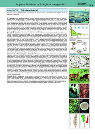 163 
PROGRAMA 
Programa Multimídia de Biologia Microscópica No. 3 MULTIMEDIA 3 
Atlas No. TH Ciência Ambiental 
Incluindo mais de 95 ilustrações coloridas em 15 transparências. - Compatível com a Série H de 72 
Lâminas Preparadas 
A Floresta: Árvores saudáveis (fotografia colorida) - Marcas distintas em árvores danificadas (fotografia colorida) - 
Pinheiro (Pinus), folhas saudáveis, s.t. - Pinheiro (Pinus) folhas danificadas por chuva ácida, s.t. - Abeto (Abies), folhas 
saudáveis, s.t. - Faia (Fagus), folhas saudáveis s.t. - Faia (Fagus), s.t. de folhas com epiderme e cloroplasto destruídos - 
Rhytisma acerinum, mancha de alcatrão do bordo, conseqüência do cultivo de um produto único - queda precoce de 
folhas, causada por sal de degelo, base da folha com cicatriz s.l - Líquen saudável, indicador de ar puro - Líquen danificado 
pela poluição do ar - Pinus, seção transversal de madeira normal - Madeira destruída por fungos - Nódulos de Raiz de 
Alnus, com bactérias simbiônticas - Madeira com anéis anuais estreitos, anômalos causados pela seca, s.t. - Anéis Anuais, 
s.t. de caule de carvalho - Córtex com galerias larvais de besouro de abeto vermelho. Padrão de gravação - Cecídios 
causados por vespa em rosa-de-cão (silvão) - Cecídio com formato de abacaxi no abeto vermelho, causado por piolhos - 
Proteção Integrada de Planta: Método oscilante - Proteção Integrada de Planta: Armadilha de Feromônio - Efeito de filtro 
da floresta, gráfico - As florestas como absorvedores de som, gráfico - 
Poluição da Água: Grau I: zona de água pura de um riacho montanhês (zona oligossapróbia). Purificação e Oxigenação 
natural - Bioindicatores (organismos) de grau I (zona oligossapróbia) - Diatomáceas, espécies mistas de água pouco 
poluída - Cladophora, alga verde com filamentos se ramificando em água moderadamente poluída - Grau II: água de 
superfície moderadamente poluída (zona beta-mesossapróbia) - Bioindicatores (organismos) de grau II = zona 
moderadamente poluída (zona beta-mesossapróbia) - Anabaena, algas azul-esverdeadas, em água eutrófica - Spirogyra, 
alga verde filamentosa em água rica em nutrientes - Grau III: água de superfície criticamente poluída (zona alfa-mesossaprófica) 
- Bioindicatores (organismos) de grau III = zona altamente poluída (zona alfa-mesossapróbia) - Água 
extremamente poluída (grau IV, zona polissapróbia) de um oásis - Grau IV: água de superfície extremamente poluída 
(zona polissapróbia) - Bioindicatores (organismos) de grau IV = zona extremamente poluída (zona polissapróbia) - Recipientes 
para lama secundária em grandes estações de tratamento esgoto (Detroit, E.U.A.) - Euglena, flagelado verde comum, 
ocorrendo em águas eutróficas paradas - Rotíferos (Rotatoria), animais pequenos de água pútrida - Wasserbluthe 
(Microcystis), alga azul-esverdeada „florescendo“ em água parada - Carchesium, ciliado com formato de sino em água 
moderadamente poluída - Bactérias Putrefativas (Spirillum) de lama pobre em oxigênio - Bactérias Intestinais (Escherichia 
coli) de água pútrida - Bactérias putrefativas (Sphaerotilus), formando longas cadeias com envolturas - Mofo de água 
(Saprolegnia), prejudicial a plantas e animais, zoosporângio com formato de fuso - Mofo de água (Saprolegnia), celulas-ovo 
(oosferas) - Pele de peixe ferida por substâncias químicas, s.t. - 
Vida no Solo e Aspectos para a Agricultura: Bactérias do solo (Bacillus megatherium), esfregaço - Bacillus 
mycoides, organismos grandes do solo crescendo em cadeias - Azotobacter, organismos acidófilos do solo, solução de 
metais pesados - Raiz de faia com micorrizo de ectotróficos (fungos de raiz), s.t. - Raiz de tremoceiro com bactérias 
simbiônticas fixadoras de nitrogênio - Cogumelo (champignon), explicação geral. - Raiz de salgueiro (Salix), plantação que 
protege contra erosão - Minhoca (Lumbricus) s.t., causando a melhoria do solo - Ácaro do solo de florestas, c.m. - Nervação 
de folha de urtiga, parte de folha decídua apodrecida - Erosão causada por desmatamento - Precipício Ativo - Progressão 
de declive de despenhadeiros - Redução da doença da batata (vários vírus) - Synchytrium endobioticum, batata de casca 
preta, s.t. tecido infetado com estágios reprodutivos - Alforra de trigo (Tilletia tritici), basidiomiceto - Ferrugem do Feijão 
(Uromyces appendiculatus), basidiomiceto - Ferrugem no centeio (Claviceps purpurea), ascomiceto - Claviceps purpurea, 
ferrugem, s.l. de estroma com peritécio e asci - Casca de fruta (Venturia inaequalis resp. pirina), ascomiceto - Venturia 
pirinum (Fusicladium), casca de pera, s.t. de folha com conidio - Plasmopara viticola, mofo felpudo de uvas, folha infetada 
com conidióforo e conidio - Podosphaera leucotricha, mofo de maçã, folha com conidio s.t. - Botrytis allii, mofo cinzento de 
cebola, s.t. de tecido infetado - Fungo, uma planta heterotrófica, gráfico - Broca do milho Europeu (Ostrinia = Pyrausta 
nubilalis), Pyraustinae - Lagarta de Pieris brassicae, Pieridae - Proteção de planta, medidas biológicas: Besouro de ladybird 
contra afídeos - Afídeo de grão (Sitobium granarium), Aphidae - Mofo Pulverulento de grão (Erysiphe graminis), ascomiceto 
- Penicillium, molfo azul, micélio e conidióforos com formato de escova - Controle biológico da peste, pestes e seus 
inimigos naturais, seleção - 
Poluição do ar e Alérgenos: Grãos de pólen de diferentes tipos de plantas (angiospermas) - Grãos de pólen de 
pinheiro, Pinus (Gimnospermas) - Poeira residencial misturada - Pó de madeira- Pó de amianto (cancerígeno) - Pó de 
talco - Cristais de sabão em pó - Fibras de Poliamida - Fibra sintética - Ácaro de pó de uma sala de estar - Membrana 
Mucosa do nariz humano, s.t. - Pulmão humano saudável, s.t. - Pulmão Humano prejudicado por partículas de pó, s.t. - 
Efeito da fumaça em humanos (gráfico) - Mortalidade por câncer pulmonar em fumantes e não fumantes (gráfico) - 
Importância da camada de ozônio (diagrama) - Sensibilidade à radiação (tabela). Influências Mutagênicas - 
 
