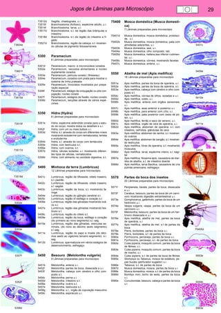 Jogos de Lâminas para Microscópio 29 
73604e 
73601f 
73615d 
73515f 
73517d 
73518d 
5302e 
5303e 
5307f 
5352f 
5358d 
5401c 
5409e 
5410e 
5411e 
5453f 
5459c 
75407c 
75405d 
5553e 
5559b 
5563e 
73512d Sagitta, chaetognata, u.i. 
73515f Branchiostoma (Anfioxo), espécime adulto, u.i. 
73514f Branchiostoma, larva, u.i. 
73517d Branchiostoma, s.t. da região das brânquias e 
intestino 
73518d Branchiostoma, s.t. da região do intestino e fí-gado 
73521d Branchiostoma, região da cabeça, s.t. mostran-do 
células de pigmento fotossensíveis 
5300 Paramecium 
8 Lâminas preparadas para microscópio 
5301d Paramecium, macro- e micronúcleos corados 
5302e Paramecium, vacúolos alimentares e núcleo 
duplamente corados 
5303e Paramecium, película corada ( Bresslau) 
5304e Paramecium, corados com prata para mostrar o 
sistema de linha prateada 
5305e Paramecium, tricocistos mostrados por prepa-ração 
especial 
5306f Paramecium, estágio de conjugação ou pós con-jugação, 
núcleo corado 
5307f Paramecium, estágios de fissão, núcleo corado 
5308d Paramecium, secções através de vários espé-cimes. 
5350 Hidra (Hydra) 
8 Lâminas preparadas para microscópio 
5351e Hidra, espécime extendida corada para o estu-do 
do corpo, mostra todos os detalhes e u.i. 
5352f Hidra, com um ou mais bulbos u.i. 
5353d Hidra, s.t. através do corpo em diferentes níveis 
mostrando ectoderme com nematocistos, lamela 
e endoderme 
5354d Hidra, s.l. através do corpo com tentáculos 
5355e Hidra, com testículos s.t. 
5356e Hidra, com ovários, s.t. 
5357d Hidra, células isoladas, u.i. mostrando diferen-tes 
tipos de células, nematocistos 
5358d Hidra, com alimento na cavidade digestiva, s.t. 
5400 Minhoca da terra (Lumbricus) 
12 Lâminas preparadas para microscópio 
5401c Lumbricus, região de tiflossole, clitelo traseiro, 
s.t. padrão 
5402c Lumbricus, região de tiflossole, clitelo traseiro, 
s.l. sagital 
5403c Lumbricus, região da boca, s.t. mostrando fa-ringe 
5404e Lumbricus, região do glânglio cerebral s.t. 
5405c Lumbricus, região of esôfago e coração s.t. 
5406e Lumbricus, região das gônadas mostrando ová-rio 
s.t. 
5407e Lumbricus, região das gônadas mostrando tes-tículo 
s.t. 
5408c Lumbricus, região do clitelo s.t. 
5409e Lumbricus, região da boca, esôfago e coração 
(do primeiro ao nono segmento) s.l. sag. 
5410e Lumbricus, região das gônadas, vesículas se-minais, 
(do nono ao décimo sexto segmento) 
s.l.sag. 
5411e Lumbricus, região do papo e moela (do déci-mos 
sexto ao vigézimo terceiro segmento) s.l. 
sag. 
5412d Lumbricus, spermatozoa em vários estágios de 
desenvolvimento, esfregaço 
5450 Besouro (Melolontha vulgaris) 
9 Lâminas preparadas para microscópio 
5451b Melolontha, antena u.i. 
5452f Melolontha, partes da boca, dissecada e u.i. 
5453f Melolontha, cabeça com cérebro e olho com-posto 
s.t. 
5454c Melolontha, perna u.i. 
5455d Melolontha, intestino s.t. 
5456e Melolontha, ovário s.t. 
5457e Melolontha, testículos s.t. 
5458g Melolontha, u.i., orgão de copulação masculino 
5459c Melolontha, espiráculo u.i. 
75400 Mosca doméstica (Musca domesti-ca) 
7 Lâminas preparadas para microscópio 
75401d Musca domestica, mosca doméstica, probósci-de, 
u.i. 
75402b Musca domestica, mosca doméstica, pata com 
almofadas aderentes, u.i 
75403b Musca domestica, asa, u.i. 
75404e Musca domestica, olho composto, rad. 
75405d Musca domestica, haltera,asa inferior rudimen-tar, 
u.i. 
75406c Musca domestica, córnea, mostrando facetas 
75407c Musca domestica, antena, u.i. 
5550 Abelha de mel (Apis mellifica) 
18 Lâminas preparadas para microscópio 
5551e Apis mellifica, partes da boca de operária, u.i. 
5552e Apis mellifica, partes da boca de operária, s.t. 
5553e Apis mellifica, cabeça com cérebro e olho com-posto 
s.t. 
5554c Apis mellifica, córnea de olhos, isoladas e u.i. 
5555d Apis mellifica, ocelo, u.i. 
5556b Apis mellifica, antena com órgãos sensoriais, 
u.i. 
5557c Apis mellifica, asas anterior e posterior u.i. 
5558b Apis mellifica, para anterior com cílio, u.i. 
5559b Apis mellifica, pata posterior com cesto de pó-len, 
u.i. 
5560d Apis mellifica, ferrão e saco de veneno, u.i. 
5561c Apis mellifica, orgão de cera de operária, u.i. 
5562d Apis mellifica, abdomen de operária, s.t. com 
intestino, nefrídios, glândulas de cera 
5563e Apis mellifica, abdomen de rainha, s.t. mostran-do 
ovários 
5564e Apis mellifica, abdomen de zangão, s.t. mostran-do 
testículos 
5565e Apis mellifica, tórax de operária, s.t. mostrando 
músculos 
5566d Apis mellifica, larva, espécime inteiro, s.l. sagi-tal 
5567e Apis mellifica, Nosema apis, causadora de diar-réia 
de abelha, s.t. de intestino doente 
5568d Apis mellifica, larva Bacillus, causadora de cria 
pútrida ameircana, esfregaço 
5570 Partes da boca dos insetos 
20 Lâminas preparadas para microscópio 
5571f Periplaneta, barata, partes da boca, dissecada 
e u.i. 
5572f Carabus, besouro, partes da boca de um carní-voro 
mostrando digestão extraintestinal u.i. 
5573e Gomphocerus, gafanhoto, partes da boca de um 
herbívoro u.i. 
5574e Vespa vulgaris, vespa, partes da boca de um 
carnívoro u.i. 
5575f Melolontha, besouro, partes da boca de um her-bívoro 
dissecada e u.i. 
5576e Apis mellifica, abelha de mel, partes da boca 
de operária, u.i. 
5577e Apis mellifica, abelha de mel, s.t de partes da 
boca 
5578e Pieris, borboleta, partes da boca u.i. 
5579e Pieris, borboleta, s.t. de partes da boca 
5580e Pyrrhocoris, percevejo, partes da boca u.i. 
5581e Pyrrhocoris, percevejo, s.t. de partes da boca 
5582e Culex pipiens, mosquito comum, partes da boca 
de fêmea, u.i. 
5583e Culex pipiens, mosquito comum, partes da boca 
de macho, u.i. 
5584e Culex pipiens, s.t. de partes da boca de fêmea 
5585e Stomoxys ou Tabanus, mosca de estábulo, pe-ças 
bucais (perfurador-sugador) u.i. 
5586e Tabanus, s.t. de partes da boca 
5587d Musca domestica, mosca, partes da boca u.i. 
5588e Musca domestica, mosca, s.t. de partes da boca 
5589d Bombyx mori, bicho da seda, partes da boca 
u.i. 
5590e Curculionidae, besouro, cabeça e partes da boca 
u.i. 
 