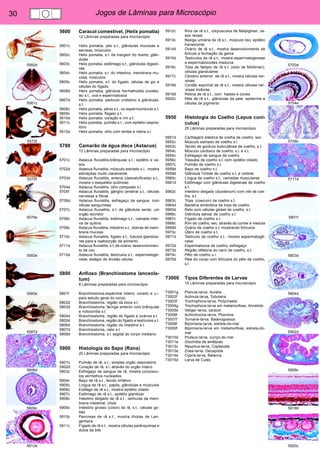 30 Jogos de Lâminas para Microscópio 
5560d 
5561c 
5572f 
5575f 
5578e 
5583e 
5585e 
5587d 
5606d 
5609c 
5612e 
5703d 
5704e 
5709c 
5711d 
5801f 
5803d 
5804d 
5902d 
5909c 
5919d 
5920c 
5600 Caracol comestível, (Helix pomatia) 
12 Lâminas preparadas para microscópio 
5601c Helix pomatia, pés s.t., glândulas mucosas e 
serosas, músculos 
5602c Helix pomatia, s.t. da margem do manto, glân-dulas 
5603c Helix pomatia, estômago s.t., glândulas digesti-vas 
5604c Helix pomatia, s.t. do intestino, membrana mu-cosa, 
músculos 
5605c Helix pomatia, s.t. do fígado, células de giz e 
células do fígado. 
5606d Helix pomatia, glândula hermafrodita (ovotes-te) 
s.t., ova e espermatozoa 
5607d Helix pomatia, pediculo cristalino e glândulas, 
s.t. 
5608c Helix pomatia, pênis s.t., ou espermoviducto s.t. 
5609c Helix pomatia, flagelo s.t. 
5610d Helix pomatia, coração e rim s.t. 
5611c Helix pomatia, pulmão s.t., com epitélio respira-tório 
5612e Helix pomatia, olho com lentes e retina s.l. 
5700 Camarão de água doce (Astacus) 
12 Lâminas preparadas para microscópio 
5701c Astacus fluviatilis,brânquias s.t., epitélio e va-sos 
5702d Astacus fluviatilis, músculo estriado s.l., mostra 
estriações muito claramente 
5703d Astacus fluviatilis, antena (descalcificada) s.t., 
mostra o esqueleto quitinoso 
5704e Astacus fluviatilis, olho composto s.l. 
5705f Astacus fluviatilis, gânglio cerebral s.t., células 
nervosas e fibras 
5706d Astacus fluviatilis, esfregaço de sangue, com 
céluas sanguíneas 
5707c Astacus fluviatilis, s.t. de glândula verde, um 
orgão excretor 
5708c Astacus fluviatilis, estômago s.t., camada inter-na 
de quitina 
5709c Astacus fluviatilis, intestino s.t., dobras de mem-brana 
mucosa 
5710c Astacus fluviatilis, fígado s.t., túbulos glandula-res 
para a reabsorção de alimento 
5711d Astacus fluviatilis, s.t. de ovário, desenvolvimen-to 
de ovo 
5712e Astacus fluviatilis, testículos s.t., espermatoge-nese, 
estágio de divisão celular 
5800 Anfíoxo (Branchiostoma lanceola-tum) 
8 Lâminas preparadas para microscópio 
5801f Branchiostoma,espécime inteiro, corado e u.i. 
para estudo geral do corpo 
5802d Branchiostoma, região da boca s.t. 
5803d Branchiostoma, faringe anterior com brânquias 
e notocórdia s.t. 
5804d Branchiostoma, região do fígado e ovários s.t. 
5805d Branchiostoma, região do fígado e testículos s.t. 
5806d Branchiostoma, região do intestino s.t. 
5807d Branchiostoma, rabo s.t. 
5808d Branchiostoma, s.l. sagital do corpo mediano 
5900 Histologia do Sapo (Rana) 
20 Lâminas preparadas para microscópio 
5901c Pulmão de rã, s.t., simples orgão respiratório 
5902d Coração de rã, s.l. através do orgão inteiro 
5903c Esfregaço de sangue de rã, mostra corpúscu-los 
vermelhos nucleados 
5904c Baço de rã s.t., tecido linfático 
5905c Língua de rã s.t., papila, glândulas e músculos 
5906c Esôfago de rã s.t., mostra epitélio ciliado 
5907c Estômago de rã s.t., epitélio glandular 
5908c Intestino delgado de rã s.t., ranhuras da mem-brana 
intestinal, chyle 
5909c Intestino grosso (colon) de rã, s.t., células go-blet 
5910c Pancreas de rã s.t., mostra ilhotas de Lan-gerhans 
5911c Fígado de rã s.t., mostra células parênquimas e 
dutos da bile 
5912c Rins de rã s.t., córpusculos de Malpighian, va-sos 
renais 
5913c Bexiga urinária de rã s.t., músculo liso, epitélio 
transicional 
5914d Ovário de rã s.t., mostra desenvolvimento de 
folículo e formação da gema 
5915d Testículos de rã s.t., mostra espermatogenese 
e espermatozoides maduros 
5916c Tuba de falópio de rã s.t. (duto de Müllerian), 
células glandulares 
5917c Cérebro anterior de rã s.t., mostra células ner-vosas 
5918d Cordão espinhal de rã s.t., mostra células ner-vosas 
motoras 
5919d Retina de rã s.t., com hastes e cones 
5920c Pele de rã s.t., glândulas da pele, epiderme e 
células de pigmento 
5950 Histologia do Coelho (Lepus cuni-culus) 
25 Lâminas preparadas para microscópio 
5951d Cartilagem elástica de orelha de coelho, sec. 
5952c Músculo estriado de coelho s.l. 
5953c Tecido de gordura bubcutânea de coelho, s.t. 
5954c Músculo cardíaco de coelho, s.l. e s.t. 
5955c Esfregaço de sangue de coelho 
5956c Traquéia de coelho s.t. com epitélio ciliado 
5957c Pulmão de coelho s.t. 
5958d Baço de coelho s.t. 
5959d Glândula Tiróide de coelho s.t. e colóide 
5960c Língua de coelho s.t., camadas musculares 
5961d Estômago com glândulas digestivas de coelho 
s.t. 
5962c Intestino delgado (duodenum) com vile de coe-lho, 
s.t. 
5963c Tripa (coecum) de coelho s.t. 
5964d Bactéria simbiótica de tripa de coelho 
5965d Reto com células globet de coelho, s.t. 
5966c Glândula salivar de coelho s.t. 
5967c Fígado de coelho s.t. 
5968c Rim de coelho, sec. através do cortex e medula 
5969d Ovário de coelho s.t. mostrando folículos 
5970c Útero de coelho s.t. 
5971d Testículo de coelho s.t., mostra espermatogê-nese 
5972d Espermatozoa de coelho, esfregaço 
5973d Região olfatória do nariz de coelho, s.t. 
5974c Pêlo de coelho u.i. 
5975d Pele do corpo com folículos do pêlo de coelho, 
s.l. 
73000 Tipos Diferentes de Larvas 
15 Lâminas preparadas para microscópio 
73001g Planula-larva, Aurelia 
73002f Actinula-larva, Tubularia 
73003f Trochophora-larva, Polychaeta 
73004g Trochophora-larva em metamorfose, Annelida 
73005e Veliger-larva, caracol 
73006f Actinotrocha-larva, Phoronis 
73007f Tornaria-larva, Balanogossus 
73008f Bipinnaria-larva, estrela-do-mar 
73009f Bipinnaria-larva em metamorfose, estrela-do-mar 
73010d Pluteus-larva, ouriço-do-mar 
73011e Glochidia de amêijoas 
73012c Nauplius-larva, Copepoda 
73013e Zoea-larve, Decapoda 
73014e Cypris-larva, Balanus 
73015d Larva de Culex 
 