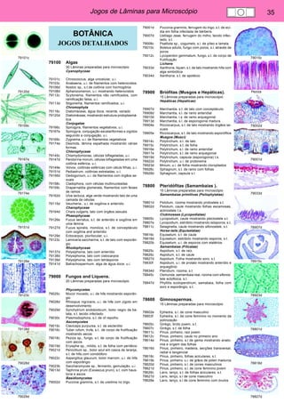 Jogos de Lâminas para Microscópio 35 
79101c 
79120d 
79159c 
79167e 
79174e 
79151d 
79126e 
79123c 
79138d 
79028d 
79029d 
79015c 
Peziza 
79002d 
79001d 
79033d 
78907d 
78915c 
78923d 
78801d 
78818d 
78827d 
BOTÂNICA 
JOGOS DETALHADOS 
79100 Algas 
30 Lâminas preparadas para microscópio 
Cyanophyceae 
79101c Chroococcus, alga unicelular, u.i. 
79103c Anabaena, u.i. de filamentos com heterocistos 
79106d Nostoc sp., s.t.de colônia com hormogônia 
79108d Aphanizomenon, u.i. mostrando heterocistos 
79112c Scytonema, filamentos não ramificados, com 
ramificação falsa, u.i. 
79113d Stigonema, filamentos ramificados, u.i. 
Chromophyta 
79116c Diatomáceas, água doce, recente, variado 
79120d Diatomáceas, mostrando estrutura protoplasmá-tica 
Conjugatae 
79166c Spirogyra, filamentos vegetativos, u.i. 
79167e Spirogyra, conjugação escalariformes e zigotos 
seguindo a conjugação, u.i. 
79169c Zygnema, u.i. de filamentos vegetativos 
79174e Desmids, lâmina espalhada mostrando várias 
formas 
Chlorophyceae 
79145c Chlamydomonas, células biflageladas, u.i. 
79147d Pandorina morum, células biflageladas em uma 
colônia esférica, u.i. 
79149e Volvox, colônias esféricas com céluls filhas, u.i. 
79151d Pediastrum, colônias estreladas, u.i. 
79156d Oedogonium, u.i. de filamentos com órgãos se-xuais 
79158c Cladophora, com células multinucleadas 
79159c Draparnaldia glomerata, filamentos com feixes 
de ramos 
79162d Ulva lactuca, alga verde mostrando talo de uma 
camada de células 
79115d Vaucheria., u.i. de oogônia e anteridio 
Charophyceae 
79164d Chara vulgaris, talo com órgãos sexuais 
Phaeophyceae 
79126e Fucus serratus, s.t. de anteridio e oogônia em 
uma lâmina 
79127d Fucus spiralis, monóica, s.t. de conceptáculo 
com oogônia and anteridio 
79129d Ectocarpus, plurilocular, u.i. 
79123c Laminaria saccharina, s.t. de talo com esporân-gio 
Rhodophyceae 
79137d Polysiphonia, talo com anterídio 
79138d Polysiphonia, talo com cistocarpos 
79139d Polysiphonia, talo com tetrásporos 
79141d Batrachospermum, alga de água doce, u.i. 
79000 Fungos and Liquens. 
20 Lâminas preparadas para microscópio 
Phycomycetes 
79025c Mucor mucedo, u.i. de hifa mostrando esporân-gio 
79028d Rhizopus nigricans, u.i. de hifa com zigoto em 
desenvolvimento 
79029d Synchytrium endobioticum, bolor negro da ba-tata, 
s.t. tecido infectado 
79030c Plasmodiophora, s.t. de of repolho 
Ascomycetes 
79015c Claviceps purpurea, s.t. de esclerótio 
79016c Tuber rufum, trufa, s.t.. de corpo de frutificação 
mostrando ascos 
79018c Peziza sp., fungo, s.t. de corpo de frutificação 
com ascos 
79019d Erysiphe sp., míldio, s.t. de folha com peritécio 
79021d Penicillium sp., bolor azul em casca de laranja, 
s.t. de hifa com conidióforo 
79022c Aspergillus glaucum, bolor marrom, u.i. de hifa 
com esporângio 
79023b Saccharomyces sp., fermento, gemulação, u.i 
79013d Taphrina pruni (Exoascus pruni), s.t. com haus-toria 
e ascos 
Basidiomycetes 
79002d Puccinia graminis, s.t. de uredinia no trigo 
79001d Puccinia graminis, ferrugem do trigo, s.t. de ecí-dia 
em folha infectada de bérberis 
79007d Ustilago zeae, ferrugem do milho, tecido infec-tado, 
s.t. 
79008c Psalliota sp., cogumelo, s.l. de píleo e lamela 
79010c Boletus edulis, fungo com poros, s.l. através de 
poros 
79012c Lycoperdon gemmatum, fungo, s.t. de corpo de 
frutificação 
Lichens 
79033d Xanthoria, liquen, s.t. de talo mostrando hifa com 
alga simbiótica 
79034d Xanthoria, s.t. de apotécio 
78900 Briófitas (Musgos e Hepáticas). 
15 Lâminas preparadas para microscópio 
Hepáticas (Hepaticae) 
78907d Marchantia, s.t. de talo com conceptáculo 
78908d Marchantia, s.l. de ramo anteridial 
78910d Marchantia, l.s. de ramo arquegonial 
78913d Marchantia, s.l. de esporogonia madura 
78904e Ricciocarpus, s.t. de talo mostrando órgãos se-xuais 
78905e Ricciocarpus, s.t. de talo mostrando esporófitos 
Musgos (Musci) 
78914c Polytrichum, s.t. de talo 
78915c Polytrichum, s.t. de folha 
78916e Polytrichum, s.l. de ramo anteridial 
78917e Polytrichum, s.l. de ramo arquegonial 
78919d Polytrichum, capsula (esporogonia) t.s. 
78922d Polytrichum, u.i. de protonema 
78923d Mnium, u.i. de folha mostrando cloroplastos 
78926c Sphagnum, s.t. de ramo com folhas 
78928d Sphagnum, capsula s.l. 
78800 Pteridófitas (Samambaias ). 
15 Lâminas preparadas para microscópio 
Samambaias primitivas (Psilophytatae) 
78801d Psilotum, rizoma mostrando protostele s.t. 
78802d Psilotum, caule mostrando folhas escamosas, 
actinostele t.s. 
Clubmosses (Lycopodiatae) 
78805c Lycopodium, caule mostrando plectostele s.t. 
78807e Lycopodium, estróbilo mostrando isósporos, s.t. 
78811c Selaginella, caule mostrando sifonostele, s.t. 
Horse-tails (Equisetatae) 
78816c Equisetum, s.t. de caule 
78818d Equisetum, estróbilo mostrando esporos, s.t. 
78820b Equisetum, u.i. de esporos com elatérios 
Samambaias (Filicatae) 
78825c Aspidium, s.t. de raíz. 
78826c Aspidium, s.t. de caule 
78827d Aspidium, Folha mostrando soro, s.t. 
78830f Aspidium, u.i. de protalo mostrando anterídio e 
arquegônio 
78834d Pteridium, rizoma, s.t. 
78845c Osmunda, samambaia real, rizoma com sifonos-tele 
ectofloica, s.t. 
78847d Phyllitis scolopendrium, samabaia, folha com 
soro e esporângio, s.t. 
78600 Gimnospermas. 
15 Lâminas preparadas para microscópio 
78602e Ephedra, s.l. de cone masculino 
78603f Ephedra, s.l. de cone feminino no momento da 
polinização 
78605c Ginkgo, broto jovem, s.t. 
78607c Ginkgo, s.t. de folha 
78611c Pinus, pinheiro, raiz jovem 
78612c Pinus, pinheiro, caule no primeiro ano 
78614e Pinus, pinheiro, s.l de gema mostrando anato-mia 
e origem das folhas 
78616d Pinus, pinheiro, madeira, secções transversal, 
radial e tangencial 
78618c Pinus, pinheiro, folhas aciculares, s.t. 
78619b Pinus, pinheiro, u.i. de grãos de pólen maduros 
78620d Pinus, pinheiro, s.l. de cones masculinos 
78621d Pinus, pinheiro, s.l. de cone feminino jovem 
78626c Larix, lariço, s.t. de folhas aciculares, s.t. 
78627d Larix, lariço, s.l de cone masculino 
78628e Larix, lariço, s.l de cone feminino com óvulos 
 