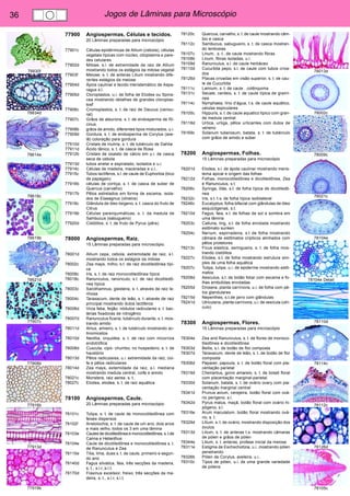 36 Jogos de Lâminas para Microscópio 
78830f 
78834d 
78614e 
78618c 
78619b 
78621d 
77907c 
77908b 
77916b 
77913d 
77919b 
78013d 
78002c 
78009c 
78021c 
78104e 
78104e Detail 
78110d 
78114c 
78112c 
78126d 
78105c 
77900 Angiospermas, Células e tecidos. 
20 Lâminas preparadas para microscópio 
77901c Células epidérmicas de Allium (cebola), células 
vegetais típicas com núcleo, citoplasma e pare-des 
celulares 
77902d Mitose, s.l. de extremidade da raiz de Allium 
mostrando todos os estágios da mitose vegetal 
77903f Meiose, s. t. de anteras Lilium mostrando dife-rentes 
estágios da meiose 
77904d Ápice caulinar e tecido meristemático de Aspa-ragus 
s.l. 
77905d Cloroplastos, u.i. de folha de Elodea ou Spina-cea 
mostrando detalhes de grandes cloroplas-tosf 
77906c Cromoplastos, s. t. de raiz de Daucus (cenou-rat) 
77907c Grãos de aleurona, s. t. de endosperma de Ri-cinus 
77908b grâos de amido, diferentes tipos misturados, u.i. 
77909d Gordura, s. t. de endosperma de Corylus (ave-lã) 
coloração para gordura 
77910d Cristais de inulina, s. t. de tubérculo de Dahlia 
77911d Ácido tânico, s. t. de casca de Rosa 
77912b Cristais de oxalato de cálcio em u.i. de casca 
seca de cebola 
77913d tubos anelar e espiralado, isolados e u.i. 
77914c Células de madeira, maceradas e u.i.. 
77915c Tubos lactíferos, s.l. de caule de Euphorbia (bico 
de papagaio) 
77916b células de cortiça, s. t. de casca de suber de 
Quercus (carvalho) 
77917b Pêlos estrelados em forma de escama, isola-dos 
de Elaeagnus (oliveira) 
77918c Glândula de óleo lisigeno, s. t. casca do fruto de 
Citrus 
77919b Células parenquimáticas, s. t. da medula de 
Sambucus (sabugueiro) 
77920d Cistólitos, s. t. de fruto de Pyrus (pêra) 
78000 Angiospermas, Raiz. 
15 Lâminas preparadas para microscópio 
78001d Allium cepa, cebola, extremidade de raiz, s.l. 
mostrando todos os estágios da mitose 
78002c Zea mays, milho, s.t. de raiz dicotiledônea típi-ca 
78009c Iris, s. t. de raiz monocotiledônea típica 
78018c Ranunculus, ranúnculo, s.t. de raiz dicotiledô-nea 
típica 
78003c Sarothamnus, giesteira, s. t. através de raiz le-nhosa 
78004c Taraxacum, dente de leão, s. t. através de raiz 
principal mostrando dutos lactiferos 
78006d Vicia faba, feijão, nódulos radiculares s. t. bac-térias 
fixadoras de nitrogênio 
78007d Ranunculus ficaria, tubérculo durante, s. t. mos-trando 
amido 
78011d Alnus, amieiro, s. t. de tubérculo mostrando ac-tinomicetos 
78010d Neottia, orquidea, s. t. de raiz com micorriza 
endotrófica 
78008d Cuscuta, cipó- chumbo, no hospedeiro, s. t. de 
haustório 
78013d Pêlos radiculares, u.i. extremidade da raiz, coi-fa 
e pêlos radiculares 
78014d Zea mays, extemidade da raiz, s.l. mediana 
mostrando medula central, coifa e amido 
78021c Monstera, raiz aerea, s. t.. 
78027c Elodea, elodea, s. t. de raiz aquática 
78100 Angiospermas, Caule. 
20 Lâminas preparadas para microscópio 
78101c Tulipa, s. t. de caule de monocotiledônea com 
feixes dispersos 
78102f Aristolochia, s. t. de caule de um ano, dois anos 
e mais velho, todos os 3 em uma lâmina 
78103e Caules de dicotiledônea e monocotiledônea, s. t.de 
Canna e Helianthus 
78104e Caule de dicotiledônea e monocotiledônea s. t. 
de Ranunculus e Zea 
78115e Tilia, lima, duas s. t. de caule, primeiro e segun-do 
ano 
78140d Fagus silvatica, faia, três secções da madeira, 
s. t., s.l.r.;s.l.t. 
78170d Fraxinus excelsior, freixo, três secções da ma-deira, 
s. t., s.l.r, s.l.t. 
78120c Quercus, carvalho, s. t. de caule mostrando câm-bio 
e casca 
78112c Sambucus, sabugueiro, s. t. de casca mostran-do 
lenticelas 
78107c Linum, .s. t.. de caule mostrando fibras 
78108b Linum, fibras isoladas, u.i. 
78109d Ranunculus, s.l. de caule herbáceo 
78110d Cucurbita pepo, s.l. de caule com tubos criva-dos 
78126d Placas crivadas em visão superior, s. t. de cau-le 
de Cucurbita 
78111c Lamium, s. t. de caule , colênquima 
78131c Secale, centeio, s. t. de caule típica de gramí-nea 
78114c Nymphaea, lírio d’água, t.s. de caule aquático, 
celulas espiculares 
78105c Hippuris, s. t. de caule aquatico tipico com gran-de 
medula central 
78118d Urtica, urtiga, pêlos urticantes com dutos de 
veneno 
78169c Solanum tuberosum, batata, s. t. de tubérculo 
com grãos de amido e súber 
78200 Angiospermas, Folhas. 
15 Lâminas preparadas para microscópio 
78201d Elodea, s.l. de ápide caulinar mostrando meris-tema 
apical e origem das folhas 
78212d Folhas, monocotiledônea e dicotiledônea, Zea 
e Ranunculus, s.t. 
78206c Syringa, lilás, s.t. de folha típica de dicotiledô-nea 
78232c Iris, s.t. t.s. de folha típica isobilateral 
78246c Eucalyptus, folha bifacial com glândulas de óleo 
esquizógenas, s.t. 
78210d Fagus, faia, s.t. de folhas de sol e sombra em 
uma lâmina 
78203c Calluna, ling, s.t. de folha enrolada mostrando 
estômato sunken 
78204c Nerium, espirradeira, s.t de folha mostrando 
câmara de estômatos crípticos alinhados com 
pêlos protetores 
78213c Ficus elastica, seringueira, s. t. de folha mos-trando 
cistólitos 
78227c Elodea, s.t. de folha mostrando estrutura sim-ples 
de uma folha aquática 
78207c Tulipa, tulipa, u.i. de epiderme mostrando estô-matos 
78208d Aesculus, s.t. de botão foliar com escama e fo-lhas 
embutidas enroladas 
78205d Drosera, planta carnívora, u.i. de folha com pê-los 
glandulares 
78215d Nepenthes, s.t.de jarro com glândulas 
78241d Utricularia, planta carnívora, u.i. de vesícula (utri-culo) 
78300 Angiospermas, Flores. 
15 Lâminas preparadas para microscópio 
78304e Zea and Ranunculus, s. t. de flores de monoco-tiledônea 
e dicotiledônea 
78303d Bellis, s.l. de botão de flor composta 
78307d Taraxacum, dente de leão, s. t..de botão de flor 
composta 
78306d Papaver, papoula, s. t. de botão floral com pla-centação 
parietal 
78319d Cheirantus, goivo amarelo, s. t. de botaõ floral 
com placentação marginal-parietal. 
78330d Solanum, batata, s. t. de ovário ovary com pla-centação 
marginal central 
78341d Prunus avium, cerejeira, botão floral com ová-rio 
perígeno, s.l. 
78342d Pyrus malus, maçã, botão floral com ovário hi-pógeno, 
s.l. 
78316e Arum maculatum, botão floral mostrando ová-rio, 
s. t. 
78329d Lilium, s. t. de ovário, mostrando disposição dos 
óvulos 
78313d Lilium, s. t. de anteras t.s. mostrando câmaras 
de pólen e grãos de pólen 
78344e Lilium, s. t. anteras, profase inicial da meiose 
78311e Estigma de Eschscholtzia, u.i..mostrando pólen 
penetrando 
78326b Pólen de Corylus, aveleira, u.i.. 
78310c Tipos de pólen, u.i. de uma grande variedade 
de pólens 
 