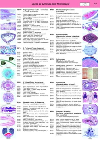 Jogos de Lâminas para Microscópio 37 
78201d 
78232c 
78203c 
78213c 
78241d 
78307d 
78306d 
78330d 
78316e 
78311e 
78401d 
78402e 
78417d 
78442d 
78444d 
6071c 
6073d 
6080f 
6081f 
6106d 
6104d 
6109d 
78400 Angiospermas, Frutos e sementes. 
15 Lâminas de Microscópio 
78401d Triticum, trigo, s.t. de semente (grão), endos-perma 
e grãos de amido 
78402e Triticum, trigo, s.l. de semente mostrando ori-gem 
do embrião 
78425d Zea mays, milho, s.t. de sabugo jovem 
78404d Phaseolus, feijão, s.t. de vagem com semente 
78416d Solanum, batata, s.t. de ovário com embriões 
em desenvolvimento 
78419d Helleborus, s.l. de ovário átropo 
78417d Capsella, s.l. de ovário com embriões em de-senvolvimento 
78421d Papaver, papoula, s.t. de ovário com embriões 
em desenvolvimento 
78411d Phoenix, tâmara, s.t. de semente 
78413d Prunus, ameixa, s.t. de fruto pétreo jovem 
78445d Juglans regia, noz, drupa jovem, s.t. 
78423d Ribes, groselha, s.l. de fruto jovem 
78442d Helianthus, girassol, s.t. de fruto aquênio 
78443d Pyrus malus, maçã, pomo jovem, s.t., um fruto 
carnoso com muitas sementes 
78444d Fragaria, morango, s.l. de jovem fruto agregado 
6070 O Pinheiro (Pinus silvestris) 
12 Lâminas preparadas para microscópio 
6071c Pinheiro, raíz s.t. 
6072c Pinheiro, talo mais velho com anéis anuais, 
dutos de resina s.t. 
6073d Pinheiro, três secções de madeira: transversal, 
radial e tangencial 
6074b Pinheiro, células de madeira, macerada e u.i. 
6075e Pinheiro, s.l de ápice do caule, para tecido me-ristemático 
e origem de folha 
6076c Pinheiro, folhas (agulhas) s.t. 
6077d Pinheiro, cones masculinos com pólen s.l. 
6078b Pinheiro, grãos de pólen maduros, u.i. 
6079d Pinheiro, cone jovem feminino, s.l. mostrando 
óvulos 
6080f Pinheiro, óvulo com gametófito feminino em 
crescimento s.l. 
6081f Pinheiro, óvulo com arquegônio s.l. 
6082e Pinheiro, embrião maduro com endosperma, s.t. 
com cotilédones 
6050 A Tulipa (Tulipa gesneriana) 
8 Lâminas preparadas para microscópio 
6051d Tulipa, botão floral s.t., mostra diagrama floral 
6052b Tulipa, grãos de pólen u.i. 
6053d Tulipa, ovário s.t. mostra arranjo de óvulos 
6054c Tulipa, bulbo jovem s.t. 
6055c Tulipa, bulbo jovem s.l. 
6056c Tulipa, caule s.t. mostra feixes esparsos 
6057c Tulipa, raíz s.t. mostra cilindro vascular central 
6058c Tulipa, folha s.t. 
6100 Flores e Frutos de Rosaceae 
12 Lâminas preparadas para microscópio 
6101d Cerejeira, (Prunus avium), botão floral s.t. 
6102d Cerejeira, (Prunus avium), botão floral s.l. mos-trando 
ovário periginoso 
6103d Cerejeira, (Prunus avium), s.l. de fruto pétreo 
jovem 
6104d Maça (Pyrus malus), flor s.l. mostrando ovário 
hipoginoso 
6105d Maça (Pyrus malus), fruto jovem carnudo com 
muitas sementes, s.t. 
6106d Maça (Pyrus malus), fruto jovem s.l. 
6107d Groselha espinhosa (Ribes uva-crispa), flor s.l. 
6108d Groselha espinhosa (Ribes uva-crispa), fruto 
com muitas sementes s.l. 
6109d Framboesa (Rubus idaeus), flor s.l 
6110d Framboesa (Rubus idaeus), fruto jovem agre-gado, 
s.l. 
6111d Morango (Fragaria), flor s.l. 
6112d Morango (Fragaria), fruto jovem agregado, s.l. 
6130 Plantas de Papilionaceae 
(Fabaceae) 
12 Lâminas preparadas para microscópio 
6131c Ervilha (Pisum sativum), caule e gavinha petio-lar 
s.t. 
6132d Ervilha (Pisum sativum), raíz com nódulos e 
bactérias fixantes de nitrogênio s.t 
6133d Feijão (Phaseolus vulgaris), botão de flor s.t. 
6134d Feijão (Phaseolus vulgaris), botão de flor s.l. 
6135d Feijão (Phaseolus vulgaris), flor mostrando fru-to 
jovem s.l. 
6136d Feijão (Phaseolus vulgaris), vagem com pericar-po 
e semente s.t. 
6150 Ranunculaceae 
(Ranúnculo, prímula, celandine) 
7 Lâminas preparadas para microscópio 
6151d Ranúnculo (Ranunculus sp.), flor s.l. 
6152d Ranúnculo (Ranunculus sp.), fruto (achene) s.l. 
6153d Ranúnculo (Ranunculus sp.), fruto (achene) s.t. 
6154d Caltha sp., fruto s.l. 
6155c Ranúnculo (Ranunculus sp.), caule com feixes 
vasculares abertos s.t. 
6156c Ranúnculo (Ranunculus sp.), s.t. de raíz com 
feixes vasculares radiais concêntricos 
6157c Ranunculus ficaria, nódulos de raíz mostrando 
grãos de amido s.t. 
6170 Solanaceae 
(Batata, tomate, tabaco) 
7 Lâminas preparadas para microscópio 
6171c Batata (Solanum tuberosum), s. t. de tubérculo 
com grãos de amido 
6172c Batata (Solanum tuberosum), caule s.t. 
6173d Batata (Solanum tuberosum), flor jovem s.l. 
6174d Batata (Solanum tuberosum), flor jovem s.t. 
6175d Batata (Solanum tuberosum), fruta s.l. 
6176d Tomate (Lycopersicum esculentum), fruta jovem 
s.t. 
6177c Tabaco (Nicotiana tabacum), folha s.t. 
6200 Compositae 
(Dente-de-leão e girassol) 
8 Lâminas preparadas para microscópio 
6201c Dente-de-leão (Taraxacum), raíz principal s.t. 
6202c Dente-de-leão (Taraxacum), s. l. de raiz com 
vasos lactíferos 
6203d Dente-de-leão (Taraxacum), s. l. de flor compos-ta 
6204d Dente-de-leão (Taraxacum), s. t. de flor compos-ta 
6205d Dente-de-leão (Taraxacum), flor lingulada iso-lada 
e u.i. 
6206d Dente-de-leão (Taraxacum), flor tubular isolala-da 
e u.i. 
6207d Girassol (Helianthus), semente (achene) s.t. 
6208c Girassol (Helianthus) caule com feixes vascu-lares 
abertos s.t. 
6230 Árvores e Arbustos 
(aveleira, castanheiro, salgueiro, 
faia, carvalho) 
12 Lâminas preparadas para microscópio 
6231d Avelã (Corylus avellana), s.l de flor fêmea 
6232d Avelã (Corylus avellana), s.l de flor macho 
6233b Avelã (Corylus avellana), grãos de pólen madu-ros 
u.i. 
6234d Avelã (Corylus avellana), fruto jovem (noz) s.l. 
6235d Salgueiro (Salix alba), fruto agregado jovem s.l. 
6236c Castanheiro (Aesculus hippocastanum), petío-le 
s.t. 
6237c Castanheiro (Aesculus hippocastanum), botão 
de folha, s.t., mostra origem da folha 
6238d Castanheiro (Aesculus hippocastanum), botão 
de flor s.t. 
 