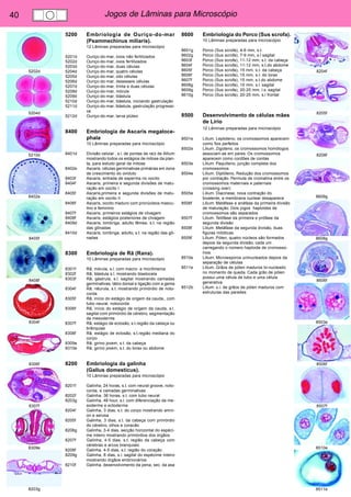 40 Jogos de Lâminas para Microscópio 
5202d 
5204d 
5210d 
8402e 
8405f 
8408f 
8304f 
8306f 
8307f 
8309e 
8203g 
8204f 
8205f 
8208f 
8609g 
8608g 
8606f 
8503e 
8506f 
8507f 
8510e 
8511e 
5200 Embriologia de Ouriço-do-mar 
(Psammechinus miliaris). 
12 Lâminas preparadas para microscópio 
5201d Ouriço-do-mar, ovos não fertilizados 
5202d Ouriço-do-mar, ovos fertilizados 
5203d Ouriço-do-mar, duas células 
5204d Ouriço-do-mar, quatro células 
5205d Ouriço-do-mar, oito células 
5206d Ouriço-do-mar, desesseis células 
5207d Ouriço-do-mar, trinta e duas células 
5208d Ouriço-do-mar, mórula 
5209d Ouriço-do-mar, blástula 
5210d Ouriço-do-mar, blástula, iniciando gastrulação 
5211d Ouriço-do-mar, blástula, gastrulação progressi-va 
5212d Ouriço-do-mar, larva plúteo 
8400 Embriologia de Ascaris megaloce-phala 
10 Lâminas preparadas para microscópio 
8401d Divisão celular , s.l. de pontas de raíz de Allium 
mostrando todos os estágios de mitose da plan-ta, 
para estudo geral de mitose 
8402e Ascaris, células germinativas primárias em zona 
de crescimento do oviduto 
8403f Ascaris, entrada de esperma no oocito 
8404f Ascaris, primeira e segunda divisões de matu-ração 
em oocito I 
8405f Ascaris,primeira e segunda divisões de matu-ração 
em oocito II 
8406f Ascaris, oocito maduro com pronúcleos mascu-lino 
e feminino 
8407f Ascaris, primeiros estágios de clivagem 
8408f Ascaris, estágios posteriores de clivagem 
8409d Ascaris, lombriga, adulto fêmea, s.t. na região 
das gônadas 
8410d Ascaris, lombriga, adulto, s.t. na região das gô-nadas 
8300 Embriologia de Rã (Rana). 
10 Lâminas preparadas para microscópio 
8301f Rã, mórula, s.l. com macro- e micrômeros 
8302f Rã, blástula s.l. mostrando blastocela 
8303f Rã, gástrula, s.l. sagital mostrando camadas 
germinativas, lábio dorsal e ligação com a gema 
8304f Rã, nêurula, s.t. mostrando primórdio de noto-corda 
8305f Rã, início do estágio de origem da cauda,. com 
tubo neural, notocorda 
8306f Rã, início do estágio de origem da cauda, s.l. 
sagital com primórdio de cérebro, segmentação 
da mesoderme 
8307f Rã, estágio de eclosão, s.t.região da cabeça ou 
brânquias 
8308f Rã, estágio de eclosão, s.t.região mediana do 
corpo 
8309e Rã, girino jovem, s.t. da cabeça 
8310e Rã, girino jovem, s.t. do torax ou abdome 
8200 Embriologia da galinha 
(Gallus domesticus). 
10 Lâminas preparadas para microscópio 
8201f Galinha, 24 horas, s.t. com neural groove, noto-corda, 
e camadas germinativas 
8202f Galinha, 36 horas, s.t. com tubo neural 
8203g Galinha, 48 hour, s.l. com diferenciação da me-soderme 
e ectoderme 
8204f Galinha, 3 dias, s.t. do corpo mostrando amni-on 
e serosa 
8205f Galinha, 3 dias, s.t. da cabeça com primórdio 
do cérebro, olhos e coracão 
8206g Galinha, 3-4 dias, secção horizontal do espéci-me 
inteiro mostrando primórdios dos órgãos 
8207f Galinha, 4-5 dias, s.t. região da cabeça com 
cérebrao e arcos branquiais 
8208f Galinha, 4-5 dias, s.t. região do coração 
8209g Galinha, 8 dias, s.l. sagital do espécime inteiro 
mostrando órgãos embrionários 
8210f Galinha, desenvolvimento da pena, sec. da asa 
8600 Embriologia do Porco (Sus scrofa). 
10 Lâminas preparadas para microscópio 
8601g Porco (Sus scrofa), 4-6 mm, s.t. 
8602g Porco (Sus scrofa), 7-9 mm, s.l sagital 
8603f Porco (Sus scrofa), 11-12 mm, s.t. da cabeça 
8604f Porco (Sus scrofa), 11-12 mm, s.t.do abdome 
8605f Porco (Sus scrofa), 15 mm, s.t. da cabeça 
8606f Porco (Sus scrofa), 15 mm, s.t. do torax 
8607f Porco (Sus scrofa), 15 mm, s.t.do abdome 
8608g Porco (Sus scrofa), 15 mm, s.l. sagital 
8609g Porco (Sus scrofa), 20-25 mm, l.s. sagital 
8610g Porco (Sus scrofa), 20-25 mm, s.l frontal 
8500 Desenvolvimento de células mães 
de Lírio 
12 Lâminas preparadas para microscópio 
8501e Lilium. Leptoteno, os cromossomos aparecem 
como fios perfeitos 
8502e Lilium. Zigoteno, os cromossomos homólogos 
associam-se em pares. Os cromossomos 
aparecem como cordões de contas 
8503e Lilium. Paquíteno, junção completa dos 
cromossomos 
8504e Lilium. Diplóteno, Redução dos cromossomos 
por contração. Permuta de cromatina entre os 
cromossomos maternais e paternais 
(crossing over) 
8505e Lilium. Diacinese, nova contração do 
bivalente, a membrana nuclear desaparece 
8506f Lilium. Metáfase e anáfase da primeira divisão 
de maturação. Dois jogos haploides de 
cromossomos são separados 
8507f Lilium. Telófase da primeira e prófase da 
segunda divisão 
8508f Lilium. Metáfase da segunda divisão, duas 
figuras mitóticas 
8509f Lilium. Pólen, quatro núcleos são formados 
depois da segunda divisão, cada um 
carregando o número haploide de cromosso-mos. 
8510e Lilium. Microesporos uninucleados depois da 
separação de células 
8511e Lilium. Grãos de pólen maduros bi-nucleado 
no momento de queda. Cada grão de pólen 
possui uma célula de tubo e uma célula 
generativa 
8512b Lilium. u.i. de grãos de pólen maduros com 
estruturas das paredes 
 