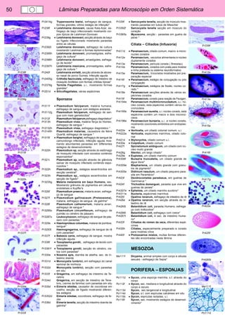 50 Lâminas Preparadas para Microscópio em Orden Sistemática 
Pr237g 
Pr238f 
Pr239g 
Pr311f 
Pr315f 
Pr320h 
Pr328f 
Pr337f 
Pr338f 
Pr330e 
Pr333f 
Pr339f 
Pr412e 
Pr413e 
Pr415e 
Pr416f 
Pr417g 
Pr422e 
Pr425f 
Pr4265t 
Me111f 
Po111d 
Pr2414g Trypanosoma lewisi, esfregaço de sangue, 
formas grandes, último estágio de infecção* 
Pr238f • Leishmania donovani, causa Kala-Azar, es-fregaço 
de baço infeccionado mostrando cor-pos 
típicos de Leishman-Donovan 
Pr239g • Leishmania donovani, secção através de baço 
ou fígado infeccionado mostrando parasitas 
entre as células 
Pr2392t Leishmania donovani, esfregaço de cultura 
mostrando Leishman e formas leptomonadas* 
Pr2395h Leishmania donovani, promastigotes, esfre-gaço 
de cultura* 
Pr2396h Leishmania donovani, amastigotes, esfrega-ço 
de tecido* 
Pr2397h Leishmania mexicana, promastigotes, esfre-gaço 
de cultura * 
Pr240f Leishmania enrietti, secção através de abces-so 
nasal de porco Guinea. Infecção aguda. 
Pr2405g Crithidia fasciculata, esfregaço de intestino de 
mosquito Anófeles com formas critidias típicas* 
Pr2378g Termite Flagellates. u.i., mostrando formas 
grandes* 
Pr251d • Silicoflagellates, várias espécimes 
Sporozoa 
Pr311f • Plasmodium falciparum, malária humana, 
esfregaço de sangue com estágios anelares 
Pr3112g Plasmodium falciparum, esfregaço de san-gue 
com mais gametocitos* 
Pr312f Plasmodium falciparum,esfregaço diagnóstico* 
Pr313h Plasmodium vivax, malária Terça do Homen, 
esfregaço de sangue * 
Pr3132h Plasmodium vivax, esfregaço diagnóstico * 
Pr3145h Plasmodium malariae, causadora da febre 
Quartã, esfregaço de sangue * 
Pr315f • Plasmodium berghei, esfregaço de sangue de 
camundongo infectado. Infecção aguda mos-trando 
abundantes parasitas em differentes 
estágios de desenvolvimento 
Pr320h Plasmodium sp, secção através do estômago 
de mosquito infectado com oocistos conténdo 
esporozoitos* 
Pr321i Plasmodium sp, secção através de glândula 
salivar de mosquito infectado conténdo espo-rozoitos 
* 
Pr322h Plasmodium sp., estágios exoeritrocitos em 
secção cerebral* 
Pr323h Plasmodium sp., estágios exoeritrocitos em 
secção de fígado* 
Pr3235g Malaria melanemia em baço Humano, sec. 
Mostrando grânulos de pigmentos em células 
endoteliais e Kupffer’s 
Pr326f Plasmodium praecox, malaria avian, esfrega-ço 
de sangue 
Pr327f • Plasmodium gallinaceum (Proteosoma), 
malaria, esfregaço de sangue de galinha* 
Pr328f Plasmodium cathemerium, malaria avian, 
esfregaço de sangue * 
Pr3285s Plasmodium circumflexum, esfregaço de 
pulmão ou cérebro de pássaro 
Pr3287s Leukocytozoon, esfregaço de sangue de pás-saro 
com parasitas * 
Pr329s • Haemoproteus columbae, malarai de pombos, 
sangue* 
Pr3293t Haemogregarina, esfregaço de sangue de rã 
com parasitas* 
Pr337f • Babesia canis, esfregaço de sangue, mostra 
infecção aguda 
Pr338f • Toxoplasma gondii, , esfregaço de tecido com 
parasitas 
Pr3381f • Toxoplasma gondii, secção do cérebro, cis-tos 
com parasitas* 
Pr330e • Nosema apis, diarréia de abelha, sec. de in-testino 
doente 
Pr331d • Monocystis lumbrici, em esfregaço do canal 
seminal de minhoca 
Pr332d Monocystis lumbrici, secção com parasitas 
em situ 
Pr333f • Gregarina, em esfregaço de intestino de Te-nebrio 
Pr334d Gregarina, em secção de intestino de Tene-brio, 
(verme da farinha) com parasitas em situ 
Pr335d • Eimeria stiedae, causador de coccidiose em 
coelho, secção de fígado mostrando diferen-tes 
estágios 
Pr3352d Eimeria stiedae, coccidiosis, esfregaço de fe-zes 
Pr336d Eimeria tenella, secção de intestino doente de 
galinha* 
Pr339f • Sarcocystis tenella, secção de músculo mos-trando 
parasitas em tubos de Miescher 
Pr3392f Sarcocystis tenella secção em músculo do 
coração 
Pr3365s Myxosoma, secção - parasitas em guelra de 
peixe * 
Ciliata – Ciliados (Infusoria) 
Pr411d • Paramaecium, ciliado comum, macro- e micro-nucleo 
corados 
Pr412e Paramaecium, vacúolos alimentares e núcleo 
duplamente corados 
Pr413e Paramaecium, película corada ( Bresslau) 
Pr414e Paramaecium, corados com prata para mostrar 
a linha prateada ou sistema neuroformativo 
Pr415e Paramaecium, tricocistos mostrados por pre-paração 
especial 
Pr416f • Paramaecium, estágio de conjugação ou pós 
conjugação 
Pr417g • Paramaecium, estágios de fissão, núcleo co-rado 
* 
Pr418e Paramaecium secções através de vários es-pécimes 
corados 
Pr419f Paramaecium, corado para reação de Feulgen. 
Pr4194e Paramaecium multimicronucleatum, u.i. nú-cleo 
corado, esta espécime contém vários mi-cronúcleos 
Pr4195e Paramaecium aurelia, u.i. núcleo corado, esta 
espécime contém um macro e dois micronú-cleos 
Pr4196e Paramaecium bursaria, u.i.. e núcleo corado, 
mostrando zooclorela simbiótica em endoplas-ma 
Pr422e • Vorticella, um ciliado colonial comum, u.i. 
Pr4222e Vorticella, espécimes marinhos, ciliado colo-nial 
Pr421d • Stylonychia, ciliado comum u.i. 
Pr430e • Colpidium, ciliado comum 
Pr427f Spirostomum ambiguum, um ciliado com nú-cleo 
muito grande 
Pr428g Stentor, um largo ciliado* 
Pr429e • Euplotes, um ciliado marinho comum 
Pr4306f Bursaria truncatella, um ciliado grande de 
água doce* 
Pr4309e Blepharisma, um ciliado grande com granu-los 
de pigmento* 
Pr4305e Didinium nasutum, um ciliado pequeno para-sita 
em Paramécio* 
Pr423f Dendrocometes paradoxus, em guelras de 
Gammarus * 
Pr424f Trichodina domerguei, parasita que vive em 
guelras de peixes* 
Pr4307e • Ephelota, um ciliado marinho suctório* 
Pr4311e Suctoria, espécimes marinhos 
Pr425f Opalina ranarum, esfregaço de intestino de rã 
Pr426e • Opalina ranarum, em secção através do in-testino 
de rã 
Pr4265t Balantidium coli, parasita Humano, esfrega-ço 
com trofozoitos* 
Pr4266t Balantidium coli, esfregaço com cistos* 
Pr4267t Balantidium coli, in sec. de intestino Huma-no* 
Pr433f Ciliados do rúmen da vaca, diferentes espé-cimes 
Pr435h Ciliates, especialmente preparado e corado 
para mostras cílios 
Pr440f • Protozoários mistos, muitas formas diferen-tes 
são encontradas nesta lâmina 
MESOZOA 
Me111f Dicyema, animal simples com corpo e células 
sexuais - esfregaço de Sepia* 
PORIFERA – ESPONJAS 
Po111d • Sycon, uma esponja marinha, s.t. através do 
corpo 
Po112f • Sycon, sec. mediana e longitudinal através do 
corpo e osculo 
Po113d Sycon, sec.tangencial e longitudinal 
Po114d Sycon, s.t. com espículas calcáreas em situ 
Po115b • Sycon, espículas isoladas, u.i. 
Po116f Sycon, sec. mostrando estágios de desenvol-vimento* 
 
