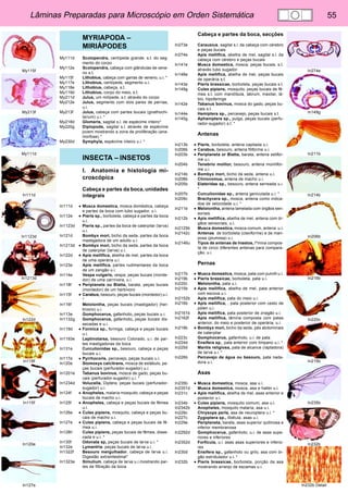 Lâminas Preparadas para Microscópio em Orden Sistemática 55 
In274e 
In149g 
In211b 
In214b 
In206b 
In216b 
In220c 
In215b 
In235b 
In232b 
In232b Detail 
My115f 
My213f 
My111d 
In111d 
In1123d 
In1213d 
In122d 
In118f 
In115f 
In120e 
In127e 
MYRIAPODA – 
MIRIÁPODES 
My111d Scolopendra, centípede grande, s.t. do seg-mento 
do corpo 
My112e Scolopendra, cabeça com glândulas de vene-no 
s.t. 
My115f Lithobius, cabeça com garras de veneno, u.i. * 
My117e Lithobius, centípede, segmento u.i. 
My118e Lithobius, cabeça, s.t. 
My119d Lithobius, corpo do meio, s.t. 
My211d Julus, um milípede, s.t. através do corpo 
My212e Julus, segmento com dois pares de pernas, 
u.i. 
My213f Julus, cabeça com partes bucais (gnathochi-larium) 
u.i. * 
My218d Glomeris, sagital s.l. de espécime inteiro* 
My220g Diplopode, sagital s.l. através de espécime 
jovem mostrando a zona de proliferação (ana-morfose) 
* 
My230d Symphyla, espécime inteiro u.i. * 
INSECTA – INSETOS 
I. Anatomia e histologia mi-croscópica 
Cabeça e partes da boca, unidades 
integrais 
In111d • Musca domestica, mosca doméstica, cabeça 
e partes da boca com tubo sugador, u.i. 
In112e • Pieris sp., borboleta, cabeça e partes da boca 
u.i. 
In1123d Pieris sp., partes da boca de caterpilar (larva) 
u.i. 
In121d Bombyx mori, bicho da seda, partes da boca 
mastigadora de um adulto u.i. 
In1213d • Bombyx mori, bicho da seda, partes da boca 
de caterpilar (larva) u.i. 
In122d • Apis mellifica, abelha de mel, partes da boca 
de uma operária u.i. 
In123e Apis mellifica, partes rudimentares da boca 
de um zangão u.i. 
In114e Vespa vulgaris, vespa, peças bucais (morde-dor) 
de uma carnívora, u.i. 
In118f • Periplaneta ou Blatta, barata, peças bucais 
(mordedor) de um herbívoro 
In115f • Carabus, besouro, peças bucais (mordedor) u.i. 
* 
In116f Melolontha, peças bucais (mastigador) (her-bívoro) 
u.i. 
In113e Gomphocerus, gafanhoto, peças bucais u.i. 
In1132g Gomphocerus, gafanhoto, peças bucais dis-secadas 
e u.i. 
In119d • Formica sp., formiga, cabeça e peças bucais 
u.i. 
In1193e Leptinotarsa, besouro Colorado, u.i. de par-tes 
mastigadoras da boca 
In131e Curculionidae sp., besouro, cabeça e peças 
bucais u.i. 
In117e • Pyrrhocoris, percevejo, peças bucais u.i. 
In120e Stomoxys calcitrans, mosca de estábulo, pe-ças 
bucais (perfurador-sugador) u.i. 
In1201e Tabanus bovinus, mosca de gado, peças bu-cais 
(perfurador-sugador) u.i. * 
In1234d Volucella, Diptera, peças bucais (perfurador-sugador) 
u.i. 
In124f • Anopheles, malaria mosquito, cabeça e peças 
bucais de macho u.i. 
In125f • Anopheles, cabeça e peças bucais de fêmea 
u.i. 
In126e • Culex pipiens, mosquito, cabeça e peças bu-cais 
de macho u.i. 
In127e • Culex pipiens, cabeça e peças bucais de fê-mea 
u.i. 
In128h Culex pipiens, peças bucais de fêmea, disse-cada 
e u.i. * 
In130f Odonata sp, peças bucais de larva u.i. * 
In132e Lymantria, peças bucais de larva u.i. 
In1322f Besouro mergulhador, cabeça de larva u.i. 
Digestão extraintestinal* 
In1323e Simulium, cabeça de larva u.i.mostrando par-tes 
de filtração da boca 
Cabeça e partes da boca, secções 
In273e Carausius, sagital s.l. da cabeça com cérebro 
e peças bucais 
In274e Apis mellifica, abelha de mel, sagital s.l. da 
cabeça com cérebro e peças bucais 
In141e Musca domestica, mosca, peças bucais, s.t. 
através tubo sugador 
In148e Apis mellifica, abelha de mel, peças bucais 
de operária s.t. 
In143e Pieris brassicae, borboleta, peças bucais s.t. 
In149g Culex pipiens, mosquito, peças bucais de fê-mea 
s.t. com mandíbula, labrum, maxilar, lá-bio, 
hipofaringe 
In142e Tabanus bovinus, mosca do gado, peças bu-cais 
s.t. 
In144e Hemiptera sp., percevejo, peças bucais s.t. 
In145g Aphaniptera sp., pulga, peças bucais (perfu-rador- 
sugador) s.t. * 
Antenas 
In213b • Pieris, borboleta, antena capitada u.i. 
In206b • Carabus, besouro, antena filiforme u.i. 
In203b • Periplaneta or Blatta, barata, antena setifor-me 
u.i. 
In204b Tenebrio molitor, besouro, antena monilifor-me 
u.i. 
In214b • Bombyx mori, bicho da seda, antena u.i. 
In208b Chironomus, antena de macho u.i. 
In205b Elateridae sp., besouro, antena serreada u.i. 
* 
In207b Curculionidae sp., antena geniculada u.i. * 
In209c Brachycera sp., mosca, antena como indica-doe 
de velocidade u.i. * 
In211b • Melolontha, antena lamelada com órgãos sen-soriais 
In212b • Apis mellifica, abelha de mel, antena com ór-gãos 
sensoriais, u.i. 
In2125b Musca domestica, mosca comum, antena u.i. 
In2142c Antenas de borboleta (claviforme) e de mari-posa 
(plumosa) u.i. 
In2146u Tipos de antenas de Insetos, l^mina compos-ta 
de cinco diferentes antenas para compara-ção, 
u.i. 
Pernas 
In217b • Musca domestica, mosca, pata com pulvilli u.i. 
In219b • Pieris brassicae, borboleta, pata u.i. 
In220c Melolontha, pata u.i. 
In215b • Apis mellifica, abelha de mel, pata anterior 
com escova u.i. 
In2152b Apis mellifica, pata do meio u.i. 
In216b • Apis mellifica, , pata posterior com cesto de 
pólen u.i. 
In2161b Apis mellifica, pata posterior de znagão u.i. 
In2162f Apis mellifica, lâmina composta com patas 
anterior, do meio e posterior de operária, u.i. 
In218b • Bombyx mori, bicho da seda, pés abdominais 
de caterpilar 
In223c Gomphocerus, gafanhoto, u.i. de pata 
In224d Ensifera sp., pata anterior com timpano u.i. * 
In225d Mantis religiosa, pata de alcance (raptadora) 
de larva u.i. * 
In226b Percevejo de água ou besouro, pata nada-dora 
u.i. 
Asas 
In235b • Musca domestica, mosca, asa u.i. 
In2351d Musca domestica, mosca, asa e halter u.i. 
In231c • Apis mellifica, abelha de mel, asas anterior e 
posterior u.i. 
In234b • Culex pipiens, mosquito comum, asa u.i. 
In2342b Anopheles, mosquito malaria, asa u.i. 
In228c Chrysopa perla, asa de neuroptera u.i. * 
In227c Zygoptera sp., libélula, asas u.i. 
In229e Periplaneta, barata, asas superior quitinosa e 
inferior membranosa 
In2292d Gomphocerus, gafanhoto, u.i. de asas supe-riores 
e inferiores 
In2352d Forficula, u.i. asas asas superiores e inferio-res 
In230d Ensifera sp., gafanhoto ou grilo, asa com ór-gão 
estridulador u.i. * 
In232b • Pieris brassicae, borboleta, porção da asa 
mostrando arranjo de escamas u.i. 
 