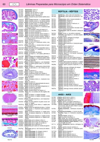 60 Lâminas Preparadas para Microscópio em Orden Sistemática 
Re211c 
Re156h 
Re237h 
Re231d 
Av132b 
Av161e 
Av112c 
Av127d 
Av126d 
Av1245c 
Av140e 
Am218c 
Am219c 
Am220c 
Am225c 
Am227d 
Am228c 
Am229d 
Am232d 
Am233d 
Am234c 
Re213c 
Am147d Salamandra, ovário s.t. 
Am148d Salamandra, rabo s.t. 
Am151e Triturus, olho de adulto, s.l. radial 
Am152e Triturus, olho de larva, s.l. radial 
Am153e Necturus, axolotl, brânquias s.t. 
Am201d • Rana, rã epiderme para mostrar epitélio esca-moso 
u.i. 
Am2012c Rana, rã epitélio escamoso , u.i. of células isoladas 
Am2013c Rana, rã epitélio colunar, u.i. de células isoladas 
Am202d • Rana, rã céu da boca com epitélio ciliado, s.t. 
Am2021c Rana, rã epitélio ciliado, u.i. de células isoladas 
Am203d Rana, rã osso compacto decalcificado, s.t. 
Am204d Rana, rã cabeça do femur s.t. mostrando osso 
e cartilagem hialina 
Am205d • Rana, rã cartilagem hialina de esterno s.t. 
Am206d • Rana, rã músculo (esquelético) estriado, s.l. 
Am207d Rana, rã músculo estriado s.t. 
Am208d Rana, rã músculo estriado, fibras isoladas u.i. 
Am2083c Rana, rã músculo cardíaco, fibras isoladas u.i. 
Am209e • Rana, rã fibras nervosas isoladas, fixadas e 
coradas com ácido ósmico para mostrar nódu-los 
de Ranvier’s u.i. 
Am210d Rana, rã tecido adiposo s.t. 
Am211d Rana, rã perna s.t. mostrando artéria, veia, 
osso, nervo, etc. 
Am212c • Rana, rã pulmão s.t., simples bolsa com gran-de 
cavidade central 
Am2123e • Rana, rã pulmão contraído e expandido, duas s.t. 
Am213d • Rana, rã coração s.l., mostrando s.l. e s.t. de 
músculo cardíaco 
Am214c • Rana, rã esfregaço de sangue 
Am215c • Rana, rã língua s.t., com papila, glândulas e 
músculos 
Am2155f Rana, rã cabeça com cavidade bucal e língua s.l. 
Am216c Rana, rã esôfago s.t., mostrando epitélio ciliado 
Am217c • Rana, rã estômago s.t., membrana mucousa, 
glândulas gástricas 
Am218c • Rana, rã intestino delgado s.t., com vilosidades 
Am219c Rana, rã intestino grosso (cólo), s.t. com célu-las 
de cálice 
Am220c • Rana, rã fígado s.t., parênquima e dutos da bile 
Am221c Rana, rã pancreas s.t. com ilhotas de Lan-gerhans 
Am222c Rana, rã vesícula s.t. 
Am223c • Rana, rã baço s.t.,tecido linfático 
Am224e Rana, rã glândula tiróide com colóide s.t. 
Am225c • Rana, rã rim s.t. mostrando túbulos e corpús-culo 
de Malpighi 
Am2252c Rana, rã rim s.l. 
Am226c Rana, rã bexiga urinária s.t., mostrando mús-culo 
liso 
Am235d Rana, rã uretra s.t. 
Am227d • Rana, rã ovário com desenvolvimento de ovos s.t. 
Am228c Rana, rã tubo de falópio s.t. 
Am229d • Rana, rã testículo com espermatogenese s.t. 
Am2292d Rana, rã esperma, esfregaço 
Am2295d • Rana, rã nervo periférico s.t. 
Am230c • Rana, rã parte anterior do cérebro s.t. 
Am2305e Rana, rã s.t. do cérebro em três regiões dife-rentes 
Am231f Rana, rã cérebro, s.l.sagital completa 
Am2312f Rana, rã cérebro, s.l.sagital completa, corada 
com prata 
Am232d • Rana. rã cordão espinhal s.t., com massa bran-ca 
e cinzenta 
Am233d • Rana, rã parte posterior do globo ocular com 
retina, s.l. sagital 
Am2331g Rana, rã globo ocular inteiro s.l. sagital para 
estrutura geral * 
Am234c • Rana, rã pele com glândulas da pele, s.l. vertical 
Am2343f Rana, rã pele, u.i. mostrando veias injetadas e 
cromatóforos 
Am251f Rana, rã pequeno espécime, s.t. região bucal 
Am252f Rana, rã pequeno espécime, s.t. através da 
cabeça 
Am253f Rana, rã pequeno espécime, s.t. região do tórax 
Am254f Rana, rã pequeno espécime. s.t. região do ab-domen 
Am261e • Rana larva, girino cabeça e olhos s.t. 
Am262d • Rana larva, girino tórax com brânquias s.t. 
Am2622d • Rana larva, girino região do pulmão s.t. 
Am263d • Rana larva, girino abdomen s.t. 
Am265d • Rana larva, girino pele com células de pigmen-to, 
u.i. 
Am270g Rana larva, girino s.l. de 5 larvas com diferen-tes 
idades 
Am291f Rana embriologia: rã, clivagem inicial s.t. 
Am292f Rana embriologia: rã, blástula s.t. 
Am293f Rana embriologia: rã, gástrula s.t. 
Am294f Rana embriologia: rã, neurula s.t. 
Am295f Rana embriologia: rã, larva jovem s.t. 
REPTILIA – RÉPTEIS 
Re121d Ophidia sp., cobra, pele com escamas u.i. 
Re122d Ophidia sp., cobra, pele com escamas s.l. ver-tical 
Re151c Tropidonotus, cobra, músculo estriado s.l. 
Re153c Tropidonotus, traquéia s.t. 
Re154c Tropidonotus, pulmão s.t. 
Re152c Tropidonotus, intestino e testículo, s.t. 
Re158c Tropidonotus, útero s.t. 
Re155d Tropidonotus, cérebro s.t. 
Re157h Tropidonotus, extremidades nervosas moto-ras 
em músculo estriado 
Re156h Tropidonotus, órgão de Jacobson, cabeça de 
cobra, s.t. * 
Re161d Anguis, verme, s.t. de embrio e placenta 
Re240f Tarentola, osga (lagarto), s.l. de dedo adapta-do 
para escalar 
Re211c • Lacerta, lagarto, esfregaço de sangue 
Re212d Lacerta, lagarto traquéia s.t. 
Re213c • Lacerta, lagarto pulmãos.t. 
Re214c Lacerta, lagarto rim s.t. 
Re215c Lacerta, lagarto testículo s.t. mostrando esper-matogenese 
Re216c • Lacerta, lagarto intestino s.t. 
Re217c Lacerta, lagarto fígado s.t. 
Re2173d Lacerta, lagarto coração s.l. 
Re218d Lacerta, lagarto ovário s.t. 
Re219d Lacerta, lagarto glândula adrenal s.t. 
Re220d Lacerta, lagarto s.t. de maxilar mostrando 
mudança de dentes 
Re221d Lacerta, lagarto Cérebro s.t. 
Re231d • Lacerta, lagarto skin with scales vertical s.l. 
Re235f Lacerta, lagarto, pequeno espécime, sagital s.l. 
de cabeça 
Re237h Lacerta, lagarto pequeno espécime, s.l.sagital 
de cabeça mostrando olho parietal ou pineal* 
Re236e Lacerta, lagarto pequeno espécime, s.t. de 
cabeça 
Re251c Testudo, tartaruga, esfregaço de sangue 
Re252c Testudo, tartaruga coração s.t. 
Re254c Testudo, tartaruga pulmão s.t. 
Re256c Testudo, tartaruga esôfago s.t. 
Re258c Testudo, tartaruga estômago s.t. 
Re259c Testudo, tartaruga intestino delgado s.t. 
Re260c Testudo, tartaruga intestino grosso s.t. 
Re262c Testudo, tartaruga fígado s.t. 
Re264d Testudo, tartaruga glândula tiróide s.t. 
Re266d Testudo, tartaruga ovário s.t. 
Re267d Testudo, tartaruga oviduto s.t. 
Re268d Testudo, tartaruga testículo s.t. 
Re270c Testudo, tartaruga bexiga urinária s.t. 
Re272c Testudo, tartaruga músculo estriado (esque-lético) 
s.l. 
Re273c Testudo, tartaruga músculo estriado (esque-lético) 
s.t. 
AVES – AVES 
Av132b • Gallus, galinha asa ou pena u.i. 
Av131b • Gallus, galinha pena inferior u.i. 
Av165b Beija-Flor, pena inferior u.i. 
Av133b • Gallus, galinha, plumagem (filoplume) u.i. 
Av134c Gallus, asa e pena inferior em uma lâmina u.i. 
Av1345d Lâmina composta de penas de pássaros: 
pena da asa, pena da parte inferior e pluma-gem 
no mesmo slide, u.i. 
Av103c Epitélio escamoso , membrana mucosa de 
pato, s.t. 
Av161e • Corpúsculo de Herbst, s.t. de bico de pato 
Av162e Pica-Pau, língua, s.t. mostrando corpúsculos 
de tato 
Av150e Pássaro Cantor, siringe s.l. 
Av152c Papo de pombo (Columba), s.t. 
Av156e Falco, falcão, sec. horizontal. de retina 
Av101g Cabeça de pássaro recém nascido, sagittal s.l. 
Av102f Cabeça de pássaro recém nascido, s.t. atra-vés 
da região dos olhos 
Av111c • Gallus domesticus, galinha, esfregaço de 
sangue 
Av118c Gallus, galinha músculo cardíaco s.l. 
Av112c • Gallus, galinha pulmão s.t. mostrando para-brônquios 
Av1123c Gallus, galinha traquéia s.t. 
Av128c Gallus, galinha baço s.t. 
Av129d Gallus, galinha glândula timo s.t. 
Av138d Gallus, galinha glândula adrenal s.t. 
Av130d Gallus, galinha bolsa cloacal (bursa fabricii) s.t. 
 
