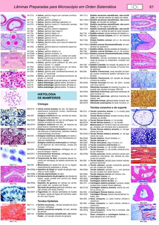 Lâminas Preparadas para Microscópio em Orden Sistemática 61 
Av124d 
Ma101d 
Ma1021h 
Ma1033f 
Ma104h 
Ma105f 
Ma1055g 
Ma111c 
Ma114c 
Ma116d 
Ma117e 
Ma118d 
Ma1201d 
Ma1202d 
Ma121e 
Ma1252f 
Ma1278d 
Ma131d 
Ma136d 
Ma1365d 
Ma135d 
Ma138e 
Av121d • Gallus, galinha língua com camada cornifica-da 
grossa s.t. 
Av113c Gallus, galinha esôfago s.t. 
Av114c • Gallus, galinha estômago glândular s.t. 
Av127d • Gallus, galinha moela s.t. mostrando camada 
cornificada grossa 
Av115c • Gallus, galinha intestino delgados.t. 
Av136c Gallus, galinha tripa cega s.t. 
Av116c • Gallus, galinha fígado s.t. 
Av122d Gallus, galinha pancreas s.t. 
Av117c • Gallus, galinha rim s.t. 
Av137c Gallus, galinha tubo mesonefro s.t. 
Av119d • Gallus, galinha ovário com ovos em desenvol-vimento 
s.t. 
Av120d • Gallus, galinha testículo mostrando esperma-togenese 
s.t. 
Av123d • Gallus, galinha cérebro s.t. 
Av1245c • Gallus, galinha cerebelo, s.t. 
Av1247f Gallus, galinha cerebelo, s.t. corado com prata 
Av139d Gallus, galinha parte anterior de olho com cíli-os 
e membrana nictitating s.l. sagital 
Av140e • Gallus, galinha parte posterior do olho com 
retina e pecten, s.l. sagital 
Av155e Gallus, galinha, sec.horizontal sec. de retina 
Av135c Gallus, galinha crista de galo s.t. 
Av124d • Gallus, galinha pele comdesenvolvimento de 
penas, s.l. horizontal 
Av125d • Gallus, galinha pele comdesenvolvimento de 
penas, s.l. vertical 
Av126d • Gallus, galinha pele do pé sem penas, s.l. vertical 
Av211f Gallus embriologia: galinha embrio, 36 horas s.t. 
Av212f Gallus embriologia: galinha embrio, 48 horas s.t. 
Av213f Gallus embriologia: galinha embrio, 72 horas s.t. 
HISTOLOGIA 
DE MAMÍFEROS 
Citologia 
Ma101d • Célula animal simples em sec. de fígado de 
salamandra mostrando núcleo, membranas 
celulares e citoplasma. 
Ma102f Estágios mitóticos em sec. através de medu-la 
vermelha de mamífero 
Ma1023f Estágios mitóticos em sec de esfregaço de 
medula vermelha de mamífero 
Ma1021h Estágios mitóticos em sec. de blastula de 
peixe branco mostrando fusos* 
Ma1033f • Estágios meióticos (maturação) em sec. atra-vés 
testículo of salamander, selected material 
mostrandolarge structures * 
Ma103f • Estágios meióticos (maturação) em testícu-lo 
de camundongo, sec. ferro-hematoxilina co-rado 
por Heidenhain 
Ma1031f Estágios meióticos (maturação) em esfrega-ço 
de testículo de camundongo, corado por 
Feulgen * 
Ma104h • Cromossomos Humanos, esfregaço de cul-tura 
de sangue, macho * 
Ma1041i • Cromossomos Humanos, esfregaço de cul-tura 
de sangue, fêmea * 
Ma1045f • Corpúsculos de Barr (cromatina sexual hu-mana) 
em esfregaço de epitélio escamoso de 
fêmea* 
Ma105f • Mitocôndria em seção fina de rim ou fígado, 
especialmente preparada e corada 
Ma1055g • Aparelho de Golgi em seção de gânglio espi-nhal 
ou outro órgão * 
Ma1058e • Células pigmentadas da pele 
Ma1061e • Armazenamento de glicogênio nas células de 
fígado, seção corada com carmim por Beast 
ou reação PAS 
Ma1063e Depósito de gordura em células de cartila-gem 
costal, sec. corada com Sudan 
Ma1065f Secreção de gordura glândula mamária, sec-ção 
corada com ácido Osmico 
Ma1067f • Fagocitose em células estreladas de Kupfer 
do fígado, seção de fígado de mamífero injeta-do 
com azul tripano 
Tecidos Epiteliais 
Ma111c • Epitélio escamoso , células isoladas da boca 
humana, esfregaço 
Ma1113d Epitélio escamoso simples, em sec. através 
da córnea 
Ma112c • Epitélio escamoso estratificado, não-corni-ficado 
, em secção através da gengiva 
Ma1121c Epitélio escamoso estratificado, não-cornifi-cado, 
em secção através da vagina de coelha 
Ma1124d • Epitélio escamoso estratificado, não-corni-ficado, 
em secção de esôfago 
Ma1125d Epitélio escamoso estratificado, não-corni-ficado, 
s.t. de vagina de porca 
Ma1127d Epitélio escamoso estratificado, não-cornifi-cado, 
em s.l. vertical de pele do corpo humano 
Ma113d • Epitélio colunar, células isoladas do intestino u.i. 
Ma114c • Epitélio colunar simples, em s.t. de intestino 
delgado 
Ma1142e Simple Epitélio colunar, em s.t. de vesícula 
humana 
Ma1145d • Epitélio colunar Pseudostratificado, em sec. 
através do epidídimo 
Ma115d • Epitélio ciliado, células isoladas da traquéia u.i. 
Ma116d Epitélio colunar Simples, em s.t. de oviduto 
Ma1162d • Epitélio colunar Pseudostratificado ciliado, 
em s.t. de traquéia 
Ma117e Endotélio, células endoteliais de pequenas 
veias de sangue no mesentério, coradas com 
prata e u.i. 
Ma118d • Epitélio Cuboidal, em secção. de papila do rim 
Ma1182e Epitélio Cuboidal, em secção of human tirói-de 
glândula 
Ma120e Epitélio Transicional, duas secções da bexi-ga 
urinária mostrando epitélio contraído e ex-tendido 
Ma1201d • Epitélio Transicional, em secção de bexiga 
urinária de ovelha 
Ma1202d Células mucosas em sec. de cólon, corada 
com muci-carmin 
Ma1203e Glândulas mucosas de intestino humano, co-loração 
das células mucosas, PAS-HE 
Ma1204d Glândulas holócrinas, glândulas sebáceas de 
pele humana, s.l. 
Ma1205c Glândulas apócrinas, glândula mamária de 
ovelha, sec. 
Ma1206e Glândulas ecrinas, glândula salivar humana, sec. 
Ma1207d Glândulas sudoríparas em pele humana, s.t. 
Tecidos conectivo e de suporte 
Ma121e • Tecido conectivo areolar, u.i. e corado para 
mostrar fibras e células 
Ma122d Tecido fibroso branco, tendão humano, fibras 
isoladas do tendão 
Ma123d • Tecido fibroso branco, s.l. do tendão 
Ma1231d Tecido fibroso branco, s.t. do tendão 
Ma1234f Mastocistos em Omento maior de camundon-go, 
coradas com toluidina azul e paracarmin 
Ma124d Tecido fibroso elástico amarelo, s.l. de liga-mento 
da nuca 
Ma1242e • Tecido fibroso elástico amarelo, s.t. de liga-mento 
da nuca 
Ma1244d Tecido elástico, fibras isoladas u.i. 
Ma125d Tecido reticular s.t. 
Ma1252f Fibras reticulares, baço humano, s.t. 
Ma126d • Tecido conectivo embrionário s.t. 
Ma127d • Tecido mucoso, s.t. de cordão umbilical 
Ma1275f Tecido mucoso, s.t. de cordão umbilical cora-do 
por Wharton 
Ma1278d Tecido vesicular, tecido conectivo celular sem 
substância intercelular, sec. através da noto-córdia 
de tubarão 
Ma128c • Tecido adiposo, secção para mostrar células, 
gordura removida 
Ma129e • Tecido adiposo, secção mostrando gordura 
em situ corada por Sudan 
Ma1292e Tecido adiposo, secção ou u.i. com gordura 
em situ corada com ácido ósmico 
Ma1294c Tecido adiposo marron de macaco, sec. 
Ma130c • Cartilagem hialina, s.t. 
Ma1302c Cartilagem hialina de gato, s.t. 
Ma1305d Cartilagem hialina de feto, s.t. 
Ma131d • Cartilagem elástica amarela, humana, seção 
corada para mostrar fibras elásticas 
Ma1312d Cartilagem elástica amarela, orelha de coe-lho 
ou porco, s.t. 
Ma132d • Cartilagem fibrosa branca, secção 
Ma1323f Cartilagem fibrosa, discos intervertebrais hu-mano, 
sec. 
Ma135d • Osso compacto, s.t. para mostrar células e 
canalículo 
Ma136d • Osso compacto, s.l. para mostrar células e 
canalículo 
Ma1365d • Osso enponjoso, s.t. 
Ma1367g Osso compacto, fundo fino e montado, não 
descalcificados * 
Ma137e Osso compacto e cartilagem hialina s.t., 
duas secçõos em uma lâmina 
 