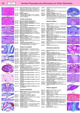 62 Lâminas Preparadas para Microscópio em Orden Sistemática 
Ma231c 
Ma2323c 
Ma234c 
Ma239 
Ma252d 
Ma253d 
Ma258g 
Ma257e 
Ma313f 
Ma321c 
Ma331c 
Ma151d 
Ma152d 
Ma1542d 
Ma154d 
Ma175d 
Ma178e 
Ma179f 
Ma190c 
Ma211e 
Ma212e 
Ma216c 
Ma138e • Desenvolvimento do osso, ossificação intracar-tilaginosa 
no dedo de mãos ou pés de feto, s.l. 
Ma139e • Desenvolvimento do osso, ossificação inter-membranosa 
de cabeça fetal (osso cranial), s.l. 
vertical 
Ma140d • Medula amarela, s.t. 
Ma141e Junta de dedo de mãos ou pés, s.l. sagital 
Ma142e Junta de joelho de feto, s.l. de tendão mos-trando 
ossificação* 
Tecidos musculares 
Ma151d • Músculo estriado (esquelético), s.l. 
Ma152d Músculo estriado (esquelético), s.t. 
Ma153d • Músculo estriado (esquelético), mostrando 
fibras isoladas u.i. 
Ma1535f Músculo estriado (esquelético), s.l. corada 
para miofibrilas* 
Ma1537f Músculo estriado (esquelético), fina s.l. co-rada 
para mostrar detalhes das estrias 
Ma154d • Músculo involuntário liso, s.l. e s.t. 
Ma1542d Músculo involuntário liso, s.l. somente 
Ma155d • Músculo involuntário liso, fibras isoladas u.i. 
Ma1555f Músculo involuntário liso, sec. corada para 
miofibrilas * 
Ma156d • Músculo cardíaco, s.l. e s.t. 
Ma158e • Músculo cardíaco, mostrando fibras isoladas u.i. 
Ma157e Músculo cardíaco, s.l. e s.t. coradas para 
mostrar discos intercalados 
Ma159e Músculo cardíaco, para mostras fibras de 
Purkinje* 
Ma160d Junção do músculo-tendão, s.l. 
Ma165f Tipos de músculos, lâmina composta com s.l. 
de músculos estriado, liso e cardíaco 
Sistema circulatório 
Ma171d Artéria de coelho, s.t. coloração de rotina 
Ma172d • Artéria de coelho, s.t. corada para fibras elás-ticas 
Ma1725f Artéria de coelho, s.t. corada para miofibrilas* 
Ma173d Veia de coelho, s.t. coloração de rotina 
Ma174d • Veia de coelho, s.t. corada para fibras elásticas 
Ma182e Válvula da veia de coelho, s.l. ou u.i. * 
Ma175d Artéria e veia de pequeno tamanho em uma 
lâmina, porco da guinea, s.t. 
Ma1752d Artéria, veia e capilar, porco da guinea, s.t. 
Ma1753e Artéria, veia e nervo, porco da guinea, s.t. 
Ma176d • Aorta de coelho, s.t. coloração de rotina 
Ma1762d Aorta de coelho, s.t. corada para fibras elásticas 
Ma178e • Pequenos vasos sanguíneos em mesentério 
de coelho, u.i. 
Ma179f • Coração de camundongo, s.l. sagital inteira 
Ma180d Coração of camundongo, s.t. 
Ma181f Aurícula de orelha de coelho, sec. injetada para 
mostrar anastomose de vasos sanguíneos 
Ma190c • Esfregaço de sangue Humano, corado com 
Giemsa 
Ma1902c Esfregaço de sangue Humano, corado com 
Wright 
Ma195c Esfregaço de sangue de coelho, , corado com 
Giemsa 
Ma196c Esfregaço de sangue de gato, corado com 
Giemsa 
Ma1963c Esfregaço de sangue de camelo, eritrócitos 
elipticais 
Ma1965c Esfregaço de sangue de rato, corado com 
Giemsa 
Ma197c • Esfregaço de sangue de sapo, eritrócitos 
nucleados 
Ma1973c Esfregaço de sangue de Amphiuma, eritró-citos 
grandes 
Sistema respiratório 
Ma211e • Região Nasal de pequeno mamífero (camun-dongo 
ou rato), s.t. mostrando epitélio respira-tório 
e olfatório, osso etc. 
Ma212e Laringe de camundongo, sagittal s.l. 
Ma213e Laringe de camundongo, frontal s.l. 
Ma214d Traquéia de gato ou coelho, s.t. com epitélio 
ciliado, cartilagem etc. 
Ma215d • Traquéia gato ou coelho, s.l. 
Ma2155e Brônquios de gato ou cachorro, s.t. 
Ma216c • Pulmão de gato, s.t. coloração de rotina para 
mostrar detalhes 
Ma217d Pulmão de gato, s.t. corado para fibras elásticas 
Ma218e Pulmão de gato, s.t. coloração de prata 
Ma2183f Pulmão de gato, sec. mostrando vasos san-guíneos 
injetadas 
Ma220d Pulmão de gato, secção mostrando arranjo de 
alvéolo 
Ma2185c Pulmão de rato, s.t. 
Ma219d Pulmão de feto humano, s.t. mostra tecidos em 
desenvolvimento 
Ma222d Traquéia e esôfago de coelho, s.t. 
Ma225e • Câncer de pulmão, humano, carcinoma, sec. 
Ma226h Patologia do pulmão, lâmina composta: pul-mão 
de humano normal, pulmão com partícu-las 
de carbono, enfisema, e pulmão com cân-cer, 
quatro secções 
Sistema linfático 
Ma231c • Nódulo linfático de porco, s.t. coloração de 
rotina 
Ma232f Nódulo linfático de porco, s.t. mostra tecido 
reticular (células removidas)* 
Ma2323c Nódulo linfático de gato, s.t. coloração de rotina 
Ma2325g Vasos linfáticos, u.i. de mesentério, com válvula* 
Ma233e • Tonsila, humana, s.t. 
Ma234c • Baço de coelho, s.t. mostrando cápsula, pulpa 
Ma235f Baço de coelho, s.t. injetada para mostrar va-sos 
sanguíneos 
Ma2353c Baço de porco da guinea, s.t. 
Ma236d • Medula óssea vermelha de vaca, sec. fina 
Ma237d Medula óssea vermelha de vaca, esfregaço 
especialmente corada 
Ma2375f Medula óssea vermelha, esfregaço com nor-moblastos 
* 
Ma238f Timo de criança, s.t. com corpúsculos de Hassall 
Ma239d • Timo de gato jovem, s.t. com corpúsculos de 
Hassall 
Ma240d Timo glândula de vaca, sec. 
Glândulas endócrinas 
Ma252d • Glândula Tiróide de vaca, sec. mostrando co-lóide 
Ma2523d Glândula Tiróide de gato, sec. 
Ma2525e Traquéia com Glândula Tiróide de rato, s.t. 
Ma270f Glândula Tiróide, sec. mostrando insuficiên-cia 
da glândula 
Ma271f Glândula Tiróide, sec. mostrando extra ativi-dade 
da glândula 
Ma262f Glândula Paratiróide de porco, s.t. 
Ma263f Glândulas Paratiróide e Tiróide de mamífe-ro, 
s.t. 
Ma274f Corpo carótido de porco, sec. 
Ma253d • Glândula Adrenal (Gl. suprarenal) de coelho, 
s.t. através cortex and medulla 
Ma2534f Glândula Adrenal de coelho, s.t. corada com 
prata para mostrar fibras nervosas na medula 
Ma2535d Glândula Adrenal de gato, s.t. 
Ma254f • Ilhotas de Langerhans, s.t. de pâncreas de 
gato, detalhes celulares 
Ma2543d Pâncreas com ilhotas de Langerhans de gato, 
sec. 
Ma255e • Glândula Pituitária (hipófise), s.l. sagital de 
órgão completo de vaca ou porco mostrando 
adeno- e neurohipófise 
Ma259h Glândula Pituitária, s.t. of infundibulum spe-cially 
stained to show neurosecretes * 
Ma258g Glândula Pituitária, s.t. de porção glandular, 
detalhes celulares 
Ma257e • Corpo Pineal (Epífise) de vaca ou porco, s.t. 
Ma2572d Corpo Pineal (Epífise) de ovelha, s.t. 
Ma2574d Células de Leydig em testículo de camundon-go, 
s.t. 
Sistema digestivo 
Ma310c • Lábio de camundongo, s.l. sagital 
Ma311d • Dente humano, s.t. de coroa 
Ma312d Dente humano, s.t. de raiz 
Ma313f Dente humano, s.l. inteira 
Ma314e Gengiva com raiz e dente de porco da gui-nea, 
s.l. sagital 
Ma3142e Gengiva com raiz e dente de porco da gui-nea, 
s.t. 
Ma315e • Desenvolvimento de dente, estágio inicial s.l. 
Ma316e • Desenvolvimento de dente, estágio mediano s.l. 
Ma317e • Desenvolvimento de dente, estágio tardio s.l. 
Ma321c Língua de camundongo, s.l. sagital inteira 
Ma322c Língua de camundongo, s.t. 
Ma323d • Língua de gato, papila com grossa camada 
cornificada, s.l. 
Ma326c • Palato mole de coelho, s.t. 
 
