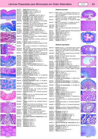 Lâminas Preparadas para Microscópio em Orden Sistemática 63 
Ma334d 
Ma3365e 
Ma3368d 
Ma338c 
Ma342d 
Ma3463c 
Ma346d 
Ma343f 
Ma354d 
Ma352d 
Ma357d 
Ma413e 
Ma4157d 
Ma4214d 
Ma431d 
Ma433g 
Ma4405c 
Ma4353c 
Ma4614d 
Ma461d 
Ma468d 
Ma511d 
Ma327c Palato duro de coelho, s.t. 
Ma331c • Esôfago de gato ou cachorro, s.t. 
Ma3315c Esôfago de gato ou cachorro, s.l. 
Ma3316c Esôfago de ovelha, s.l. 
Ma3318e Esôfago – estômago junção de gato, s.l. 
Ma333d • Estômago de gato, região cardíaca s.t. 
Ma334d • Estômago de gato, região fundica s.t. 
Ma335d • Estômago de gato , região pilórica s.t. 
Ma3352s Estômago, lâmina composta de três regiões: 
cardíaca, fúndica e pilórica s.t. 
Ma3361f Estômago, sec. através de glândulas gástri-cas 
mostra diferentes tipos de células 
Ma332f Estômago de gato , s.t. injetada para mostrar 
vasos sanguíneos 
Ma336f Estômago de rato, s.l.sagital inteira 
Ma3368d Estômago de porco, região cardíaca s.t. 
Ma3365e Estômago – duodeno junção de gato , s.l. 
Ma337c • Duodeno de gato ou cachorro, s.t. mostrando 
glândulas de Brunner 
Ma3371d Duodeno de macaco, sec. mostrando glându-las 
de Lieberkuehn 
Ma3373e Duodeno, glândulas mucosas coradas com 
PAS-HE 
Ma338c • Jejuno de gato ou cachorro, s.t. 
Ma3383e Jejuno, glândulas mucosas coradas com PAS-HE 
Ma339c Íleo de gato ou cachorro, s.t. mostrando pla-cas 
de Peyer 
Ma3393e Íleo, glândulas mucosas coradas com PAS-HE 
Ma3395s Intestino delgado, lâmina composta de três 
regiões: duodeno, íleo e jejuno s.t. 
Ma343f • Intestino delgado de cachorro, injetada para 
mostrar os vasos sanguíneos e rede capilar s.t. 
Ma340d Intestino delgado de rato, s.t. 
Ma3403c Intestino delgado de gato , s.t. 
Ma3405d Intestino delgado de cavalo, s.t. 
Ma341d • Apêndice vermiforme, humano s.t. 
Ma342d Apêndice vermiforme, de coelho s.t. 
Ma344c • Ceco de coelho, s.t. 
Ma345c Cólon (intestino grosso) de porco, s.t. 
Ma346d • Cólon, s.t. corado para demonstrar células 
mucosas 
Ma3463c Cólon de gato , s.t. 
Ma3465e Íleo-cecal junção de gato , s.l. 
Ma347c Reto de gato ou coelho, s.t. 
Ma3472e Canal anal e reto de gato , s.l. 
Ma3474d Glândula Anal de cachorro s.t. 
Ma351d • Glândula Parótida de gato , s.t. de glândula 
serosa pura 
Ma352d • Glândula Submaxilar, s.t. de glândulas mis-tas 
serosas e mucosas 
Ma353d • Glândula Sublingual de gato , s.t. de glându-la 
mucosa pura 
Ma3535f Glândulas Salivares, lâmina composta: paróti-da, 
sublingual e submaxilar, s.t. 
Ma354d • Pâncreas de porco, s.t. mostrando ilhotas de 
Langerhans 
Ma3542d Pâncreas de gato , sec. corada com Heide-nhain 
ferro-hematoxilina 
Ma3543f Pâncreas de gato , sec. mostrando veias inje-tadas 
Ma357d • Fígado de porco, s.t. mostrando tecido conec-tivo 
bem desenvolvido 
Ma356d Fígado de gato , s.t. 
Ma3562f Fígado de gato , sec. mostrando veias injeta-das 
Ma3564f Fígado de cachorro, sec. mostrando veias in-jetadas 
Ma358d Fígado de embrião de camundongo, s.t. mos-trando 
origem de células sanguíneas 
Ma359f • Fígado, s.t. corada para mostrar células estre-ladas 
de Kupffer 
Ma360e • Fígado, s.t. corada para glicogênio 
Ma361f Fígado, fina sec. corada para mitocôndria 
Ma3613f Fígado, s.t. para mostrar duto bilear* 
Ma3614f Fígado, sec.corada com prata para mostrar fi-bras 
reticulares 
Ma362c Duto Biliear (Ductus choledochus) de coe-lho, 
s.t. 
Ma363d • Vesícula de coelho, s.t. 
Ma3634c Vesícula de ovelha, s.t. 
Ma371d Rúmen de vaca, s.t. 
Ma372d Retículo de vaca, s.t. 
Ma373d Omasso de vaca, s.t. 
Ma374d Abomasso de vaca, s.t. 
Sistema excretor 
Ma411d • Rim de gato , s.t. mostrando córtex com cor-púsculos 
de Malpighi e medula com tubos, co-rado 
com Mallory 
Ma413e • Rim de camundongo, s.l. sagital através órgão 
completo com córtex, medula e pelvis 
Ma414c Rim de camundongo, s.t. através the órgão 
completo 
Ma415f • Rim de camundongo, s.t. corada com azul tri-pano 
para demonstrar armazenamento 
Ma4156d Rim de cachorro, s.t. 
Ma4157d Rim de coelho, s.t. 
Ma416f Rim, sec. fixad e corad apara demonstrar mi-tocôndria 
Ma417f Rim, sec. injetada mostrando vasos sanguíneos 
Ma418c Papila renal de coelho, s.t. 
Ma4183d Pelvis renal de gato , s.t. 
Ma419e Câncer de rim humano, s.t. 
Ma421c • Ureter de coelho, s.t. 
Ma4214d • Ureter de porco, s.t. 
Ma422c • Bexiga urinária de coelho, s.t. 
Ma423c Uretra de coelho, s.t. 
Sistema reprodutor 
Ma431d • Ovário de gato , s.t. para estudo geral, mostra 
folículos de Graafian primário e secundário 
Ma433g Ovário, sec. para mostrar cumulus oophorus 
com célula-ovo* 
Ma4332f Ovário, sec. para mostrar folículos de Graafi-an 
com célula-ovo 
Ma434d • Ovário, sec. para mostrar corpo lúteo 
Ma4341d Ovário de coelho, s.t. 
Ma4342e Ovário, sec. de órgão juvenil mostrando de-senvolvimento 
de tecido 
Ma435c • Tubo de Falópio de porco, s.t. 
Ma4353c Tubo de Falópio de gato , s.t. 
Ma4354c Tubo de Falópio de coelho, s.t. 
Ma4355d Tubo de Falópio com infundibulo de ovelha, s.l. 
Ma437d • Útero de porco ou coelho, estágio de repouso, s.t. 
Ma438d Útero de porco ou coelho, estágio de gesta-ção, 
s.t. 
Ma439d • Útero de rato com embrião em situ, s.t. 
Ma4393d Útero de ovelha, s.t. 
Ma4394c Útero, juvenil, de gato , s.t. 
Ma440e • Placenta, humana , s.t. 
Ma4405c Placenta de gato , s.t. 
Ma445f • Embrião de camundongo, s.l. sagital de es-pécime 
inteiro 
Ma446d Embrião de camundongo, s.t. da cabeça 
Ma447d • Embrião de camundongo, s.t. da região torá-xica 
Ma448d Embrião de camundongo, s.t. da região ab-dominal 
Ma449e Embrião de porco, s.t. 
Ma451d • Vagina de porco, s.t. 
Ma4513c Vagina de coelho, s.t. 
Ma452d Vagina e uretra de coelho ou gato, s.t. 
Ma453d • Cordão umbilical de vaca, s.t. 
Ma454d Cordão umbilical de porco, s.t. 
Ma461d • Testículo de camundongo, s.t. mostrando es-permatogenese 
Ma4613d Testículo de rato, s.t. mostrando espermato-genese 
Ma4614d Testículo de coelho, s.t. mostrando esperma-togenese 
Ma462d • Testículo de touro, s.t. mostrando espermato-genese 
Ma4623f Testículo de macaco, mostrando insuficiência, s.t. 
Ma4624f Testículo de macaco, mostrando s.t. extra ati-va 
Ma463d • Epidídimo de touro, s.t. 
Ma4631d Epidídimo de rato, s.t. 
Ma4632e Testículo e epidídimo de rato, s.t. 
Ma4634e Testículo e epidídimo de gato , s.t. 
Ma464d • Esperma, esfregaço de touro 
Ma4642d Esperma, esfregaço de rato 
Ma466d • Cordão espermático (canal deferente) de por-co 
ou coelho, s.t. 
Ma467d • Vesícula seminal (Gl. vesiculosa) de porco, 
s.t. 
Ma4672d Vesícula seminal (Gl. vesiculosa) de rato, s.t. 
Ma468d • Próstata de macaco, s.t. 
Ma4683c Próstata de rato, s.t. 
Ma469d • Pênis de porco da guinea, s.t. 
Ma470d Pênis de coelho, s.t. 
 