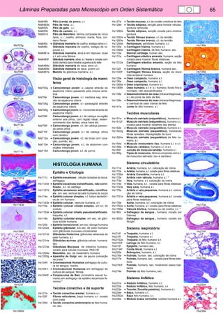 Lâminas Preparadas para Microscópio em Orden Sistemática 65 
Ma703g 
Ma708f 
Ma712e 
Ma713e 
Ho111c 
Ho1127d 
Ho1143e 
Ho1045f 
Ho126d 
Ho123f 
Ho1282e 
Ho130e 
Ho135e 
Ho138e 
Ho139e 
Ho152e 
Ho171e 
Ho173e 
Ho214f 
Ho216e 
Ho233e 
Ho236e 
Ma649b Pêlo (cerda) de porco, u.i. 
Ma6493b Pêlo de rena, u.i. 
Ma652b Pêlo de gato , u.i. 
Ma653b Pêlo de camelo, u.i. 
Ma651d Pêlo de Mamífero, lâmina composta de cinco 
tipos, u.i.: coelho, almiscar, marta, foca, cor-deiro 
Persa 
Ma645c • Glândula mamária de coelho, estágio ativo s.t. 
Ma646c Glândula mamária de coelho, estágio de re-pouso 
s.t. 
Ma6461e Glândula mamária, ativa e em repouso, duas 
s.t. em uma lâmina 
Ma6465f Glândula mamária, ativa, s.t. fixada e corada com 
ácido ósmico para mostrar a gordura do leite 
Ma6468d Glândula mamária de vaca, ativa s.t. 
Ma6469d Glândula mamária de vaca, juvenil s.t. 
Ma6467e Mamilo de glândula mamária, s.l. 
Visão geral de histologia de mamí-feros 
Ma703g • Camundongo jovem, s.l.sagital através de 
espécime inteiro passando pela coluna verte-bral 
Ma704i Camundongo jovem, s.l. mediana sag. atra-vés 
de espécime inteiro 
Ma705g Camundongo jovem, s.l. parasagital através 
de espécime inteiro 
Ma706g • Camundongo jovem, s.l. horizontal através de 
espécime inteiro 
Ma708f Camundongo jovem, s.t. de cabeça na região 
anterior aos olhos, com região nasal, desen-volvimento 
dos dentes, sinus hairs etc. 
Ma709f • Camundongo jovem, s.t. de cabeça passan-do 
pelos olhos 
Ma710f Camundongo jovem, s.t. de cabeça, olhos 
com cérebro 
Ma712e • Camundongo jovem, s.t. de tórax com cora-ção, 
pulmão, etc. 
Ma713e • Camundongo jovem, s.t. de abdomen com 
órgãos intestinais 
Ma714d Camundongo jovem, s.t. de perna 
HISTOLOGIA HUMANA 
Epitélio e Citologia 
Ho111c • Epitélio escamoso , células isoladas da boca, 
esfregaço 
Ho1124e • Epitélio escamoso estratificado, não-corni-ficado 
, s.t. do esôfago 
Ho1127d Epitélio escamoso estratificado, cornifica-do 
, em sec. vertical de pele humana do corpo 
Ho114e • Epitélio colunar simples, s.t. tubos sectetóri-os 
de rim humano 
Ho1143e • Epitélio colunar, vesícula humana, s.t. 
Ho116e • Epitélio colunar ciliado simples, em s.t. do 
oviduto 
Ho1163e • Epitélio colunar ciliado pseudostratificado, 
traquéia, s.t. 
Ho118e Epitélio cuboidal simples, em sec. de glân-dula 
tiróide humana 
Ho120e • Epitélio transicional, em sec. bexiga humana 
Ho1202e Epitélio glândular, em sec. de cólon humano 
com glândulas mucosas unicelulares 
Ho1213d Glândulas Holócrina, glândulas sebáceas de 
pele humana, s.l. 
Ho1214e Glândulas ecrínas, glândula salivar, humana, 
sec. 
Ho1215e Glândulas Mucosas de intestino humano, 
corado para células mucosas, PAS-HE 
Ho1204e Mesotélio, sec. de mesentério humano 
Ho1205g • Aparelho de Golgi, sec. de jejuno coloração 
de prata * 
Ho104h • Cromossomos Humanos esfregaço de cultu-ra 
de sangue, macho 
Ho1041i • Cromossomos Humanos em esfregaço de 
cultura de sangue, fêmea 
Ho1045f • Corpúsculos de Barr (cromatina sexual hu-mana) 
em esfregaço de epitélio escamoso fe-minino 
* 
Tecidos conectivo e de suporte 
Ho121e • Tecido conectivo areolar, humano u.i. 
Ho123f Fibras reticulares, baço humano, s.t. corado 
com prata 
Ho126d • Tecido conectivo embrionário de feto huma-no, 
sec. 
Ho127e • Tecido mucoso, s.t. de cordão umbilical de feto 
Ho128e • Tecido adiposo, secção para mostrar células, 
gordura removida 
Ho1282e Tecido adiposo, secção corada para mostrar 
gordura 
Ho1292e • Tecido fibroso branco, s.l. do tendão 
Ho1293e Tecido fibroso branco, s.t. do tendão 
Ho1295e Peritoneum, peritôneo humano, s.t. 
Ho130e • Cartilagem hialina, humano s.t. 
Ho1305e Cartilagem hialina, de feto humano, sec. 
Ho133e Sternal cartilage, human sec. 
Ho131e • Cartilagem elástica amarela, humana, seção 
corada para mostrar fibras elásticas 
Ho1312e Cartilagem elástica amarela, seção de feto 
humano 
Ho132f • Cartilagem fibrosa branca, humana sec. 
Ho1322f Cartilagem fibrosa branca, seção de disco 
intervertebral humano 
Ho135e • Osso compacto, humano s.t. 
Ho136e Osso compacto, humano s.l. 
Ho1365e • Osso enponjoso, humano s.t. 
Ho1368h Osso humano, s.t. e s.l. humano, fundo fino e 
montado, não descalcificados * 
Ho138e • Desenvolvimento do osso (intracartilaginosa), 
s.l. de ponta de deto de feto 
Ho139e • Desenvolvimento do osso (intracartilaginosa), 
s.l.vertical de osso cranial de feto 
Ho141e Junta de feto humano, s.l. 
Tecidos musculares 
Ho151e • Músculo estriado (esquelético),, humano s.l. 
Ho1512f Músculo estriado (esquelético), humano s.l., 
corada para mostrar detalhes das estrias 
Ho152e • Músculo estriado (esquelético), humano s.t. 
Ho1522g Músculo estriado (esquelético), mostrando 
fibras isoladas, impregnação de ouro 
Ho1524e Músculo estriado (esquelético) de feto hu-mano, 
s.l. 
Ho154e • Músculo involuntário liso, humano s.l. e s.t. 
Ho156e • Músculo cardíaco, humano s.l. e s.t. 
Ho160f Junção do músculo-tendão, humano s.l. 
Ho165g Tipos de músculos, lâmina composta com s.l. 
de músculos estriado, liso e cardíaco 
Sistema circulatório 
Ho171e Artéria, humana, s.t. coloração de rotina 
Ho172e • Artéria, humana, s.t. corada para fibras elásticas 
Ho1726e Artéria Coronária, humana s.t. 
Ho170e Artéria com válvula, humana s.l. * 
Ho173e Veia, humana, s.t. coloração de rotina 
Ho174e • Veia, humana, s.t. . corada para fibras elásticas 
Ho1743e Veia cava, humana s.t. 
Ho175e Artéria e veia pequenas, humana s.t. colora-ção 
de rotina 
Ho1751e Artéria e veia pequenas, humana s.t. corada 
para fibras elásticas 
Ho176e Aorta, humana, s.t. coloração de rotina 
Ho1762e • Aorta, humana, s.t. corada para fibras elásticas 
Ho1765e Válvula Aórtica, humana ou de ovelha, s.t. * 
Ho180c • Esfregaço de sangue , humano, corado por 
Giemsa 
Ho1802c Esfregaço de sangue , humano, corado por 
Wright 
Sistema respiratório 
Ho214f • Traquéia, humana s.t. 
Ho215f Traquéia, humana s.l. 
Ho2152e Traquéia de feto humano s.t. 
Ho2153f Laringe de feto humano, s.t. 
Ho213f Epiglóte, humano sec. 
Ho2134f Corda Vocal, humana s.t. 
Ho220e Brônquios, humano, s.t. 
Ho216e • Pulmão, human, sec. coloração de rotina 
Ho217e Pulmão, humano, sec. . corada para fibras elás-ticas 
Ho2183f Pulmão, humano, sec. mostrando vasos inje-tados 
Ho219e Pulmão de feto humano, sec. 
Sistema linfático 
Ho231e • Nódulo linfático, humano s.t. 
Ho232e Nódulo linfático, feto humano, s.t. 
Ho233e • Tonsila (Tonsilla palatina), humana s.t. 
Ho234e • Baço, humano s.t. 
Ho2352e Baço feto humano, s.t. 
Ho236e • Medula óssea vermelha, costela humana s.t. 
 