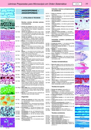 Lâminas Preparadas para Microscópio em Orden Sistemática 77 
As111c 
As114d 
As1141d 
As1157f 
As1142e 
As117f 
As119g 
As148d 
As1486c 
As131c 
As132c 
As146d 
As135d 
As137b 
As121e 
As122d 
As123e 
As1431c 
As145c 
As151d 
As1547d 
As160d 
ANGIOSPERMAE – 
ANGIOSPERMAS 
I. CITOLOGIA E TECIDOS 
Núcleo celular, divisão celular, 
cromossomos 
As111c • Células da epiderme de Allium cepa (cebo-la), 
montagem plana mostrando as células tí-picas 
da planta com núcleos, citoplasma e 
membrana celular 
As1125d Células da epiderme de Allium cepa (cebo-la), 
u.i. de epiderme de escala de bulbo, lâmi-na 
montada e sem coloração para observação 
de fase de contraste 
As1127s Células da epiderme de Allium cepa (cebo-la), 
plasmólise, u.i. pedaço túrgido e plasmoli-zado 
de epiderme de cebola para comparação 
As114d • Mitose, s.l. de pontas de raíz de Allium mos-trando 
todos os estágios de mitose da planta, 
cuidadosamente corada com ferro-hematoxina 
após Heidenhaim 
As1141d Mitose, s.l. da ponta da raíz de Allium mos-trando 
todos os estágios de mitose da planta 
cuidadosamente corada com corante quádru-plo 
As1142e Mitose, s.l. da ponta da raíz de Allium mos-trando 
todos os estágios de mitose da planta, 
corada com fucsina e fast green 
As115d Mitose, s.t. de pontas de raiz de Allium mos-trando 
todos os estágios da mitose da planta 
em vista polar 
As1155g Mitose, preparação isolada de pontas de raiz 
de Allium, mostra estágios mitóticos intactos, 
corada por Feulgen* 
As1157f Mitose, s.l. da ponta da raíz de Allium mos-trando 
todos os estágios de mitose da planta 
corada por Feulgen * 
As1158g Mitose, preparação isolada da ponta da raíz 
de Allium, , mostra estágios mitóticos intactos, 
corada com orceína 
As1159h Mitose, preparação isolada da ponta da raíz 
de Allium, tratada com colquicina para estági-os 
de metáfase, corada com orceína* 
As116d Mitose, s.l. de Vicia faba (feijão) ponta da raíz 
mostrando todos os estágios mitóticos 
As1165g Mitose, preparação isolada de ponta da raíz 
de Vicia faba, mostrando estágios mitóticos in-tactos, 
corada por Feulgen * 
As1166e Mitose, s.l. de pontas de raiz de Jacinto, mos-trando 
todas as fases da mitose, cuidadosa-mente 
corada (corante quádruplo). Cromosso-mos 
grandes para demonstração da mitose da 
planta. 
As1169g • DNA e RNA, fina s.l. da ponta da raíz de Allium, 
especialmente fixada e corada com metilgreen 
e pironina para mostrar DNA e RNA em dife-rentes 
cores * 
As117f • Meiose, s.t. de antera de Lilium mostrando as 
diferentes fases da divisão meiótica 
Organelas 
As112g Células da epiderme de Allium cepa (cebo-la), 
especialmente fixada e corada para mos-trar 
mitocôndria* 
As119g • Mitocôndria, fina s.l. da ponta da raíz de Allium 
especialmente fixada e corada para mostrar 
mitocôndria claramente 
As148d • Cloroplastos, u.i. de folha de Elodea ou Spi-nacea 
mostrando detalhes de grandes cloro-plastos 
As1481d Cloroplastos, em sec. de Tradescantia broto 
As1485c Cloroplastos, u.i. de pétala de Viola (violeta) 
As1486c Cloroplastos, s.t. de raíz de Daucus carota 
(cenoura) 
As1487c Cloroplastos, u.i. de pedaço de pétala deTro-paeolum, 
capuchinha 
As1488e Plasmodesmata, em s.t. de semente de pal-ma 
(Phytelephas) 
Inclusões: reserva e armazenamento 
de substâncias 
As131c • Grãos de aleurona, secção de endosperma 
de Ricinus 
As6611d Grãos de aleurona, s.t. de semente e cotilé-dones 
de Evonymus 
As132c • Grãos de amido, s.t. de tuberculo de Solanum 
tuberosum (batata) 
As1321c Grãos de amido, s.t. cotilédones de Vicia faba 
(feijão) 
As1322c Grãos de amido, s.t. de sêmen (grão) de Ave-na 
(aveia) 
As1323b Grãos de amido, esfregaço de Euphorbia (eu-fóbio) 
As1324b Grãos de amido, diferentes tipos de espéci-mes 
mistas u.i. 
As1325b Grãos de amido corroídos, u.i. de batata 
As133d • Gordura, s.t. de endosperma de Corylus (ave-leira) 
corada para mostrar gordura 
As146d • Reserva de celulose, s.t. de semente de Pho-enix 
(tâmara) 
Inclusões: cristais e produtos do 
metabolismo 
As135d • Cristais de inulina, c. t. de tubérculo de Dália 
As136d • Ácido tânico, s.t. de casca de Rosa 
As137b • Cristais de oxalato de cálcio, u. i. de pele de 
Allium seca 
As138c • Rafídes, s.t. de folha Impatiens 
As1381c Rafídes, s. t. de folha de bálsamo 
As1382d Células de Rafídes com rafídes em crescimen-to, 
s.l. de ponta de raiz de Jacinto 
As1383c • Areia cristalina, s.t. de Solanum tuberosum 
(batata) folha 
As1384d Cristais agrupados, s.t. de caule de Opuntia 
As459c • Cistolitos, s. t. de folha de Ficus elastica, planta 
da borracha India 
Tecidos meristemáticos 
As121e • Ápice do caule e tecido meristemático de Elo-dea, 
s. l. mostrando zona de crescimento e ori-gem 
de folha 
As1215f Ápice do caule e tecido meristemático de Elo-dea, 
s.l. mediana. Mostrando ponto de cresci-mento* 
As122d • Ápice do caule e tecido meristemático de As-pargos 
s.l. 
As123e Ápice do caule e tecido meristemático de Hi-ppuris 
s.l. 
As124e Ápice do caule e tecido meristemático de Co-leus 
s.l. 
As1145e Allium cepa, s.l. mediana de ponta da raíz para 
mostrar o tecido meristemático* 
As1146f Jacinto, s.l.mediana de ponta da raíz mostrando 
tecido meristemático e ponto de crescimento * 
Tecidos de suporte 
As140c • Células de madeira, maceradas e u.i. 
As141e • Tilosis, s.t. e s.l. de Robinia madeira 
As1431c Esclerídeos, s.t. do sêmen, (semente) de Pha-seolus 
(feijão) com esclerídeos paliçadicos 
As145c • Colênquima Angular, s.t. de caule de Lamium 
ou Salvia 
As1451c • Colênquima Lamelar, s.t. do caule de Sam-bucus 
As1452c • Colênquima Lacunar, s.t. stem of Petasites ou 
Lactuca 
As147b • Fibras de esclerênquima, isoladas, u. i 
As1471d Esclerênquima fibras de floema, s.t. e s.l. de 
caule de Linum (linho) 
As1472d Esclerênquima fibras de xilema, s.t. e s.l. de 
caule de Hypericum 
As150b • Células líberos de côco, isolado e u.i. 
As1505b Células líberos de Cinchona, isolado e u i. 
Tecidos condutores 
As151d • Vasos anular e espiral, s.l. 
As1525d Vasos anular e espiral, isolados e u.i. 
As153d • Vasos escaliformes, s.l. 
As1535d Vasos escaliformes, isolados e u.i. 
As154d • Vasos traqueideos pontuados, s.l. 
As1545d Vasos traqueideos pontuados, isolados e u.i. 
As1547d Vasos traqueideos pontuados, madeira de 
pinheiro s.l. 
 
