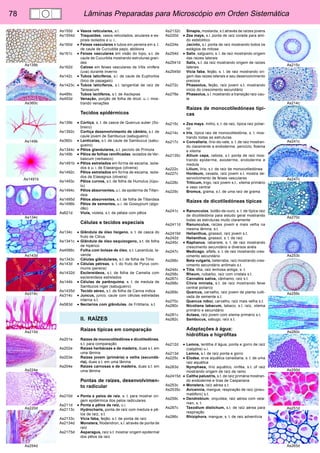 78 Lâminas Preparadas para Microscópio em Orden Sistemática 
As215c 
As214c 
As241c 
As247c 
As270c 
As253c 
As259c 
As260c 
As250d 
As251d 
As265d 
As139b 
As360c 
As149b 
As1491b 
As134c 
As143d 
As314c 
As210d 
As224e 
As220d 
As254d 
As155d • Vasos reticulares, s.l. 
As1554d Traqueídes, vasos reticolados, anulares e es-pirais 
isolados e u. i.. 
As160d • Feixes vasculares e tubos em peneira em s. t. 
de caule de Curcubita pepo, abóbora 
As161c • Feixes vasculares em visão do topo, s.t. de 
caule de Cucurbita mostrando estruturas gran-des 
As162d Calose em feixes vasculares de Vitis vinifera 
(uva) durante inverno 
As142c • Tubos laticíferos, s.l. de caule de Euphorbia 
(bico de papagaio) 
As1423c • Tubos laticíferos, s.l. tangential de raíz de 
Taraxacum 
As489c Tubos lactíferos, s.t. de Asclepias 
As493d Venação, porção de folha de dicot. u..i. mos-trando 
venações 
Tecidos epidérmicos 
As139b • Cortiça, s. t. de casca de Quercus suber (So-breiro) 
As1392c Cortiça desenvolvimento de câmbio, s.t. de 
caule jovem de Sambucus (sabugueiro) 
As360c • Lenticelas, s.t. de caule de Sambucus (sabu-gueiro) 
As1344c • Pêlos glandulares, s.t. pecíolo de Primula 
As149b • Pêlos de folhas ramificadas, isolados de Ver-bascum 
(verbasco) 
As1491b • Pêlos estrelados em forma de escama, isola-dos 
e u. i. de Elaeangus (oliveira) 
As1492c Pêlos estrelados em forma de escama, isola-dos 
de Elaeagnus (oliveira) 
As1493c Pêlos curvos, s.t. de folha de Humulus (lúpu-lo) 
As1494c Pêlos absorventes, u.i. de epiderme de Tillan-dsia 
As1495d Pêlos absorventes, s.t. de folha de Tillandsia 
As1496b Pêlos de sementes, u.i. de Gossypium (algo-dão) 
As621d Viola, violeta, s.t. de pétala com pêlos 
Células e tecidos especiais 
As134c • Glândula de óleo lisigeno, s. t. de casca do 
fruto de Citrus 
As1341c • Glândula de óleo esquizogeno, s.t. de folha 
de hipérico 
As4566c Folha com bolsas de óleo, s.t. Lavandula, la-vanda 
As1343c Células glândulares, s.t. de folha de Timo 
As143d • Células pétreas, s. t. do fruto de Pyrus com-munis 
(pereira) 
As1432d Esclereídeos, s.t. de folha de Camelia com 
esclereídeos estrelados 
As144b • Células de parênquima, s. t. de medula de 
Sambucos niger (sabugueiro) 
As1435d Tecido aéreo, s.t. de folha de Canna indica 
As314c • Juncus, junco, caule com células estreladas 
interna s.t. 
As583d • Nectarios com glândulas, de Fritillaria, s.t. 
II. RAÍZES 
Raízes típicas em comparação 
As201e Raízes de monocotiledônea e dicotiledônea, 
s.t. para comparação 
As202e Raízes herbáceas e de madeira, duas s.t. em 
uma lâmina 
As203e Raízes jovem (primária) e velha (secundá-ria), 
duas s.t. em uma lâmina 
As204e Raízes carnosas e de madeira, duas s.t. em 
uma lâmina 
Pontas de raízes, desenvolvimen-to 
radicular 
As210d • Ponta e pelos de raiz, s. t. para mostrar ori-gem 
epidérmica dos pelos radiculares 
As211d • Ponta e pêlos de raíz, u.i. 
As2113c Hydrocharis, ponta de raíz com medula e pê-los 
de raíz, s.t. 
As2133c Vicia faba, feijão, s.t. de ponta de raíz 
As2134d Monstera, filodendron, s.l. através de ponta de 
raíz 
As2175d Asparagus, raíz s.t. mostrar origem epidermal 
dos pêlos da raíz 
As2132c Sinapis, mostarda, s.t.através de raízes jovens 
As220d • Zea mays, s.l. ponta de raíz corada para ami-do 
eststolitico 
As224e Jacinto, s.l. ponta de raíz mostrando todos os 
estágios de mitose 
As254d • Salix, salgueiro, s. l. de raiz mostrando origem 
das raizes laterais 
As2541d Salix, s.t. da raíz mostrando origem de raízes 
laterais 
As2545d Vicia faba, feijão, s. l. de raiz mostrando ori-gem 
das raizes laterais e seu desenvolvimento 
precoce 
As272c Phaseolus, feijão, raíz jovem s.t. mostrando 
início do crescimento secundário 
As278e Phaseolus, s.l. mostrando a transição raíz-cau-le 
Raízes de monocotiledóneas típi-cas 
As215c • Zea mays, milho, s. t. de raiz, típica raiz poliar-co 
As214c • Iris, típica raiz de monocotiledónia, s. t. mos-trando 
todas as estruturas 
As217c • Convallaria, lírio-do-vale, s. t. de raiz mostran-do 
claramente a endoderme, periciclo, floema 
e xilema 
As2135c Allium cepa, cebola, s.t. ponta de raíz mos-trando 
epiderme, exoderme, endoderme e 
medula 
As222c Lilium, lírio, s.t. de raíz de monocotiledónea 
As227c Hordeum, cevada, raíz jovem s.t. mostra de-senvolvimento 
de feixes vasculares 
As228c Triticum, trigo, raíz jovem s.t., xilema primário 
e vaso central 
As229c Bromus, grama, s.t. de uma raíz de grama 
Raízes de dicotiledóneas típicas 
As241c • Ranunculos, botão-de-ouro, s. t. de típica raiz 
de dicotiledónia para estudo geral mostrando 
todas as estruturas muito claramente 
As2411d Ranunculus, raízes jovem e mais velha na 
mesma lâmina, s.t. 
As2419d Helianthus, girassol, raíz jovem s.t. 
As242d Helianthus, girassol, s. t. de raiz 
As245c • Raphanus, rabanete, s. t. de raiz mostrando 
crescimento secundário e diversos anéis 
As247c Medicago, alfafa, s. t. de raiz mostrando cres-cimento 
secundário 
As266c Beta vulgaris, beterraba, raíz mostrando cres-cimento 
secundário anômalo s.t. 
As244c • Tilia, tília, raiz lenhosa antiga, s. t. 
As258c Rheum, ruibarbo, raíz com cristais s.t. 
As267c Cannabis sativa, cânhamo, raíz s.t. 
As268c Clivia miniata, s.t. de raíz mostrando feixe 
central poliarco 
As269c Quercus, carvalho, raíz jovem de planta culti-vada 
de semente s.t. 
As270c Quercus robur, carvalho, raíz mais velha s.t. 
As280c Nicotiana tabacum, tabaco, s.t. raíz, xilema 
primário e secundário 
As281c Actaea, raíz jovem com xilema primário s.t. 
As282c Sambucus, sabugo, raíz s.t. 
Adaptações à água: 
hidrófitas e higrófitas 
As212d • Lemna, lentilha d´água, ponta e gorro de raíz 
(calyptra) u.i. 
As213d Lemna, s.l. de raíz ponta e gorro 
As225c • Elodea, erva aquática canadiana, s. t. de uma 
raiz aquática 
As283d Nymphaea, lírio aquático, ninféa, s.t. of raíz 
mostrando origem de raíz de ramo 
As2415d • Caltha palustris, s.t. de raíz primária mostran-do 
endoderme e tiras de Caspariana 
As253c • Monstera, raíz aérea s.t. 
As2535c Avicennia, mangue, respiração de raíz (pneu-matóforo) 
s.t. 
As259c • Dendrobium, orquídea, raiz aérea com vela-men, 
s. t. 
As287c Taxodium distichum, s.t. de raíz aérea para 
respiração 
As286c Rhiziphora, mangue, s. t. de raiz adventícia 
 