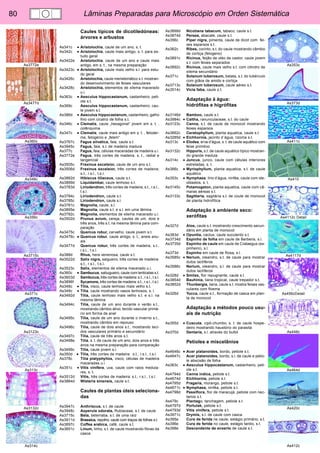 80 Lâminas Preparadas para Microscópio em Orden Sistemática 
As353c 
As373d 
As411c 
As410 
As4112c Detail 
As4117d 
As456cDetail 
As448c 
As464d 
As420c 
As412c 
As3772e 
As3477d 
As360c 
As348c 
As356c 
As3715c 
As371c 
As3123c 
As313c 
As3132c 
As314c 
Caules típicos de dicotiledóneas: 
árvores e arbustos 
As341c • Aristolochia, caule de um ano, s. t. 
As342c • Aristolochia, caule mais antigo, s. t. para es-tudo 
geral 
As3422e Aristolochia, caule de um ano e caule mais 
antigo, em s. t., na mesma preparação 
As3423c • Aristolochia, caule mais velho s.l. para estu-do 
geral 
As3426c Aristolochia, caule meristemático s.t. mostran-do 
desenvolvimento de feixes vasculares 
As3428c Aristolochia, elementos de xilema macerado 
u.i. 
As363c • Aesculus hippocastanum, castanheiro, peti-ole 
s.t. 
As369c Aesculus hippocastanum, castanheiro, cau-le 
jovem s.t. 
As386d • Aesculus hippocastanum, castanheiro, galho 
fino com cicatriz de folha s.t. 
As346c • Clematis, caule „hexagonal“ jovem em s. t. , 
colênquima 
As347c • Clematis, caule mais antigo em s. t. , feloder-me, 
felogénio e „felem“ 
As3767c Fagus silvatica, faia, caule s.t. 
As3945c Fagus, faia, s.t. de madeira madura 
As377c Fagus, faia, células maceradas de madeira u.i. 
As3772e Fagus, três cortes de madeira, s. t., radial e 
tangencial 
As3505c Fraxinus excelsior, caule de um ano s.t. 
As3506d Fraxinus excelsior, três cortes de madeira; 
s.t., r.s.l., t.s.l. 
As3882d Hibiscus tiliaceus, caule s.t. 
As3899d Liquidambar, caule lenhoso s.t. 
As3783d Liriodendron, três cortes de madeira; s.t., r.s.l., 
t.s.l. 
As3784c Liriodendron, caule s.t. 
As3785c Liriodendron, caule s.l. 
As3781c Magnolia, caule, s.l. 
As3895e Magnolia, caule s.t. e s.l. em uma lâmina 
As3782c Magnolia, elementos de xilema macerado u.i. 
As3502d Prunus avium, cereja, caules de um, dois e 
três anos, três s.t. na mesma lâmina para com-paração 
As3475c Quercus robur, carvalho, caule jovem s.t. 
As3476c • Quercus robur, caule antigo, s. t., aneis anu-ais 
As3477d Quercus robur, três cortes de madeira, s.t., 
r.s.l., t.s.l. 
As388d Rhus, hera venenosa, caule s.t. 
As3522d Salix nigra, salgueiro, três cortes de madeira: 
s.t., r.s.l., t.s.l. 
As3523c Salix, elementos de xilema macerado u.i. 
As360c • Sambucus, sabugueiro, caule com lenticelas s.t. 
As3603d Sambucus, três cortes de madeira: s.t., r.s.l., t.s.l. 
As3896f Sycamore, três cortes de madeira: s.t., r.s.l., t.s.l. 
As348c • Tilia, visco, caule lenhoso mais velho s.t. 
As349c • Tilia, caule mostrando vasos lenhosos, s. l. 
As3492d Tilia, caule lenhoso mais velho s.t. e s.l. na 
mesma lâmina 
As3494c Tilia, caule de um ano durante o verão s.t., 
mostrando câmbio ativo, tecido vascular primá-rio 
em forma de anel 
As3495c Tilia, caule de um ano durante o inverno s.t., 
mostrando câmbio em repouso 
As3496c Tilia, caule de dois anos s.t., mostrando teci-dos 
vasculares primário e secundário 
As3497c Tilia, caule de três anos s.t. 
As3498e Tilia, s. t. de caule de um ano, dois anos e três 
anos na mesma preparação para comparação 
As3499c Tilia, caule jovem s.l. 
As350d • Tilia, três cortes de madeira: s.t., r.s.l., t.s.l. 
As378c Tilia platyphyllos, visco, células de madeira 
maceradas u.i. 
As351c • Vitis vinifera, uva, caule com raios medula-res, 
s. t. 
As3512d Vitis, três cortes de madeira: s.t., r.s.l., t.s.l. 
As3884d Wisteria sinensis, caule s.t. 
Caules de plantas úteis seleciona-das 
As3947c Anthriscus, s.t. de caule 
As3948c Asperula odorata, Rubiaceae, s.t. de caule 
As3715c Beta, beterraba, s.t. de uma raíz 
As3911d Brassica, repolho, caule com traços de folhas s.t. 
As3897c Coffea arabica, café, caule s.t. 
As3851c Linum, linho, s.t. de caule mostrando fibras da 
casca 
As3898d Nicotiana tabacum, tabaco, caule s.t. 
As3874d Persea, abacate, caule s.t. 
As356c Piper nigra, pimenta, caule de dicot com fei-xes 
esparsos s.t. 
As362c Ribes, corinto, s.t. do caule mostrando câmbio 
de cortiça (felogeno) 
As3891c Ricinus, feijão de oléo de castor, caule jovem 
s.t. com feixes separados 
As3892c Ricinus, caule mais velho s.t. com cilindro de 
xilema secundário 
As371c Solanum tuberosum, batata, s.t. do tubérculo 
com grãos de amido e cortiça 
As3713c Solanum tuberosum, caule aéreo s.t. 
As3514c Vicia faba, caule s.t. 
Adaptação à água: 
hidrófitas e higrófitas 
As3146d Bamboo, caule s.t. 
As3984c • Caltha, ranunculaceae, s.t. do caule 
As3123c Canna, s.t. de caule de monocot mostrando 
feixes esparsos 
As3662c Ceratophyllum, planta aquatica, caule s.t. 
As3285d • Eichhornia, jacinto d´água, rizoma s.t. 
As313c • Elodea, erva d’água, s. t. de caule aquático com 
feixe primitivo 
As3132c Hippuris, s.t. de caule aquático típico mostran-do 
grande medula 
As314c • Juncus, junco, caule com células interiores 
estreladas, s. t. 
As366c • Myriophyllum, planta aquatica, s.t. de caule 
aquático 
As353c • Nymphaea, lírio d’água, ninféa, caule com ide-oblastos, 
s. t. 
As3145c Potamogeton, planta aquatica, caule com câ-maras 
aéreas s.t. 
As3133c Sagittaria, sagitária s.t. de coule de monocot 
de planta hidrofítica 
Adaptação à ambiente seco: 
xerófitas 
As327d Aloe, caule s.t. mostrando crescimento secun-dário 
em planta de monocot 
As383d • Opuntia, cactus, caule suculento s.t. 
As3734d Espinho de folha em caule de Berberis, s.l. 
As3735d Espinho de caule em caule de Crataegus (es-pinheiro), 
s.l. 
As373d Espinho em caule de Rosa, s.l. 
As3585c • Nerium, oleandro, s.t. de caule para mostrar 
dutos lactíferos 
As3586c Nerium, oleandro, s.l. de caule para mostrar 
dutos lactíferos 
As328d • Smilax, flor repugnante, caule s.t. 
As3854d Bauhinia, liana tropical, caule trepador s.t. 
As3852d Thunbergia, liana, caule s.t. mostra feixes vas-culares 
com floema 
As326d Yucca, caule s.t., formação de casca em plan-ta 
de monocot 
Adaptação a métodos pouco usu-ais 
de nutrição 
As355d • Cuscuta, cipó-chumbo, s. t. de caule hospe-deiro 
mostrando haustório do parasita 
As370d Dentaria, s.l. através do bulbil 
Petioles e miscelânios 
As4646c • Acer platanoides, bordo, petiole s.t. 
As4647c Acer platanoides, bordo, s.l. de caule e petio-le 
abscisão de folha 
As363c • Aesculus hippocastanum, castanheiro, peti-ole 
s.t. 
As4794d Canna indica, petiole s.t. 
As4674d Eichhornia, petiole s.t. 
As4795d Fragaria, morango, petiole s.t. 
As4671c • Nymphaea, ninféa, petiole s.t. 
As4798d Passiflora, flor de maracujá, petiole com nec-tarios 
s.t. 
As479c Plantago, tanchagem, petiole s.t. 
As4797d Portulak, petiole s.t. 
As4793d Vitis vinifera, petiole s.t. 
As3971c Drymis, s.t. de caule com casca 
As395e Cura de ferida ne caule, estágio primário, s.t. 
As396e Cura de ferida no caule, estágio tardio, s.t. 
As398e Descendente de enxerto de caule s.t. 
 