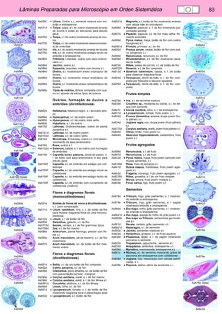Lâminas Preparadas para Microscópio em Orden Sistemática 83 
As553f 
As586d 
As614d 
As6132d 
As619d 
As6195f Detail 
As590e 
As593d 
As599d 
As606d 
As595d 
As604d 
As605d 
As631d 
As596d 
As633d 
As641d 
As642d 
As578d 
As579e 
As579e Detail 
As623d 
As555f • Lilium, Ovário s.t., semente madura com em-brião 
e endosperma 
As571d • Tulipa, tulipa, s.t. do ovário mostrando arranjo 
de óvulos e todas as estruturas para estudo 
geral 
As572d • Tulipa, s.l. do ovário mostrando arranjo de óvu-los 
As573d Tulipa, s.l. do ovário mostrando desenvolvimen-to 
de embriões 
As574d Iris, s.t. do ovário mostrando arranjo de óvulos 
As575e Iris, s.t. do ovário mostrando estágio tardio de 
embrião e endosperma 
As582d Fritillaria, Liliaceae, ovário com saco embrio-nário 
s.t. 
As584d Jacinto, ovário s.t. 
As586d Epipactis, orquídea, ovário com óvulos s.t. 
As564d Ovário, s.t. mostrandom anexo ortotrópico de 
óvulos 
As565d Ovário, s.t. mostrando anexo anatrópico de 
óvulos 
As566d Ovário, s.t. mostrando anexo campilotrópico de 
óvulos 
As568s Tipos de ovários, lâmina composta com qua-tro 
s.t. através de vários tipos de ovários 
Ovários, formação de óvulos e 
embriões (dicotiledóneas) 
As662d Helleborus, heleboro negro, s.l. de ovário atro-po 
As664d • Hyoscyamus, s.t. de ovário jovem 
As665d • Hyoscyamus, s.t. de ovário mais velho 
As663d Impatiens, s.t. de ovário 
As615d Lathraea, Orobranchaceae, ovário de planta 
parasitica s.t. 
As6151d Lathraea, s.t. de ovário jovem 
As6152d Lathraea, s.t. de ovário velho 
As614d Monotropa, Ericaceae, ovário s.t. com desen-volvimento 
de saco embrionário 
As616d Rosa, ovário s.t. 
As6132d • Solanum, batata, s. t. do ovário com formação 
de embriões 
As619d • Capsella bursa pastoris, bolsa-de-pastor, s. 
l. de óvolo com saco embrionário in situ para 
estudo geral 
As6192f Capsella, s.l. do embrião em estágio pre coti-lédones 
As6193f Capsella, s.l. do embrião em estágio inicial de 
cotilédones 
As6194f Capsella, s.l. do embrião em estágio tardio de 
cotilédones 
As6195f Capsella, s.l. do embrião com curvamento de 
cotilédones (maduro) 
Flores e diagramas florais 
(monocotiledóneas) 
As501e Botões de flores de mono e dicotiledóneas, 
s. t. para comparação 
As511d • Lilium candidum, lírio, s. t. de botão da flor 
para mostrar diagrama floral de uma monoco-tiledónea 
As512d • Lilium, s.l. de botão de flor 
As653d Galanthus, galanto, s.t. de flor 
As5778d Secale, centeio, s.t. de flor gramínea típica 
As5798d Zea, s.t. de flor macho 
As588d Anthurium, planta flamingo, pedicel com flo-res 
s.t. 
As590e Arum maculatum, pé-de-bezerro, s.l. de flor 
insectívora 
As657d Arum maculatum, s.t. de botão de flor mos-trando 
ovário 
Flores e diagramas florais 
(dicotiledóneas) 
As651d • Bellis, s.l. de um botão de flor composto 
As652d Caltha palustris, s.l. de flor 
As658d Cheirantus, goivo amarelo, s.t. de botão de flor 
com placentação parietal –marginal. 
As593d • Corylus avellana, avelã, s. l. de flor macho 
As594d • Corylus avellana, avelã, s. l. de flor fêmea s.l. 
As6551d Cucurbita, abóbora, s.t. de flor fêmea 
As654d Linum, linho, s.t. de flor 
As601d • Lycopersicum, tomate, s. t. de botão de flor 
mostrando diagrama floral e placentação axial 
As602d • Lycopersicum, s.l. botão de flor 
As6521d Magnolia, s.t. botão de flor mostrando anteras 
com célula mãe do microsporo 
As606d • Papaver, papoula, s. t. de flor mostrando pla-centação 
parietal 
As607d • Papaver, papoula, s.t. de flor mais velha, for-mando 
embriões 
As599d Pyrus malus, maça, botão de flor com ovário 
hipoginoso s.l. 
As6561d Primula, primose, s.t. de flor 
As600d Prunus avium, cereja, botão de flor com ová-rio 
periginoso s.l. 
As595d Ranunculus, ranúnculo, s.l. de flor 
As659d Rhododendron, s.t. de flor mostrando esca-las 
de botão 
As603d Ribes, passa de corinto, s.l. de botão de flor 
As6522d Senecio, s.t. de flor composta 
As613d • Solanum tuberosum, batata, s. t. de botão 
para observar diagrama floral 
As604d • Taraxacum, dente-de-leão, s. l. de flor com-posta 
por flósculos e ósculos ligulados 
As605d • Taraxacum, dente-de-leão, s. t. de flor com-posta 
Frutos simples 
As576d • Iris, s.t. de semente madura 
As639d Cruzifera sp., mostarda ou outras, s.t. de sili-qua 
com semente 
As627c • Cocos nucifera, côco, s. t. de endosperma 
As631d • Lycopersicum, tomate, fruto jovem, s. t. 
As632d Prunus domestica, ameixa, drupa jovem (fru-to 
pétreo) s.t. 
As634d Juglans regia, noz, drupa jovem (fruto pétreo) 
s.t. 
As6375d Corylus avellana, avelã, jovem fruto pétreo s.t. 
As640d Citrus, limão, fruto jovem s.t. 
As644d Aesculus hippocastanum, castanheira, fruto 
jovem s.l. 
Frutos agregados 
As596d Ranunculus, s.l. de fruto 
As597d Ranunculus, s.t. de fruto 
As633d • Pyrus malus, maçã, fruto jovem carnudo com 
muitas sementes, s.t. 
As6165d Rosa, fruto de sincarpo s.l. 
As641d Rubus idaeus, framboesa, fruto jovem agre-gado 
s.l. 
As642d Fragaria, morango, fruto jovem agregado, s.l. 
As6035d Ribes, groselha, s.l. de um fruto simples 
As643d Morus, amora, fruto jovem multiplo s.l. 
As645e Ficus carica, figo, fruto jovem s.t. 
Sementes 
As578d • Triticum, trigo, grão (semente), s. t. mostran-do 
embrião e endosperma 
As579e • Triticum, trigo, grão (semente), s. l. sagital 
mostrando embrião e endosperma 
As580d • Zea mays, milho, grão (semente), s. l. mostran-do 
embrião e endosperma 
As6641d • Zea mays, espiga de milho de grão jovem s.t. 
As5809e Zea mays ou Triticum, sememtnes germinati-vas 
s.l. 
As581d Secale, centeio, grão (semente) s.t. 
As6621d Asparagus, s.t. de semente 
As585d • Jacinto, sementes maduras s.t. 
As623d • Helianthus, girassol, s.t. de fruto aquênio 
As638d • Phaseolus, feijão, s. t. de vagem mostrando 
pericarpo e semente 
As622d Tropaeolum, capuchinha,. semente s.t. 
As635d Amygdalus, amêndoa, endosperma s.t. 
As636d Myristica, nosmoscada, endosperma s.t. 
As661c • Ricinus, s.t. de semente mostrando grãos de 
aleuroma em endosperma com cotilédones 
As628d • Juglans, nóz, mesocarpo com células petrifi-cadas, 
s. t. 
As629b • Populus, álamo, pêlos de sementes u.i. 
 