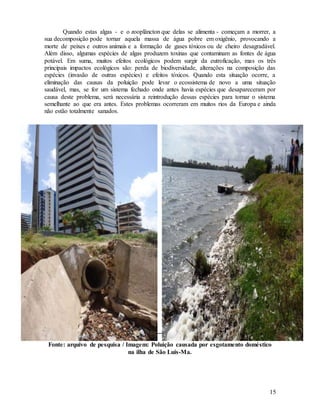 15
Quando estas algas - e o zooplâncton que delas se alimenta - começam a morrer, a
sua decomposição pode tornar aquela massa de água pobre em oxigênio, provocando a
morte de peixes e outros animais e a formação de gases tóxicos ou de cheiro desagradável.
Além disso, algumas espécies de algas produzem toxinas que contaminam as fontes de água
potável. Em suma, muitos efeitos ecológicos podem surgir da eutroficação, mas os três
principais impactos ecológicos são: perda de biodiversidade, alterações na composição das
espécies (invasão de outras espécies) e efeitos tóxicos. Quando esta situação ocorre, a
eliminação das causas da poluição pode levar o ecossistema de novo a uma situação
saudável, mas, se for um sistema fechado onde antes havia espécies que desapareceram por
causa deste problema, será necessária a reintrodução dessas espécies para tornar o sistema
semelhante ao que era antes. Estes problemas ocorreram em muitos rios da Europa e ainda
não estão totalmente sanados.
Fonte: arquivo de pesquisa / Imagem: Poluição causada por esgotamento doméstico
na ilha de São Luis-Ma.
 