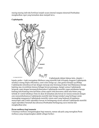 Artikel fhylum mollusca | DOCX