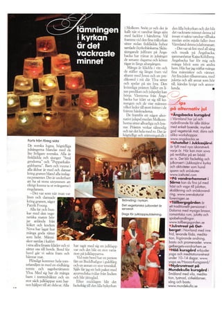 Ängsbacka Jul Artikel